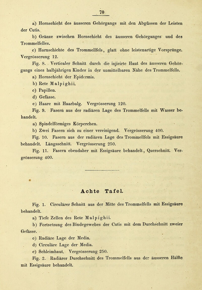 a) Hornschicht des äusseren Gehörgangs mit den Abgüssen der Leisten der Cutis. b) Gränze zwischen Hornschicht des äusseren Gehörganges' und des Trommelfelles. c) Hornschichte des Trommellfels, glatt ohne leistenartige Vorsprünge. Vergrösserung 12. Fig. 8. Verticaler Schnitt durch die injicirte Haut des äusseren Gehör- gangs eines halbjährigen Kindes ia der unmittelbaren Nähe des Trommelfells. a) Hornschicht der Epidermis. b) Rete Malpighii. c) Papillen. d) Gefässe. e) Haare mit Haarbalg. Vergrösserung 120. Fig. 9. Fasern aus der radiären Lage des Trommelfells mit Wasser be- handelt. a) Spindelförmiges Körperchen. - b) Zwei Fasern sich zu einer vereinigend. Vergrösserung 400. Fig. 10. Fasern aus der radiären Lage des Trommellfels mit Essigsäure behandelt. Längsschnitt. Vergrösserung 250. Fig. 11. Fasern ebendaher mit Essigsäure behandelt, Querschnitt. Ver- grösserung 400. Achte Tafel. Fig. 1. Circulärer Schnitt aus der Mitte des Trommelfells mit Essigsäure behandelt. a) Tiefe Zellen des Rete Malpighii. b) Fortsetzung des Bindegewebes der Cutis mit dem Durchschnitt zweier Gefässe. ■ ' • c) Radiäre Lage der Media. d) Circuläre Lage der Media. e) Schleimhaut. Vergrösserung 250. Fig. 2. Radiärer Durchschnitt des Trommelfells aus der äusseren Hälfte mit Essigsäure behandelt.