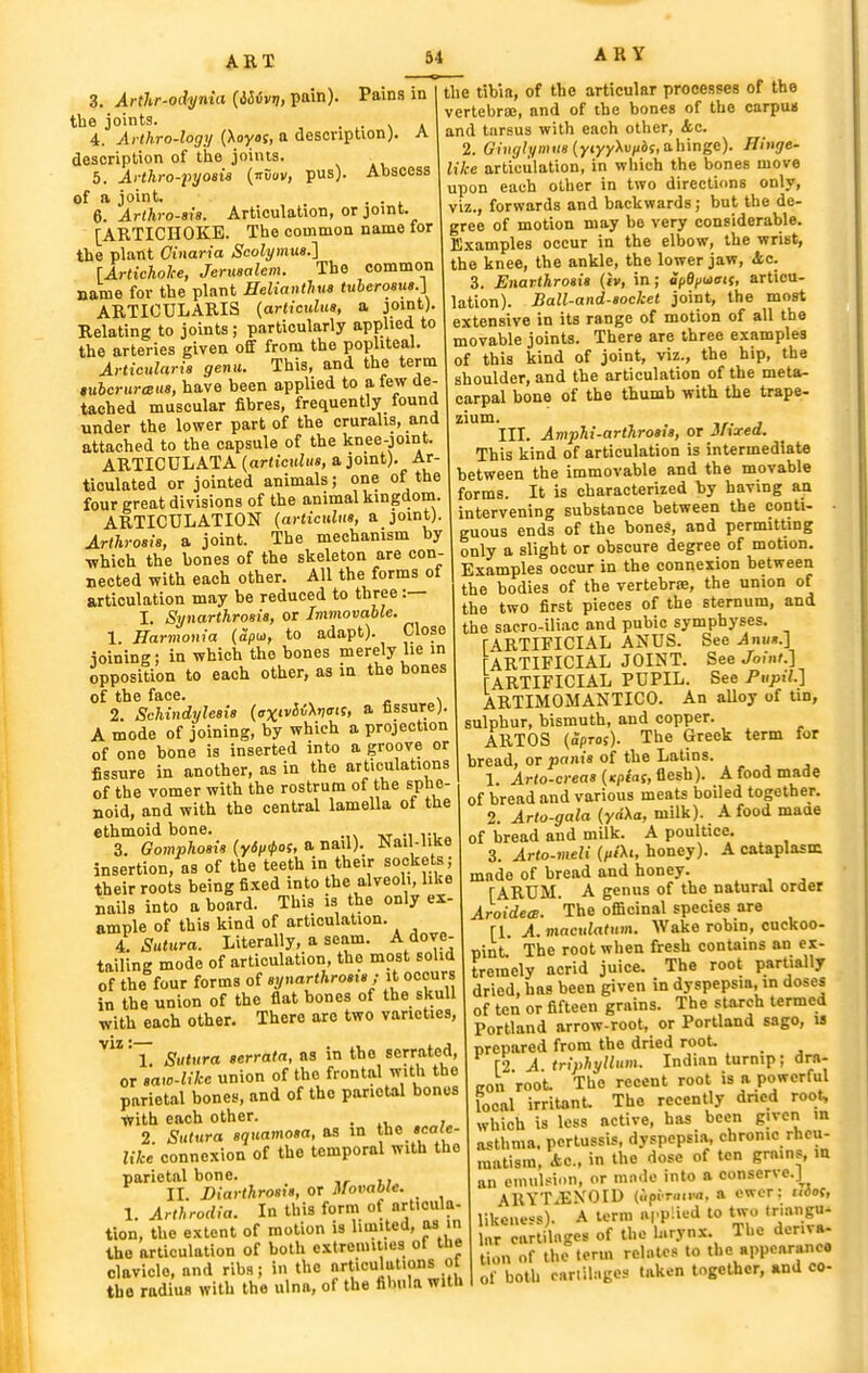 ART 3. X»•^7t^-oc^ym•a (ai(iv)7,pain). Pains in the joints. . \ a 4. Arthro-logy (Xoyaf, a description). A description of the joints. 5. Arthro-2>yosis {nvav, pus). Abacess of a joint. . . 6. Arthrosis. Articulation, or joint. [ARTICHOKE. The common name for the plant Oinaria Scolymus.] \Articholce, Jermalem. The common name for the plant Helianthua tuberosue.] ARTICULARIS {articulua, a joint). Relating to joints ; particularly applied to the arteries given off from the popliteal. Articidaria genu. This, and the term luhcrurceiia, have been applied to a few de- tached muscular fibres, frequently found under the lower part of the cruralia, and attached to the capsule of the knee-joint. ARTICULATA {articulua, a joint). Ar- ticulated or jointed animals; one of the four great divisions of the animal kingdom. ARTICULATION {articulua, a joint). Arthrosis, a joint. The mechanism by ■which the bones of the skeleton are con- nected with each other. All the forms of articulation may be reduced to three :— 1. Synarthrosis, or Immovable. 1. Harmouia {apu>, to adapt). Close ioining; in which the bones merely he in Opposition to each other, as in the bones of the face. > 2. Schindylesia {ax'v&i'y'''^' * fissure). A mode of joining, by which a projection of one bone is inserted into a groove or fissure in another, as in the articulations of the vomer with the rostrum of the sphe- noid, and with the central lamella of the ethmoid bone. . 3. Gomphosis {Y6i)<t>os,a.na.\\). Nail-like insertion, as of the teeth in their sockets; their roots being fixed into the alveoli, like nails into a board. This is the only ex- ample of this kind of articulation. 4. Sutura. Literally, a seam. A dove- tailing mode of articulation, the most solid of the four forms of synarthrosis ■ it occurs in the union of the flat bones of the skull with each other. There are two varieties, 'Y Sutura serrata, as in the serrated, or saw-likc union of the frontal with the parietal bones, and of the parietal bones ■with each other. . 2. Sutura squamosa, as in tli^ *^/* like connexion of the temporal with the parietal bone. II. Biarthrosis, or Movable. 1. Arthrodia. In this form ot articula tion, the extent of motion is limited, as in the articulation of both extremities of the clavicle, and ribs; in the nrticulations of the radius with the ulna, of the fibula with the tibia, of the articular processes of the vertebrae, and of the bones of the carpuii and tarsus with each other, <kc. 2. Giii^/vmiis (yiyyXu/ids.ahinge). Hinge- like articulation, in which the bones move upon each other in two directions only, viz., forwards and backwards; but the de- gree of motion may be very considerable. Examples occur in the elbow, the wrist, the knee, the ankle, the lower jaw, Ac. 3. Enarthroais {iv, in; apfl/juxrij. articu- lation). Ball-and-socket joint, the most extensive in its range of motion of all the movable joints. There are three examples of this kind of joint, viz., the hip, the shoulder, and the articulation of the meta,- carpal bone of the thumb with the trape- zium. III. Amphi-arthrosis, or Jhred. This kind of articulation is intermediate between the immovable and the movable forms. It is characterized by having an intervening substance between the conti- ■ guous ends of the bones, and permitting only a slight or obscure degree of motion. Examples occur in the connexion between the bodies of the vertebrse, the union of the two first pieces of the sternum, and the sacro-iliac and pubic symphyses. ARTIFICIAL ANUS. See Jn«».] ARTIFICIAL JOINT. See Jo.nf.] 'ARTIFICIAL PUPIL. See Pupil.] ARTIMOMANTICO. An aUoy of tin, sulphur, bismuth, and copper. ARTOS {Sprof). The Greek term for bread, or pania of the Latins. 1. Arto-creaa {Kptas,iesh). A food made of bread and various meats boiled together. 2. Arto-gala (yrfXa, milk). A food maae of bread and milk. A poultice. 3. Arto-meli {iiiXt, honey). A caUplasin made of bread and honey. [ARUM. A genus of the natural order Aroidete. The officinal species are [1. A. macidatum. Wake robin, cuckoo- pint' The root when fresh contains an ex- tremely acrid juice. The root partially dried, has been given in dyspepsia, in doses of ten or fifteen grains. The starch termed Portland arrow-root, or Portland sago, is prepared from the dried root. [2 A triphyllum. Indian turnip; dra- con root. The recent root is a powerful local irritonU The recently dned root, which is less active, has been given in asthma, pertussis, dyspepsia, chronic rheu- matism, Ac, in the dose of ten grains, in an emulsion, or made into a conserve.] ARYTiENOID (ipirona, a ewer: u6o<, likeness). A term applied to two triangu- „r cartilages of the h.rynx. The denva- tion of the term relates to the appearance of both cariilagcs taken together, and co-
