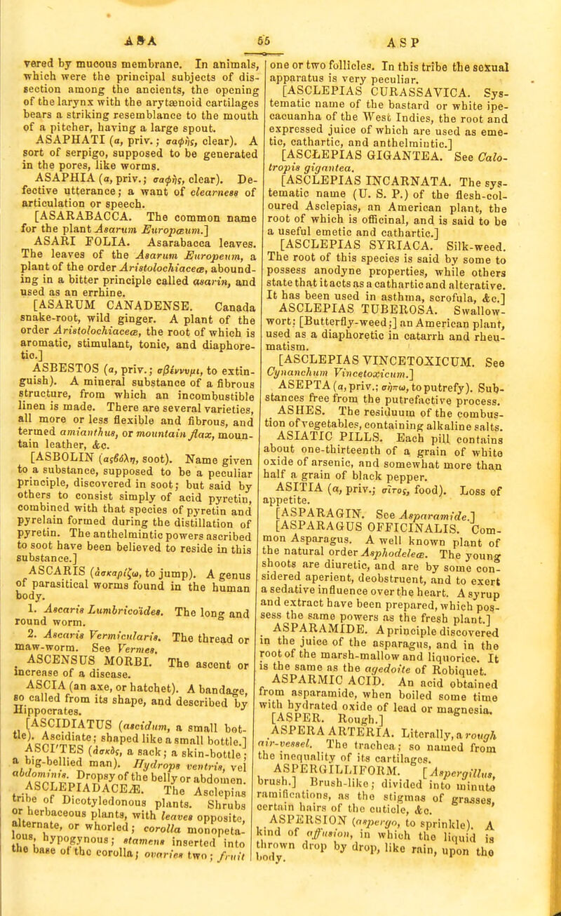vered by mucous membrane. In animals, which were the principal subjects of dis- section among the ancients, the opening of the larynx with the arytasnoid cartilages bears a striking resemblance to the mouth of a pitcher, having a large spout. ASAPHATI (a, priv.; (ra0i|j, clear). A sort of serpigo, supposed to be generated in the pores, like worms. ASAPHIA (a, priv.; cra^ijf, clear). De fective utterance; a want of clearness of articulation or speech. [ASARABACCA. The common name for the plant j4«ar«m EuropcBum.'^ . ASARI FOLIA. Asarabacca leaves. The leaves of the Asarum JEuropeum, a plant of the order An'stolochiacecB, abound- ing in a bitter principle called aaaiitt, and used as an errhine. [ASARUM CANADENSE. Canada snake-root, wild ginger. A plant of the order Aristolochiacea, the root of which is aromatic, stimulant, tonio, and diaphore- tic] ASBESTOS (a, priv.; afJivvviii, to extin- guish). A mineral substance of a fibrous structure, from which an incombustible linen is made. There are several varieties, all more or less flexible and fibrous, and termed amianthus, or moxintain flax, moun- tain leather, <fec. [ASBOLIN {ai66\r,, soot). Name given to a substance, supposed to be a peculiar principle, discovered in soot; but said by others to consist simply of acid pyretin, combined with that species of pyretin and pyrelain formed during the distillation of pyretin. The anthelmintic powers ascribed to soot have been believed to reside in this substance.] ASCARIS (ioKapi^u, to jump). A genus of parasitical worms found in the human body. 1. Ascaris Lumhricoldes. The lono' and round worm. ° 2. Ascaris Vermicnfaris. The thread or maw-worm. See Vermes. , ASCBNSUS MORBI. The ascent or increase of a disease. ASCIA (an axe, or hatchet). A bandage, 80 called from its shape, and described bv Hippocrates. [ASCIDIATUS (ascidum, a small bot- Acn^frt^Tio'®'' ^''Ped like a small bottle.] - t C r,. ('^<''>f, a sack; a skin-bottle: a big-belhed man). Hydrops venlris, vol  A«m^-n?:?P'y '■^'^^ abdomen. tribe of Dicotyledonous plants. Shrubs or herbaceous plants, with leaves opposite, alternate, or whorled; corolla monopeta- lous, hypogynous; stamens inserted into the base ol the corolla; ovaries two; /,„,V one or two follicles. In this tribe the sesual apparatus is very peculiar. [ASCLEPIAS CURASSAVICA. Sys- tematic name of the bastard or white ipe- cacuanha of the West Indies, the root and expressed juice of which are used as eme- tic, cathartic, and anthelmintic] [ASCLEPIAS GIGANTEA. See Calo- tropis gignntea. [ASCLEPIAS INCARNATA. The sys- tematic name (U. S. P.) of the flesh-col- oured Asclepias, an American plant, the root of which is oflicinal, and is said to be a useful emetic and cathartic] [ASCLEPIAS SYRIACA. Silk-weed. The root of this species is said by some to possess anodyne properties, while others state that it acts as a cathartic and alterative. It has been used in asthma, scrofula, Ac] ASCLEPIAS TUBEROSA. Swallow- wort: [Butterfly-weed;] an American plant, used as a diaphoretic in catarrh and rheu- matism. [ASCLEPIAS VINCETOXICUM. See Cynanchnm Vincetoxicnm.] ASEPTA(a,priv.; a^jru, to putrefy). Sub- stances free from the putrefoctive process. ASHES. The residuum of the combus- tion of vegetables, containing alkaline salts ASIATIC PILLS. Each pill contains about one-thirteenth of a grain of white oxide of arsenic, and somewhat more than half a grain of black pepper. ASITIA (a, priv.; a^ros, food). Loss of appetite. [ASPARAGIN. See Asparamide.l [ASPARAGUS OFFICINALIS. Com- mon Asparagus. A well known plant of the natural order ^«/)/torfe/e(E. The young shoots are diuretic, and are by some con- sidered aperient, deobstruent, and to exert a sedative influence over the heart. A syrup and extract have been prepared, which pos- sess the same powers as the fresh plant.] ASPARAMIDB. A principle discovered in the juice of the asparagus, and in the root of the marsh-mallow and liquorice. It is the same as the agedoile of Robiquet ASPARMIC ACID. An acid obtained from asparamide, when boiled some time with hydrated oxide of lead or magnesia. [ASPER. Rough.] ^ ASPERA ARTERIA. Literally, a rough atr-vessel. The trachea; so named from the inequality of its cartilages. ASPEmULI.IFORM. [ .l.;,^.;;^,,,, brush.] Brush-like; divided into minuto ramifications, as the stigtna« of grasses certain hairs of the cuticle, Ac. ' ASPERSION {nspcrgo, to sprinkle). A kind of ajnsion, in which the liquid is thrown drop by drop, like rain, upon the