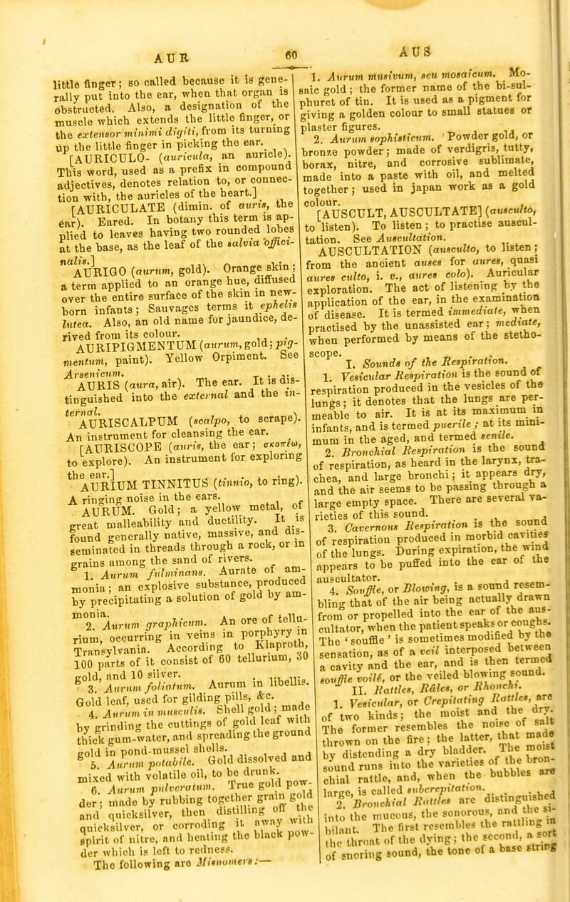 ($0 AUS little linger; so called because it is gene- rally put into the ear, when that organ is Obstructed. Also, a designation of the muscle which extends the little finger, or the extensor minimi digiti, from its turning up the little finger in picking the ear. rAUEICULO- [auricula, an auricle). This word, used as a prefix in compound adjectives, denotes relation to, or connec- tion with, the auricles of the heart.J rAURICULATE (dimin. of auris, the ear). Bared. In botany this term is ap- plied to leaves having two rounded lobes at the base, as the leaf of the salvia offici- aURIGO {aurum, gold). Orange skin; a term applied to an orange hue, diffused over the entire surface of the skin in new- born infants; Sauvagcs terms it ephehs lutea. Also, an old name for jaundice, de- rived from its colour. AUEIPIGMENTUM (atirum,gold;jpij- mentum, paint). Yellow Orpiment. See AURIS {aura, air). The ear. It is dis- tinguished into the external and the w- AURISCALPUM (acalpo, to scrape). An instrument for cleansing the ear. rAURISCOPE (anm, the ear; cico^m, to explore). An instrument for exploring AURIUM TINNITUS {tinnio, to ring). A ringing noise in the ears. AURUM. Gold; a yellow metal, of ereat malleability and ductility. It is found generally native, massive, and dis- seminated in threads through a rock, or m grains among the sand of rivers. 1 Aurum fidminana. Aurate of am- monia; an explosive ^bstanee produced by precipitating a solution of gold by am- ^T\urnm graphicum. An ore of tellu- rhim occurring in veins in porphyry n 'CnsyCia. ' According to Klaproth 100 parts of it consist of 60 tellurium, 30 cold, and 10 silver. . . ,,. ^ .3 Aurum foUotum. Aurum in libellis. Gold leaf, used for gilding pills, &e. 4. Aurum in muacdia. Shell go d ; made by grinding the cuttings of gold leaf with thii gum-water, and spreading the ground trold in pond-mussel shells. , , , ^ 6 ILm potabile. Gold dissolved and mixed with volatile oil, to bo drunk. T Aurum puheratum. True gold pow- der ; made by rubbing together gr' 6'^ and c,uicksilver, then distilling ofl the quicksilver, or corroding it nwn) ^uUi spirit of nitre, and healing the black po»- Uor which is loft to redness. The following are Minnumers:— 1. Aurum mnaivum, eeu motaicum. Mo- saic gold; the former name of the bi-sul- phuret of tin. It is used as a pigment for giving a golden colour to small stetues or plaster figures. 2. Aurum aophieticum. ' Powder gold, or bronxe powder; made of verdigris, tutty, borax, nitre, and corrosive sublimate, made into a paste with oil, and melted together; used in japan work as a gold [AUSCULT, AUSCULTATE] {autcuUo, to listen). To listen ; to practise auscul- tation. See Autcultation. AUSCULTATION {ausculto, to listen ; from the ancient ausea for auree, quasi auree culto, i. e., aurea colo). Auricular ; exploration. The act of listening by the , application of the ear, in the examinatiott of disease. It is termed immediate, when practised by the unassisted ear; medtate, when performed by means of the stetho- scope. , „ ... I. ,S'oi<nrf» of the Beapiratwn. 1 Veaicular Reapiration is the sound of respiration produced in the vesicles of the lungs; it denotes that the lungs are per- meable to air. It is at its maximum in infants, and is termed puerile ; at its mini- mum in the aged, and termed aenxle. 2 Bronchial Reapiration is the sound of respiration, as heard in the larynx, tra- chea, and large bronchi; it appears dry, and the air seems to be passing through a large empty space. There are several va- rieties of this sound. _ 3. Cavernoua Reapiration is the sound of respiration produced in morbid cavities of the lungs. During expiration, the wind appears to be puffed into the ear of the auscultator. . , . 4. Souffle, or Blowing, is a sound resem- bling that of the air being actually drawn from or propelled into the ear of the aus- cultator, when the Pntient speaks or cough^ The 'souffle ' is sometimes modified by tno sensation, as of a veil interposed between a cavity and the ear, and is then termed aouffle voiK, or the veiled blowing sound. II. Rattka, RUlea, or Rhoncht. 1. Vesicular, or Crepitating ^''^''^J^ of two kinds; the moist and «he ry. The former resembles the no.se of salt thrown on the fire ; the latter, that made by distending a dry bladder. T>J^«^ f;? sound runs into the varieties of chial rattle, and, when the bubbles art large, is called aubcrepttatton. 2 Bronchial Rattlea are <i>^/«'f into the mucous, the sonorous, and the si- anu The first resembles the ratthng m c throat of the dying: the second, ..sort o snoring sound, the tone of a base stnng