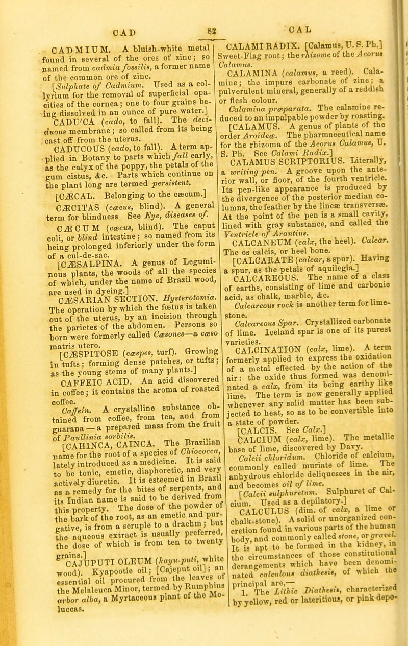 CADMIUM. A bluish-white motal found in several of the ores of zinc; so named from cadmia /ossilia, a former name of the common ore of zinc. [Sulphate of Cadmium. Used as a col- lyrium for the removal of superficial opa- cities of the cornea; one to four grains be- ins dissolved in an ounce of pure water.] CADU'CA (cado, to fall). The rfecJ- duoiis membrane ; so called from its being cast off from the uterus. CADUCOUS {cado, to fall). A term ap- plied in Botany to parts which/aii early, as the calyx of the poppy, the petals of the gum cistus, &c. Parts which continue on the plant long are termed persistent. [CSICAL. Belonging to the csecum.] C^CITAS (ccBcus, blind). A general term for blindness See Eye, diseases of. CaiCUM (c<Ec««, blind). The caput coli, or blind intestine; so named from its being prolonged inferiorly under the form of a cul-de-sac. rCiESALPINA. A genus of Legumi- nous plants, the woods of all the species of which, under the name of Brazil wood, are used in dyeing.] CiESABIAN SECTION. Hysterotomy. The operation by which the foetus is taken out of the uterus, by an incision through the parietes of the abdomen. Persons so born were formerly called Casones—a. c<bso naatris utero. [CiESPITOSE {cmspes, turf). Growing in tufts; forming dense patches, or tufts ; as the young stems of many plants.] CAFFEIC ACID. An acid disoovered in coffee; it contains the aroma of roasted coffee. , ^ , Caffein. A crystalline substance ob- tained from coffee, from tea, and from guarana —a prepared mass from the fruit of Paullinia sorbilii. rCAHINCA, CAINCA. The Brazilian name for the root of a species of Chococca, lately introduced as a medicine. It is said to be tonic, emetic, diaphoretic, and very actively diuretic. It is esteemed in Brazil as a remedy for the bites of serpent^s, and its Indian name is said to be derived from this property. The dose of the powder of the bark of the root, as an emetic and pur- eative, is from a scruple to a drachm; but the aqueous extract is usually Prefemd, the dose of which is from ten to twenty ^^CAJUPUTI OLEUM (/•ayK-;)'^ white wood). Kynpootie oil; [Cnjeput oil] ; an rsential oil procured from the leaves of the Melaleuca Minor, termed by R^F'P'';^ avhor alba, a Myrtocoous plant of the Mo- luccas. CALAMI RADIX. fCalamus, U. S. Ph.] Sweet-Flag root; the rhizome of the Acorits Calamus. CALAMINA {calamus, a reed). Cala- mine; the impure carbonate of zinc; a pulverulent mineral, generally of a reddish or flesh colour. Culamina praiparata. The calamine re- duced to an impalpable powder by roasting. [CALAMUS. A genus of plants of the order Aroidece. The pharmaceutical name for the rhizoma of the Acorus Calamus, U. S. Ph. See Calami liadix.l CALAMUS SCRIPTORIUS. Literally, a writing pen. A groove upon the ante- rior wall, or floor, of the fourth ventricle. Its pen-liko appearance is produced by the divergence of the posterior median co- lumns, the feather by the linese transversae. At the point of the pen is a small cavity, lined with gray substance, and called the Ventricle of Arantius. CALCANEUM {calx, the heel). CaUar. The OS calcis, or heel bone. [CALCARATE (en/car, a spur). Having a spur, as the petals of aquilegia.] CALCAREOUS. The name of a class of earths, consisting of lime and carbonic acid, as chalk, marble, <fec. Calcareous rock is another term for lime- stone. Calcareous Spar. Crystallized carbonate of lime. Iceland spar is one of its purest varieties. CALCINATION {calx, lime). A term formerly applied to express the oxidation of a metal effected by the action of the air: the oxide thus formed was denomi- nated a calx, from its being earthy ike lime. The term is now generally applied whenever any solid matter has been sub- jected to heat, so as to be convertible into a state of powder. [CALCIS. See Calx.] CALCIUM {calx, lime). The metalhc base of lime, discovered by Davy. _ Calcii chloridum. Chloride of calcium, commonly called muriate of lime. The anhydrous chloride deliquesces in the air, and becomes ot7 of lime. . , p„, [Calcii stdphuretum. Sulphuret of Cal- cium. Used as a depilatory.] CALCULUS (dim. of calx, a lime or chalk-stone). A solid or unorganized con- cretion found in various parts of the human bodv. and commonly called stone, or gravel. It is apt to be formed in the kidney, in the circumstances of those constitutional derangements which have l>cen d^^'^ nated c«?c«/oi<» diathesis, of which the ^l* The It'l/iic Diathesis, characterized I by yellow, red or latcritious, or pmk depo-