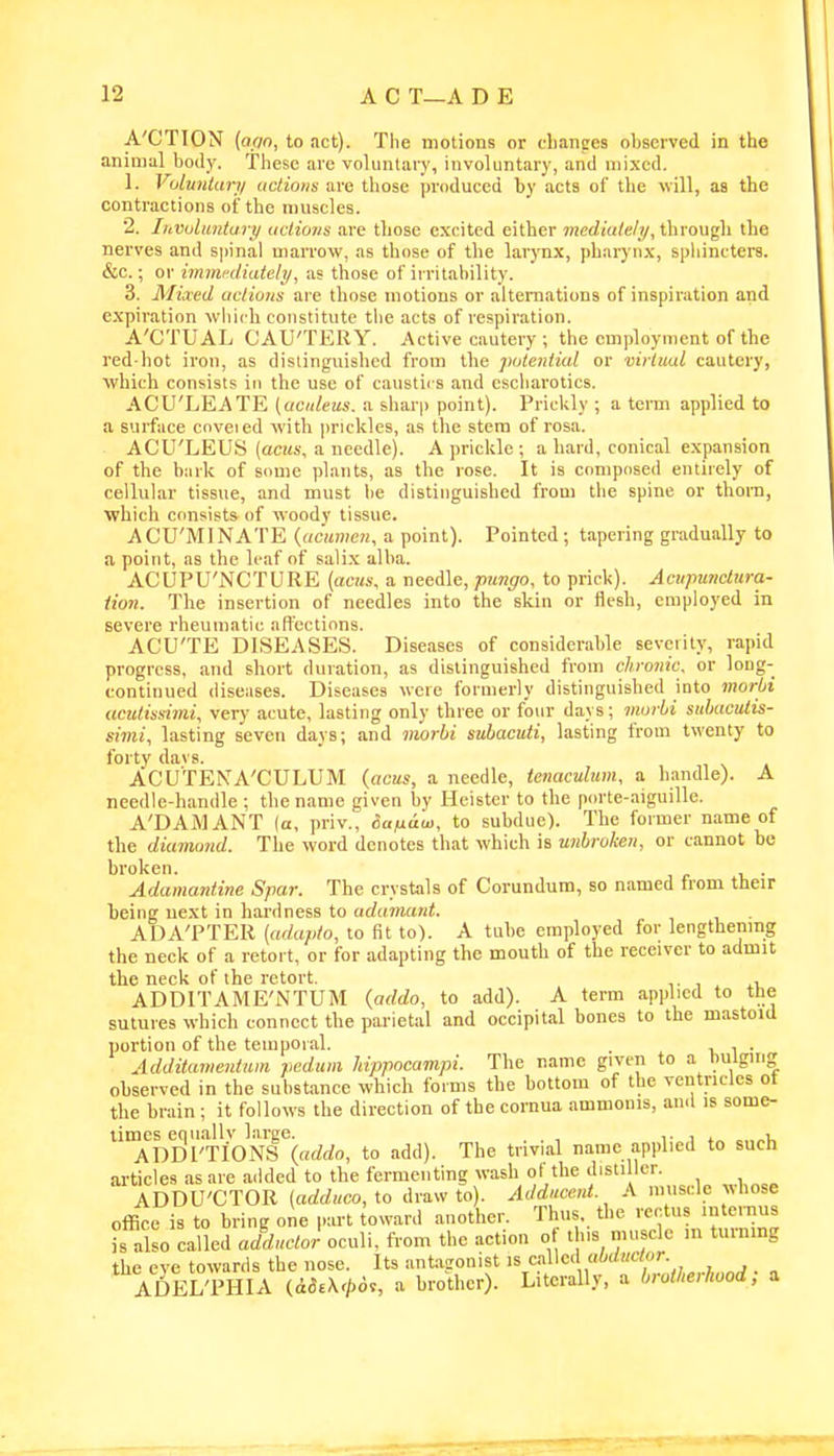 A'CTION {orm, to act). The motions or cliances observed in the animal body. These are voluntary, involuntary, and mixed. 1. Vulunlary uctiotis are those produced by acts of the will, as the contractions of the muscles. 2. Invulanturji udiovs are those excited either medialely, througli the nerves and spiiial marrow, as those of the larynx, phaiynx, sphincters. &c.; or immediately, as those of irritability. 3. Mixed actions are those motions or alternations of inspiration and expiration which constitute the acts of respiration. A'CTUAL CAU'TERY. Active cautery ; the employment of the red-hot iron, as distinguished from the potential or virtual cautery, which consists in the use of caustics and escliarotics. ACU'LEATE (acideus. a 6har|) point). Prickly ; a term applied to a surface cnveied with priclclcs, as the stem of rosa. ACU'LEUS (aciis, a needle). Apriclilc; a hard, conical expansion of the b;irk of some plants, as the rose. It is composed entirely of cellular tissue, and must lie distinguished from the spine or thorn, which consists of woody tissue. ACU'MINATE {acumen, a point). Pointed; tapering gradually to a point, as the leaf of sali.\ alba. ACUPU'NCTURE (acus, a needle, pnngo, to prick). Aciipmictura- tioit. The insertion of needles into the skin or flesh, employed in severe rheumatic affections. ACU'TE DISEASES. Diseases of considerable severity, rapid progress, and short duration, as distinguished from chronic, or long- continued diseases. Diseases were formerly distinguished into morbi ucutissimi, very acute, lasting only three or four days; morii sukwulis- simi, lasting seven days; and morbi suhacuti, lasting from twenty to forty davs. ACU'TENA'CULUM {acus, a needle, tenaculum, a handle). A needle-handle ; the name given by Heister to the porte-aiguille. A'DAMANT [a, priv., oufiaui, to subdue). The former name of the diamond. The word denotes that which is unbroken, or cannot be broken. Adamantine Spar. The crystals of Corundum, so named from their being uext in hardness to adamant. ADA'PTER (adapto, to fit to). A tube employed for lengthemng the neck of a retort, or for adapting the mouth of the receiver to admit the neck of the retort. , ■ , ^ iu ADDITAME'NTUM {addo, to add). A term applied to the sutures which connect the parietal and occipital bones to the mastoid portion of the temporal. . i i • Additamentum pedum hippocampi. The name given to a bulging observed in the substance which forms the bottom of the veiitncles ot the brain ; it follows the direction of the cornua ammonis, and is some- times equallv large. . 1- 1 t„ „„„v, ADDI'TIONS (addo, to add). The trivial name applied to such articles as are added to the fermenting wash ot the disti Icr. ADDU'CTOR (adduco, to draw to). Addua-ui A muscle whose office is to bring one part toward another. Thus, the rectus intenius Talso called adductor oculi. from the action o this muscle in turnmg the eve towards the nose. Its antagonist is cMcd abductor. ADEL'PHIA (aS^\'l>d,, a brother). Literally, a brotherhood; a
