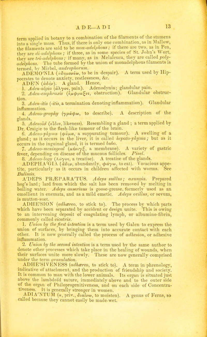 term applied in botany to a combination of the filaments of llie stamens into a single mass. Thus, if there is only one comliination, as in Mallow, the filaments are said to be mmi-adel/ihotts ; if there are two. as in Pea, they are di adelphous ; if three, as in some species of St. John's Wort, they are in-tt(Mph'>us: if many, as in Melaleuca, they are called polj/- ude'lphoits. Tlie tube formed by the union of monadelphous filaments is termed, hy Mivbel, aridrophorum. ADEAiO'NIA (,id<moutu>, to be in despair). A term used by Hip- pocrates to denote an.\iety, restlessness, &c. ADE'N (udiii/). A gland. Hence, 1. Aden-al(/ia {dXyoi, pain). Adenod)Tiia; glandular pain. 2. Aden-eiuphrad-is {itx<t>!>u^i^, obstruction). Glandular ohstrac- tion. 3. Aden-itis {-His, a. termination denoting inflammation). Glandular inflammation. 4. Adeno-graphy (ypatfiui, to describe). A description of the glands. 5. yl rfp«oV(/(eIoos, likeness). Resembling a gland ; a term applied by Dr. Craigie to the flesh-like tumour of the brain. 6. Adeno-phytna (<)>ufxa, a suppurating tumour). A swelling of a gland; as it occurs in the liver, it is called hepato-phjma; but as it occurs in the inguinal gland, it is termed bidm. 7. Adeno-nwintif/cal (juiii/iyf, a membrane). A variety of gastric fever, depending on disease of the mucous follicles. Pitiel. 8. Ad.eiio-l(i<i!i (Aiiyo?, a treatise). A treatise of the glands. ADEPHA'GIA {&&nv, abundantly, (pdyw, to eat). Voracious appe- tite, particularly as it occurs in children aflx;cted with woiins. See Bulimia. A'DEPS PR/EPARA'TUS. Adeps suilhis; aximaia. Prepared hog's lard; lard from which the salt has been removed by melting in boiling water. Adeps anserinus is goose-grease, formerly used as an emollient in enemata, and as a mild emetic. Adeps ovillus, or sevum, is mutton-suet. ADHE'SION (adhcereo, to stick to). The process by which parts which have been separated hy accident or design unite. This is owing to an intervening deposit of coagulating lymph, or albumino-fibrin, commonly called cicatrix. 1. Uinim hji the first irdention is a tei-m used by Galen to express the union of surfaces, by bringing them into accurate contact with each other. It is now generally called the process of adhesion, or adhesive inflammation. 2. Union liy the second infeyition is a term used by the same author to denote other processes which take place in the healing of wounds, when their surfaces unite more slowly. These are now generally comprised imder the term i/rcmulation. ADHE'SIVENESS (adhcBreo, to stick to). A term in phrenology, indicative of attachment, and the production of friendship and society. It is common to m.an with the lower animals. Its organ is situated just above the lambdoid suture, immediately above .md to the outer side of the organ of Pliiloprogenitiveness, and on each side of Concentra- tiveness. It is generally stronger in women. ADIA'NTUM (a, priv., diaivm, to moisten). A genus of Ferns, so called because they cannot easily be made wet.