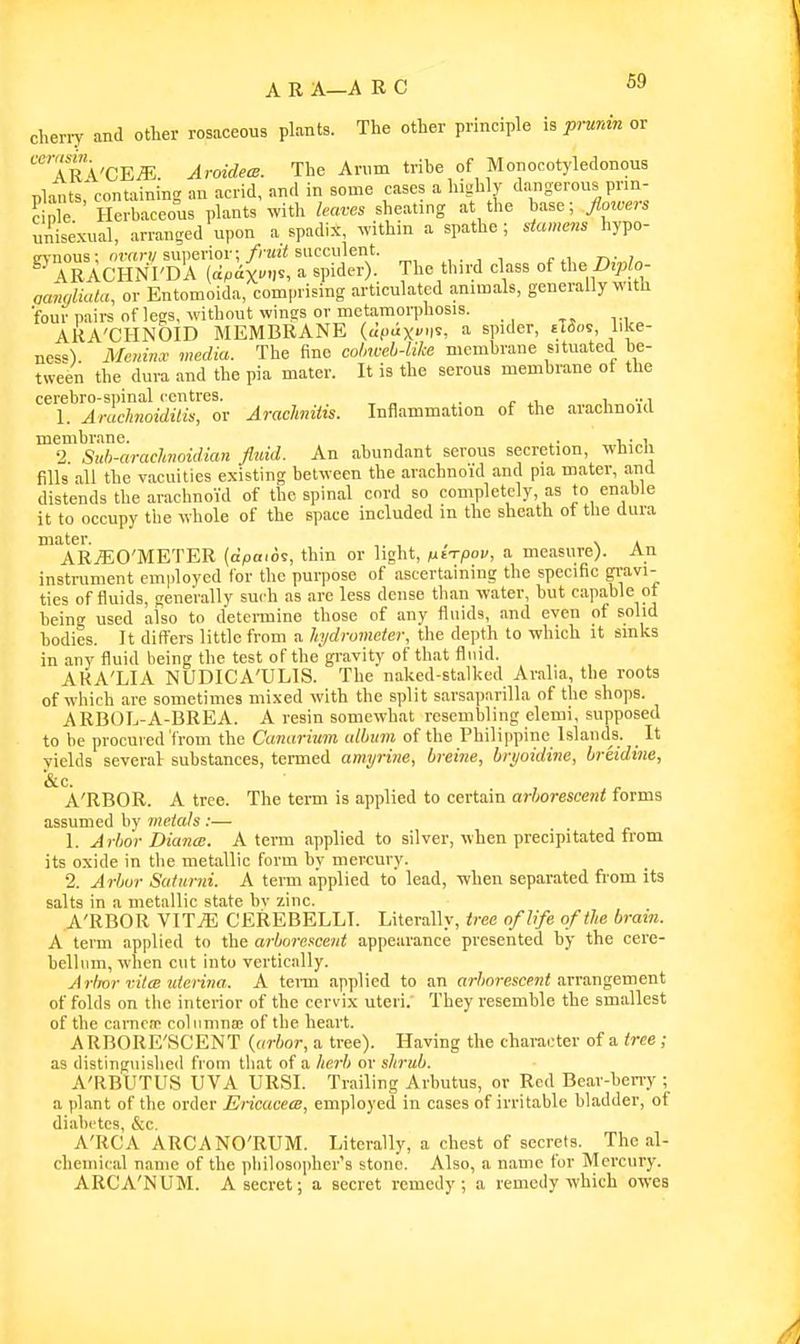 cheny and other rosaceous plants. The other principle is prunin or ar\'CE^. AroidecB. The Anim tribe of Monocotyledonous slants*containing an acrid, and in some cases a highly dangerous prm- ciole ' Herbaceous plants with leaves sheating at the base; Jimvers unisexual, arranged upon a spadix, .vithin a spathe ; stamem hypo- in-nous: ornr!/superior;succulent. ,. , , , ^, t^. , ^ ARACHNI'DA (a.ax-)'. ^ «pWer)- The third class of the Dtplo- oandiata, or Entomoida, comprising articulated animals, generally with ■four pairs oflegs, without wings or metamonAosis. ARA'CHNOID MEMBRANE (afiax')?, a spider, Mo^, like- ness') Meiiinx media. The fine cohweL-like membrane situated be- tween the dura and the pia mater. It is the serous membrane of the cerebro-spinal centres. . i •• i 1. Arachnoiditis, or ArachnHis. Inflammation of the arachnoid membrane. .. , • > 2 Suh-arachnoidian fluid. An abundant serous secretion, whicli fills all the vacuities existing between the arachnoid and pia mater, a.nd distends the arachnoid of the spinal cord so completely, as to enable it to occupy the whole of the space included m the sheath ot tlie dura ARjEO'METER (dpaios, thin or light, /uaVpov, a measure). An instrument employed for the purpose of ascertaining the specific gravi- ties of fluids, generally such as are less dense than water, but capable ot being used also to detennine those of any fluids, and even of solid bodies. It difl'ers little from a hydrometer, tlie depth to which it emks in any fluid being the test of the gravity of that fluid. AKA'LIA NUDICA'ULIS. The naked-stalked Aralia, the roots of which are sometimes mixed with the split sarsaparilla of the shops. ARBOL-A-BREA. A resin somewhat resembling elemi, supposed to be procured'from the Canarium album of the Philippine Islands. It yields several substances, termed amyrine, breine, bryoidine, breidine, &c. A'RBOR. A tree. The term is applied to certain arborescent forms assumed by metals :— 1. Arbor Diana;. A term applied to silver, when precipitated from its oxide in tlie metallic form by mercury. 2. Arbor Saturni. A term applied to lead, when separated fi'om its salts in a metallic state bv zinc. A'RBOR VITiE CEREBELLI. Literally, iree of life of the brain. A term applied to the arborescent appearance presented by the cere- bellmn, when cut into vertically. Arlmr vitw utcriiia. A tei-m applied to an ar/jorescTO< arrangement of folds on tlie interior of the cervix uteri. They resemble the smallest of the carnctr coliimna! of the heart. ARBORE'SCENT {arbor, a tree). Having the character of a tree ; as distinguished from that of a herb or shrub. A'RBUTUS IIVA URSI. Trailing Arbutus, or Red Bear-beny ; a plant of the order EiicacecB, employed in cases of irritable bladder, of diabetes, &c. A'RCA ARCANO'RUM. Literally, a chest of secrets. The al- chemical name of the pliilosopher's stone. Also, a name for Mercury. ARCA'NUM. A secret; a secret remedy; a remedy which owes