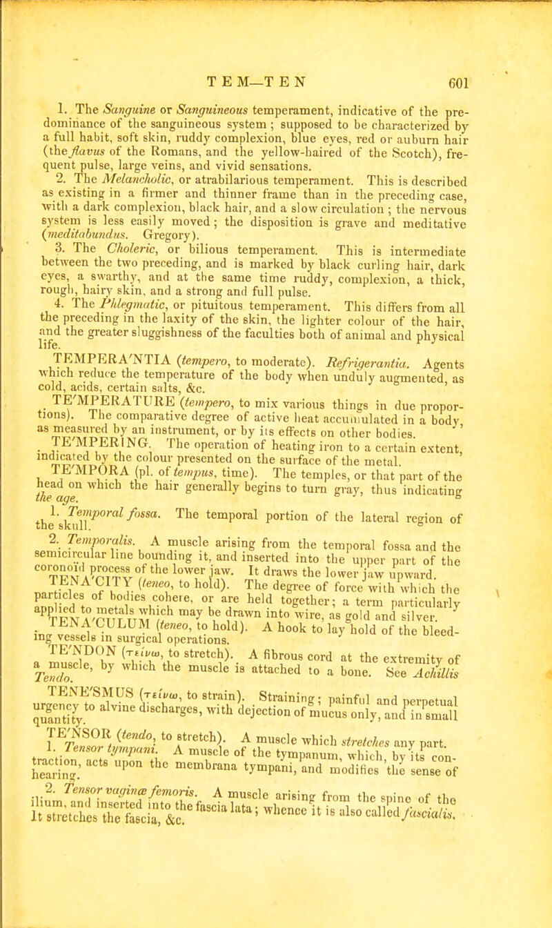 1. The Sanguine or Sanguineous temperament, indicative of the pre- dominance of the sanguineous system ; supposed to be characterized by a full habit, soft skin, ruddy complexion, blue eyes, red or auburn hair {\.\ieflavus of the Romans, and the yellow-haired of the Scotch), fre- quent pulse, large veins, and vivid sensations. 2. The Melaticholic. or atrabilarious temperament. This is described as existing in a firmer and thinner frame than in the preceding case, with a dark complexion, black hair, and a slow circulation ; the nervous system is less easily moved; the disposition is grave and meditative (ineditabundns. Gregory). 3. The Choleric, or bilious temperament. This is intermediate between the two preceding, and is marked by black curling hair, dark eyes, a swarthy, and at the same time ruddy, complexion, a thick, rough, hairy skin, and a strong and full pulse. ' 4. The Phlegmatic, or pituitous temperament. This differs from all the preceding in the laxity of the skin, the lighter colour of the hair, and the greater sluggishness of the faculties both of animal and physical TRMPERA'NTIA {tempero, to moderate). Refngerantia. Agents wliich reduce the temperature of the body when unduly augmented as cold, acids, certain salts, &c. TE'MPERATURE {tempero, to mix various thines in due propor- tions). The comparative degree of active heat accunTuIated in a body ^TP'MuiJ ° instrument, or by irs effects on other bodies. . /.E MPERING. The operation of heating iron to a certain extent indicaied by the colour presented on the surface of the metal. TE'MPORA (pi. of tempiis, time). The temples, or that part of the iheagT generally begins to turn gi-ay, thus indicating thisk^n''*^-^'**' '^^^ temporal portion of the lateral region of 2. Temporalis. A muscle arising from the temporal fossa and the semicircular line bounding it, and inserted into the upper part of the tFN A^'PTT v,^ •^■■'^^^^ lower jaw upward. .nr^iVll f 7T- ^^^'^ °f force with which the par icles of bodies coheie, or are held together; a term particularly •^^NA'Cuf TIM \' So\'l and silver. ^ 1 EN A CULUM {eneo, to hold). A hook to lay hold of the bleed- ing vessels in surgical operations. TE'NDON (xuVco, to stretch). A fibrous cord at the extremitv of rJ^r^'' '^''^ ^^l  '''^'^hed to a bone. 8ee TENE'SMUS (T^r^a,, to strain). Straining; painful and nernetual quSy ' ^''^ °f only and'inCtl I. lessor tpnpam A muscle of the tympanum, which bv its con leaiin^'^'' upon the membrana tympani,'and m'odifies'tSrsense of ;iiL^''T'''Tf ^T*- ^ '^cle arising from the spine of the
