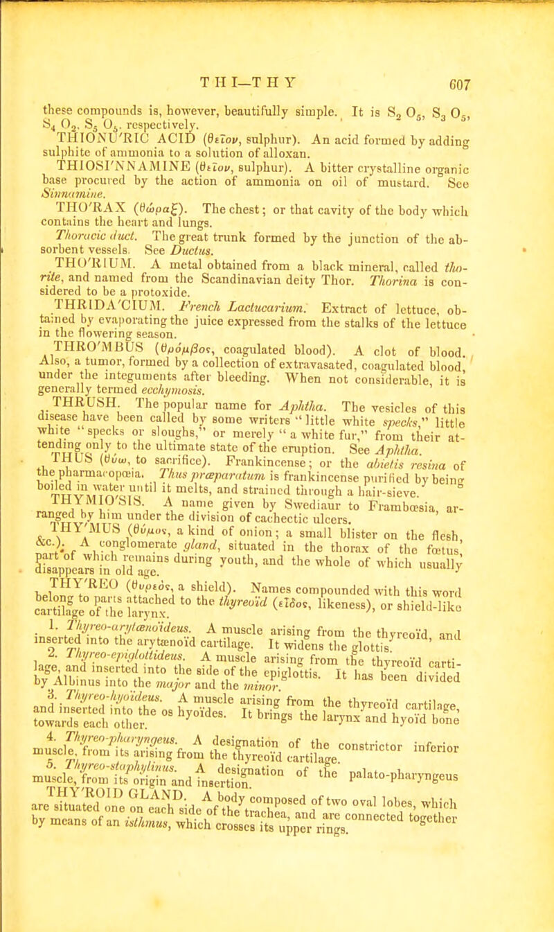 G07 these compounds ia, however, beautifully simple. It is Sj O5, S3 O5, S4 Oo. S5 Oj. respectively. THIOiNU'RIC ACID {diiov, sulphur). An acid formed by adding sulphite of ammonia to a solution of alloxan. THIOSI'NNAMINE {daov, sulphur). A bitter crystalline organic base procuied by the action of ammonia on oil of mustard. See Siimioiiiiie. THU'RAX (Hiipaf). The chest; or that cavity of the body which contains the heart and lungs. T/ionicic iltict. The great trunk formed by the junction of the ab- sorbent vessels. See Ductus. THU'RIUM. A metal obtained from a black mineral, called iho- ■nte. and named from the Scandinavian deity Thor. Thorina is con- sidered to be a proto.xide. THRlDA'CIUiM. French Laclucarmm. Extract of lettuce ob- tained by evaporating the juice expressed from the stalks of the lettuce m the flowering season. THRO'MBUS {tif>6iiiPo,, coagulated blood). A clot of blood. Also, a tumor, formed by a collection of extravasated, coagulated blood under the mteguments after bleeding. When not considerable it is generally termed ecchipuosis. ' THRUSH The popular name for AjMia. The vesicles of this disease have been called by some writers  little white specfe  little white ' specks or sloughs, or merely a white fur, from their at- JpufiS^ Iti^'i'e state of the eruption. See Aphtha IHUS («i/<«, to sacrifice). Frankincense; or the abietis resma of the pharma. opa'ia. Thus praparatiim is frankincense puriHed by beinir TMvV/t^^,^'''' \' '^ '■•■^''^'1 *™»g'i ^ hair-sieve. ^ A !. , A name given by Swediaur to Pramboesia, ar- n^tiv/ '^^'^ '^ division of cachectic ulcers. IHY MUS (eOnos; a kind of onion; a small blister on the flesh ,^,V''g'''™<'.''*te fflavd, situated in the thorax of the fcetus' Su^VpeaTs'in old'lgr^ ^'^ '''' ^^'^ --x hpiliniT^^*^ * ^^ compounded with this word clnilap:: ?™ ''^^''^ I'keness), or shield-like • ^' /^'^'f-'.'/'a'o''c/eMS. A muscle arising from the thyreoid and inserted into the arytenoid cartilage. It widens the glottis^ ' J. Thjreo-epzglo ttdens A muscle arising from the thyreoid carti- lage and inserted into the side of the epiglottis. It has been divided by Albmus into the major and the minor ^ i. n,/reo-hj/oideus. A muscle arising from the thyreoid cirtihirp LlX^^rcVo^he^ ''^^ larynx^ardly^l^ire ml?«si :L^r''^^^^- -^--^ m^ci?CtrfS;::„.t.S^''- palato-pharyngeus are™tuYtedon^e ^.^^T'; ^.^^^ 'P'''^ «f two oval lobes, which