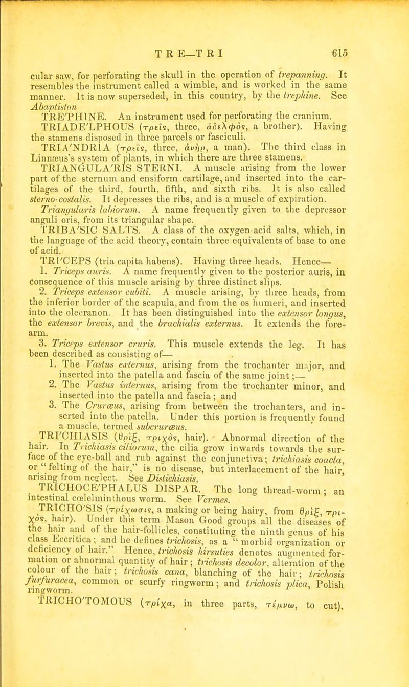 culai- saw, for perforating the skull in the operation of irepanning. It resembles the instrument called a wimble, and is worked in the same manner. It is now superseded, in this country, by the trephine. See AhaplhiUm TRE'PHINE. An instrument used for perforating the cranium. TRIADE'LPHOUS (Tptls, three, a&t\<p6^, a brother). Having the stamens disposed in three parcels or fasciculi. TRIA'NDRIA (TjOfis, three, di/i|(), a man). The third class in Linnajus's system of plants, in which there are three stamens. TRIANGULA'RIS STERNI. A muscle arising from the lower part of the sternum and ensiform cartilage, and inserted into the car- tilages of the third, fourth, fifth, and sixth ribs. It is also called sterno-costalis. It depresses the ribs, and is a muscle of expiration. Trimiyidaris luhioram. A name frequently given to the depressor anguli oris, from its triangular shape. TRIBA'SIC SALTS. A class of the oxygen-acid salts, which, in the language of the acid theory, contain three equivalents of base to one of acid. TRI'CEPS (tria capita habens). Having three heads. Hence— 1. Triceps auris. A name frequently given to the posterior auria, in Consequence of this muscle arising by three distinct slips. 2. Triceps eottensor ciihili. A muscle arising, by three heads, from the inferior border of the scapula, and from tlie os humeri, and inserted into the olecranon. It has been distinguisheil into the extensor longiis, the extensor brevis, and the brachialis extenius. It extends the fore- arm. 3. Triceps extensor cruris. This muscle extends the leg. It has been described as consisting of— 1. The Vastus extenius, arising from the trochanter m:ijor, and inserted into the patella and fascia of the same joint;— 2. The Vastus internus, arising from the trochanter minor, and inserted into the patella and fascia; and 3. The CrurtBus, arising from between the trochanters, and in- serted into the patella. Under this portion is frequently found a muscle, termed subcrurcBus. TRI'CIIIASIS (tt(,i$, Tpi Xos, hair). Abnormal direction of the hair. In Trichiasis ciliorum, the cilia grow inwards towards the sur- face of the eye-ball and rub against the conjunctiva; trichiasis coacta, or  felting of the hair, is no disease, but mterlacement of the hair^ arising from ncL'lect. See Distichiasis. ' TRICHOCE'PHALUS DISPAR. The long thread-worm ; an intestinal ccelelminthous worm. See Vermes. TRICHO'SIS (t(iixu)<tis, a making or being hairy, from Qfsif, xni- Xos, hair). Under this term Mason Good groups all the diseases of the hair and of the h.-iir-follicles, constituting the ninth genus of his class Eccritica; .and he defines <ncAo«s, as a morbid organization or deficiency of hair. Hence, Irichosis hirsuties denotes .augmented for- mation or abnormal quantity of hair ; trichosis decolor, .alteration of the colour of the hair; trichosis cana, blanching of the hair; tiichosis furjuracea, common or scurfy ring^vorm; and trichosis plica, Polish ringworm. TRICHO'TOMOUS {Tpix,a, in three parts, tI^vu., to cut).