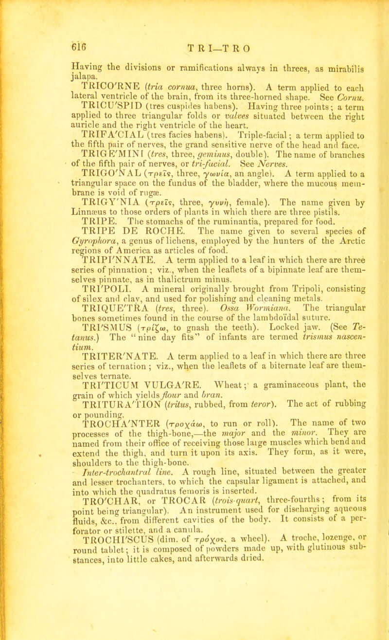 Having the divisions or ramifications always in threes, as mirabilis jalapa. TRICO'RNE {tria cornua, three horns). A term applied to each lateral ventricle of the brain, from its three-liorned sliape. See Cornu. TRICU'SPID (tres cuspides liabens). Having three points; a term applied to three triangular folds or valves situated between the right auricle and the right ventricle of ihe heart. TRIPA'CIAL (tres facies habens). Triple-facial; a term applied to the fifth pair of nerves, the grand sensitive nerve of the head and face. TRIG R'MINI (ti-es, three, ffeminus, double). The name of branches of the fifth pair of nerves, or tri-facial. See Nerves. TRIGO'NAL (t^eIs, three, yuivia, an anglei. A terra applied to a triangular space on the fundus of the bladder, where the mucous mem- brane is void of rugae. TRIGY'NIA (xpets, three, ■yuwi';, female). The name given by Linnaius to those orders of plants in which there are three pistils. TRIPE. Tlie stomachs of the ruminantia, prepared for food. TRIPE DE ROCHE. The name given to several species of Oyrnphora, a genus of lichens, employed by the hunters of the Arctic regions of America as articles of food. TRIPI'NNATE. A term applied to a leaf in which there are three series of pinnation ; viz., when the leaflets of a bipinnate leaf are them- selves pinnate, as in thalictrum minus. TRI'POLI. A mineral originally brought from Tripoli, consisting of sile.x and clav, and used for polishing and cleaning metals. TRIQUE'TRA (tres, three). Ossa Wormiana. The triangular bones sometimes found in the course of the lanibdoidul suture. TRI'SMUS (rtiLlw, to gnash the teeth). Locked jaw. (See Te- tanus.) The nine day fits of infimts are termed trismus nascen- tium. TRITER'NATE. A term applied to a leaf in which there are three series of ternation ; viz., when the leaflets of a biternate leaf are them- selves ternate. TRI'TICU.M VULGA'RE. Wheat;- a graminaceous plant, the grain of which yields flour and l>ran. TRITURA'TION (trUus, rubbed, from ieror). The act of rubbing or pounding. TROCHA'NTER (Tpoxaw, to run or roll). The name of two processes of the thigh-bone,—the major and the TMiior. They are named from their office of receiving those large muscles which bend and extend the thigh, and turn it upon its axis. They form, as it were, shoulders to the thigli-bone. Tnler-trochantral line. A rough line, situated between the greater and lesser trochanters, to which the capsular ligament is attached, and into which the quadratus fenioris is inserted. TRO'CHAR, or TROCAR (Iroisquart, three-fourths; from its point being triansular). An instrument used for discharging aqueous fluids, &c.. from different cavities of the body. It consists of a per- forator or stiletto, and a canula. TROCHI'SCUS (dim. of xpo'xns, a wheel). A troche, lozenge, or round tablet; it is composed of powders made up, with glutinous sub- stances, into little cakes, and afterwards diied.