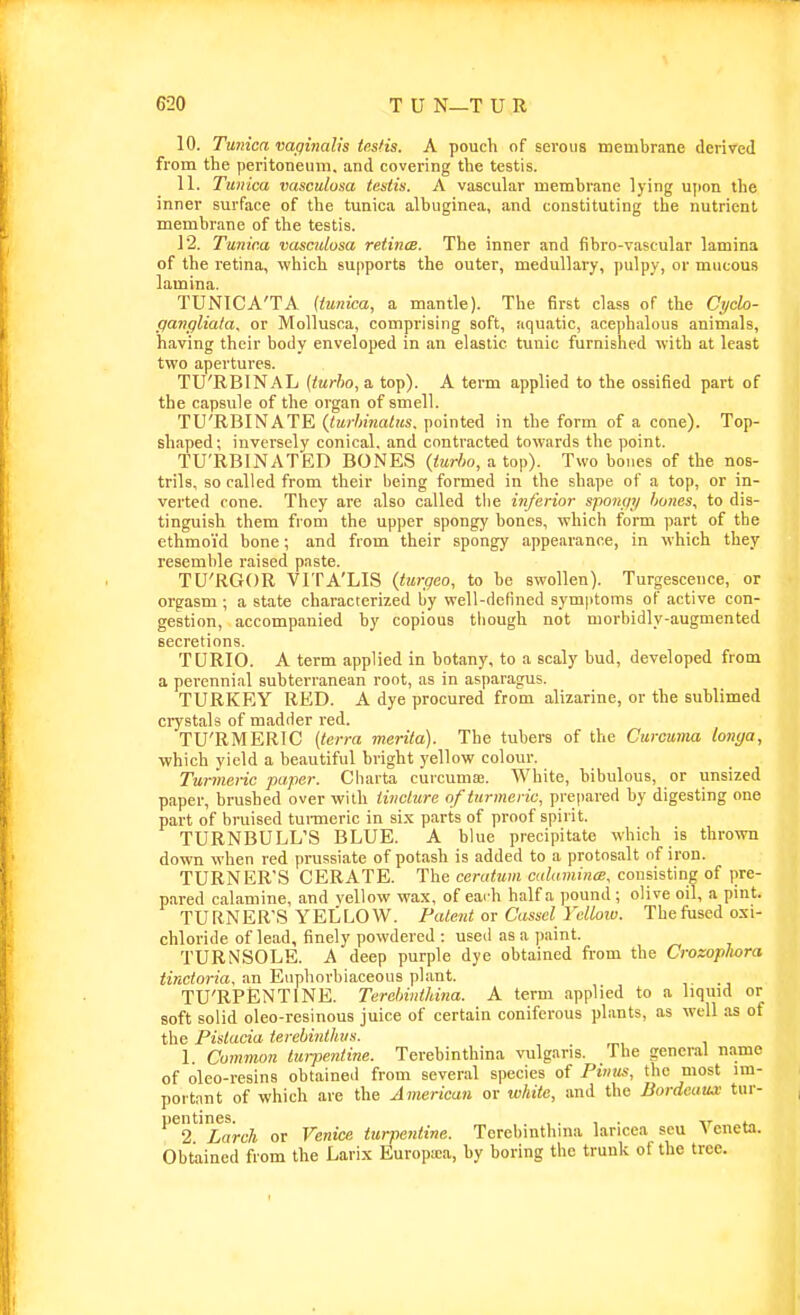10. Tunica vaginalis testis. A pouch of sei'oua membrane derived from the peritoneum, and covering the testis. 11. Tunica vasculosa testis. A vascular membrane lying ujion the inner surface of the tunica albuginea, and constituting the nutrient membrane of the testis. 12. Tunica vasculosa retince. The inner and fibro-vascular lamina of the retina, which supports the outer, medullary, pulpy, or mucous lamina. TUNICA'TA (tunica, a mantle). The first class of the C;/clo- ffangliata, or Mollusca, comprising soft, aquatic, acephalous animals, having their body enveloped in an elastic tunic furnished with at least two apertures. TU'RBINAL {turho, a top). A term applied to the ossified part of the capsule of the organ of smell. TU'RBINATE {iuMnatus. pointed in the form of a cone). Top- shaped; inversely conical, and contracted towards the point. TU'RBINATED BONES (turho, a top). Two bones of the nos- trils, so called from their being formed in the shape of a top, or in- verted cone. They are also called tlie iiiferior sponf/t/ hones, to dis- tinguish them from the upper spongy bones, which form part of the ethmoid bone; and from their spongy appearance, in which they resemble raised paste. TU'RGOR VITA'LIS {turgeo, to be swollen). Turgescence, or orgasm; a state characterized by well-defined symptoms of active con- gestion, accompanied by copious tliough not morbidly-augmented secretions. TURIO. A term applied in botany, to a scaly bud, developed from a perennial subterranean root, as in asparagus. TURKEY RED. A dye procured from alizarine, or the sublimed crystals of madder red. TU'RMERIC [terra merita). The tubers of the Curcuma longa, which yield a beautiful bright yellow colour. Turmei-ic paper. Cliarta cuicuma;. White, bibulous, or unsized paper, brushed over with tincture of turmeric, prepared by digesting one part of bruised tunneric in six parts of proof spirit. TURNBULL'S BLUE. A blue precipitate which is thrown down when red prussiate of potash is added to a protosalt of iron. TURNER'S CERATE. The ceratum calumina:. consisting of pre- pared calamine, and yellow wax, of each half a pound ; olive oil, a pint. TURNER'S YELLOW. Patent or Cassel Yellow. Thefusedoxi- chloride of lead, finely powdered : used as a paint. TURNSOLE. A deep purple dye obtained from the Crozophora iirecto-ra, an Eiiphorbiaceous plant. TU'RPENTINE. Terchinthina. A term applied to a liquid or soft solid oleo-resinous juice of certain coniferous plants, as well as of the Pistacia terebinthus. 1. Common tuiyentine. Terebinthina vulgaris. The general name of oleo-resins obtained from several species of Pivus, the most im- poitnnt of which are the American or white, and the Bordeaux tur- pentinps^^^ or Venice turpentine. Terebinthina laricea scu Veneta. Obtained from the Larix Europsea, by boring the trunk of the tree.
