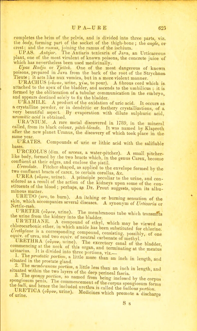 completes tlie brim of the pelvis, and is divided into three parts, viz. tlie bodtj, forming part of the socket of the thigh-bone; the angle, oi- crest; and the ramus, juining the ramus of the ischium. UPAS. Anlsjar. The Antiaris toxicaria of Java, an Urticaceous plant, one of the most virulent of known poisons, the concrete juice of which h.is nevertheless been used medicinally. Upas Radja or Tjellek. One of the most dangerous of known poisons, prepared in Java from the bark of the root of the Strychnos. Tieute ; it acts like nux vomica, but in a more violent manner. U'RACHUS {iiviiov, urine, xfw, to pour). A fibrous cord which is. attached to the apex of the bladder, and ascends to the umbilicus ; it is formed by the obliteration of a tubular communication in the embryo,, and appears destined solely to fix the bladder. U'RAMILE. A product of the oxidation of uric acid. It occurs as a crystalline powder, or in dendritic or feathery crystallizations, of a very beautiful aspect. By evaporation with dilute sulphuric acid, uramitic acid is obtiined. UEA'NIUM. A rare metal discovered in 1709, in the mineral called, from its black colour, pitch-hlende. It was named by Klaproth after the new planet Uranus, the discovery of which took place in the same year. U'RATES. Compounds of uric or lithic acid with the salifiable bases. U'RCEOLUS (dim. of tcrceus, a water-pitcher). A small pitcher- like body, formed by the two bracts which, in the genus Carex, become confluent at their edges, and enclose the pistil. Urceolate. Pitcher shaped, as applied to the envelope formed by the two confluent bracts of carex, to certain corollas, &c. U'REA (olpo^, unne). A principle peculiar to the urine, and con- sidered as a result of the action of the kidneys upon some of the con- stituents of the blood; perhaps, Dr. Prout suggests, upon its albu- minous matter. oo i r URE'pO (hco, to bum). An itching or burning sensation of the Mif;, }^ accompanies several diseases. A synonym of Urticaria or iNettle-rash. t^.Y^^^^f^ urine). The membranous tube which transnffts the urine from the kidney into the bladder .loV,^'^!^^^'^'^- ^ <^«;P''°d of ethyi, which may be viewed as chlolocarbonic ether, m which amide has been substituted for chlorine U,ethyla,m is a corresponding compound, consisting, possibly of one URPTHR equiv. of neutral carbonate of methyl.^' Viit.ia.liA (ouf,o»/ unne). The excrctoiT canal of the bladder commencing at the necjc of this organ, and teLinating at tL meatus urinanus. J t is divided into three portions viz — fe eatus 1. prostatic poHio„,!i little more than an inch in length and situated in the prostate gland. Jengtn, ana 2. The memhrwnou, portion, a little less than an inch in lenirth and situated within the two layers of the deep perineal fascia. ^ ' 6. Ihe spomiy portion, so named from being inclosed bv the coi-nn, UREVrr a7 - .T''' ^'^'l'^'' Imlionsportion. of urine ^^hich promote a discharge