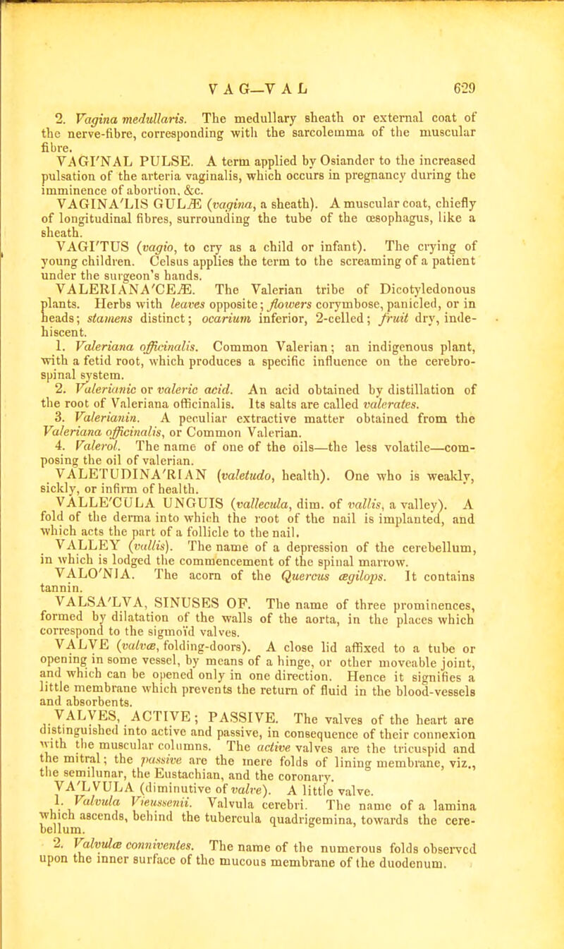 2. Vagina medullaris. The medullary sheatlx or external coat of the nerve-fibre, corresponding witli the sarcoleinma of the muscular fibre. VAGI'NAL PULSE. A term applied by Osiander to the increased pulsation of the arteria vaginalis, which occurs in pregnancy during the imminence of abortion, &c. VAGINA'LIS GULjE {vagina, a sheath). A muscular coat, chiefly of longitudinal fibres, surrounding the tube of the oesophagus, like a sheath. VAGI'TUS (vagio, to cry as a child or infant). The ciying of young children. Celsus applies the term to the screaming of a patient under the surgeon's hands. VALERIANA'CE^. The Valerian tribe of Dicotyledonous lants. Herbs with leaves opposite; /lotvers corymbose, panicled, or in eads; stamens distinct; ocarium inferior, 2-celled; fruit dry, inde- hiscent. 1. Valeriana officinalis. Common Valerian; an indigenous plant, with a fetid root, which produces a specific influence on the cerebro- spinal system. 2. Valeriiniic or valeric acid. An acid obtained by distillation of tlie root of Valeriana officinalis. Its salts are called valerates. 3. Valerianin. A peculiar extractive matter obtained from the Valeriana officinalis, or Common Valerian. 4. Valerol. The name of one of the oils—the less volatile—com- posing the oil of valerian. VALETUDINA'RIAN (vahtudo, health). One who is weakly, sickly, or infirm of health. VALLE'CULA UNGUIS {vallecida, dim. of vaUis, a valley). A fold of the derma into which the root of the nail is implanted, and which acts the nart of a follicle to the nail. VALLEY (vtdlis). Tlie name of a depression of the cerebellum, in which is lodged the commencement of the spinal marrow. VALO'NIA. The acorn of the Querciis aegilops. It contains tannin. VALSA'LVA, SINUSES OF. The name of three prominences, formed by dilatation of the walls of the aorta, in the places which cori-espond to the sigmoVd valves. VALVE (TO<fti(B, folding-doors). A close lid affixed to a tube or opening in some vessel, by means of a hinge, or other moveable joint, and which can be opened only in one direction. Hence it signifies a little membrane which prevents the return of fluid in the blood-vessels and absorbents. VALVES, ACTIVE; PASSIVE. The valves of the heart are distinguished into active and passive, in consequence of their connexion with the muscular columns. The active valves are the tricuspid and the mitral; the jmssive are the mere folds of lining membrane, viz., the semilunar, the Eustachian, and the coronary. VA'LVULA (diminutive of m^re). A little valve. 1. Valvida Vieussenii. Valvula cerebri. The name of a lamina wliich ascends, behind the tubercula quadrigemina, towards the cere- bellum. 2. Vahtd<B conniventes. The name of the numerous folds obsei-vcd upon the inner surface of the mucous membrane of the duodenum.
