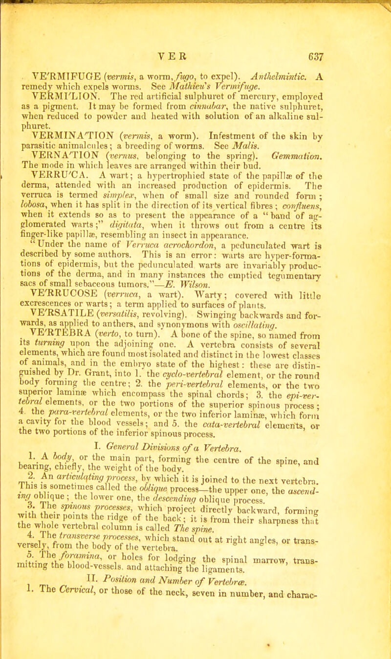 VE'RMTPUGE (vermis, a yioTm,fiu}o, to expel). Avilielmintic. A remedy which expels worms. See Mai/tieii's Vermifuge. VERMI'LION. The red artificial sulphuret of mercury, employed as a pigment. It may be formed from cinnabar, the native sulphuret, when reduced to powder and heated with solution of an alkaline sul- phuret. VERMINA'TION (vermis, a worm). Infestment of the skin by parasitic animalcules; a breeding of worms. See Malis. VERNA'TlON (vermis, belonging to the spring). Gemmation. The mode in which leaves are arranged within their bud. VERRU'CA. A wart; a hypertrophied state of the papillae of the derma, attended with an increased production of epidermis. The ven-uca is termed simp/ex, when of small size and rounded form ; lobosa, when it has split in the direction of its vertical fibres ; cmtflnens, when it extends so as to present the appearance of a  band of ag- glomerated warts; diriitnta, when it throws out from a centre its finger-like papillae, resembling an insect in appearance.  Under the name of Verruca aernchordon, a pedunculated wart is described by some authors. This is an error: warts are hyper-forma- tions of epidermis, but the pedunculated warts are invariably produc- tions of the derma, and in many instances the emptied tegumentary sacs of small sebaceous tumors.—JS. Wilsotu VE'RRUCOSE (verruca, a wart). Warty; covered with little excrescences or warts; a tei-m applied to surfaces of plants. VE'RSATILE (versalilis, revolving). Swinging backwards and for- wards, as applied to anthers, and synonymous with oscillating. VE'RTEBRA (verto, to turn). A bone of the spine, so named from its tiirning upon the adjoining one. A vertebra consists of several elements, which are found most isolated and distinct in the lowest classes of animals, and in the emhryo state of the highest: these are distin- guished by Dr. Grant, into 1. the cyclo-vertebral element, or the round body forming the centre; 2. the -peri-vertehral elements, or the two superior lamina; which encompass the spinal chords; 3. the eni-ver- iebral elements, or the two portions of the superior spinous process • i the para-vertebral elements, or the two inferior lamina;, which form a cavity for the blood vessels; and 5. the cata-veHebral elements, or the two portions of the inferior spinous process. I. General Divisions of a Vertebra. 1. A bod,/ or the main part, forming the centre of the spine, and beanng, chiefly, the weight of the body. 2. An arlicuUfting process, by which it is joined to the next vertebra. This 18 sometimes called the oblique process-the upper one, the ascend- tmy oblique ; the lower one, the descending oblique process i. The spinous processes, which project directly backward, forming with heir pomts the iidge of the back; it is from their sharpness that the whole vertebral column is called The spine 4. The transverse processes, which stand out at right angles, or trans- versely, from the body of the vertebra mit-n?f/n'f'' 'i ^''§^8 ^Pi°=^l rn^™^. trans- mitting the blood-vessels, and attaching the ligaments. II. Position and Number of Vertebra. 1. The Cervical, or those of the neck, seven in number, and charac-