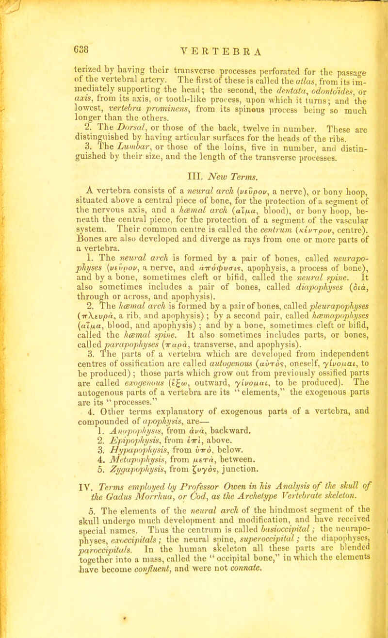 VERTEBRA lerized by having their transverse processes perforated for the passage of the vertebral artery. The first of these is called the alias, from its im- mediately supporting the hea<l; the second, the dimtata, odoitlouks, or axis, from its axis, or tooth-like process, upon which it turns; and the lowest, vertehra pruminens, from its spinous process being so much longer than the others. 2. The Dorsal, or those of the back, twelve in number. These are distinguished by having articular surfaces for the heads of the ribs. 3. The Lumhar, or those of the loins, five in number, and distin- guished by their size, and the length of the transverse processes. III. New Terms. A vertehra consists of a neural arch [veupov, a nerve), or bony hoop, situated above a central piece of bone, for the protection of a segment of the nervous axis, and a hmmal arch (alfia, blood), or bony hoop, be- neath the central piece, for the protection of a segment of the vascular system. Their common centre is called the centrum (Ktv-rpov, centre). Bones are also developed and diverge as rays from one or more parts of a vertebra. 1. The neural arch is formed by a pair of bones, called neurapo- physes [vtffiov, a nerve, and n7ro'</)uo-i9, apophysis, a process of bone), and by a bone, sometimes cleft or bifid, called the neural sjmie. It also sometimes includes a pair of bones, called diapuphyses (oia, through or across, and apophysis). 2. The hmmal arch is formed by a pair of bones, cafi\e&. pleurapopliyses (■nXivph, a rib, and apophysis) ; by a second pair, called hcBmapnphyses (alfia, blood, and apophysis) ; and by a bone, sometimes cleft or bifid, called the hcsmal spine. It also sometimes includes parts, or bones, called/)ara/)o;)%ses {-n-apa, transverse, and apophysis). 3. The parts of a vertebra which are developed from independent centres of ossification are called autucjenous (auxos, oneself, yivoiiat, to be produced) ; those parts which grow out from previously ossified parts are called exogenous (t'^tu, outward, yivofiai, to be produced). The autogenous parts of a vertebra are its elements, the exogenous parts are its  processes. 4. Other terms explanatory of exogenous parts of a vertebra, and compounded of apophysis, are— 1. Aniipophysis, from ava, backward. 2. Epipophysis, from iiri, above. 3. Hypapophysis, from vtro, below. 4. Metapophysis, from fit-rn, between. 5. Zyyapophysis, from X,uydi, junction. IV. Terms employed by Professor Owen in his Analysis of the sJetdl of the Gadus Mo'rrhua, or Cod, as the Archetype Vertebrate skeleton. 5. The elements of the neural arch of the hindmost segment of the skull undergo much develoiiment and modification, and have received special names. Thus the centrum is called basinccipital; the ncurapo- physes, exoccipitals ; the neural spine, superoccipital; the diapophyscs, paroccipitals. In the human skeleton all these parts are blended together into a mass, called the  occipital bone, in which the elements iave become confluent, and were not connate. t