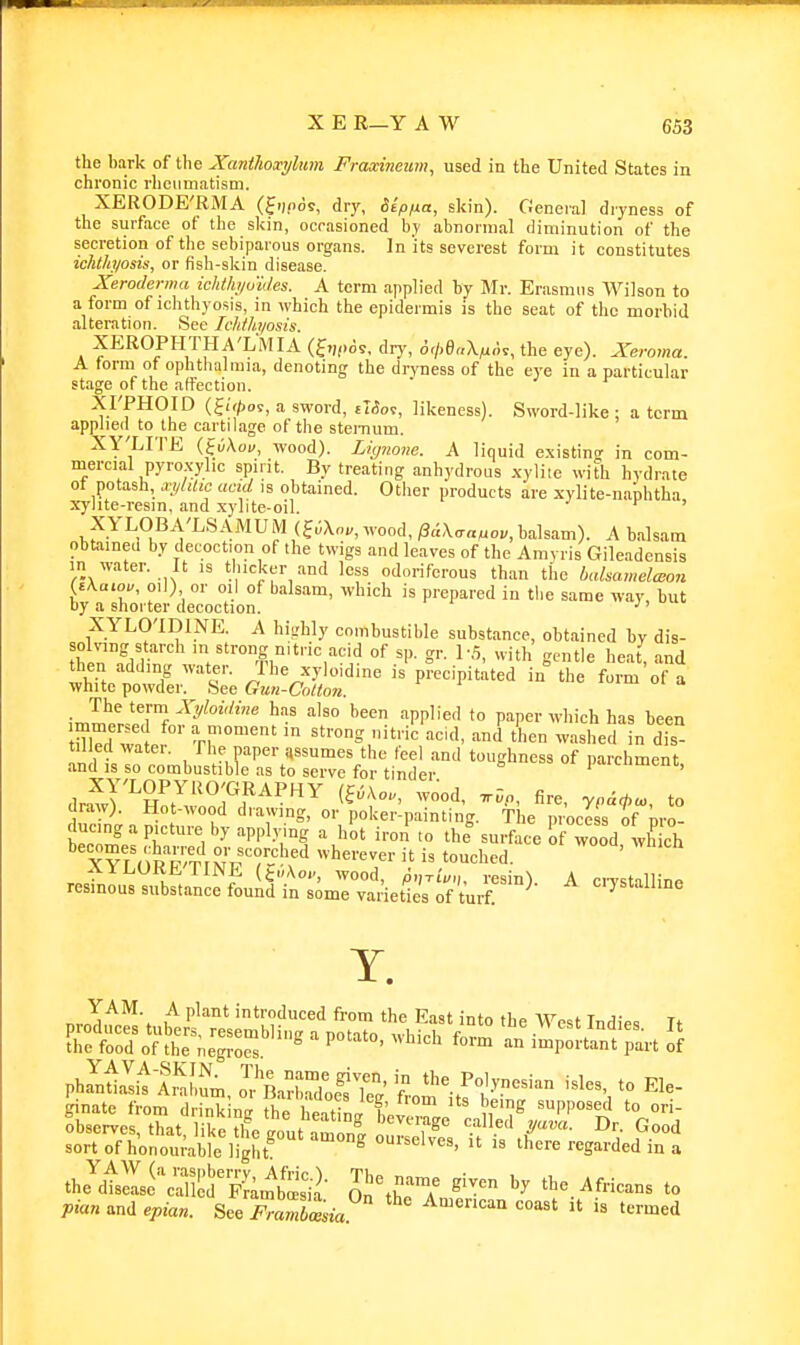 the bark of the Xanihoxylum Frwdneum, used in the United States in chronic rheumatism. XERODE'RMA (fiifos, dry, ikpua, %Vm). General dryness of the surface of the skin, ocrasioned by abnormal diminution of the secretion of the sebiparous organs. In its severest form it constitutes ichthyosis, or fish-skin disease. Xeroderma ichthi/u'ides. A term applied hy Mr. Erasmus Wilson to a form of ichthyosis, in which the epidermis is the seat of the morbid alteration. See IcMh/osis. XEROPHTHA'L'MIA (f,„.<;s, dry, <5r/,e«X/i.;t, the eye). Xeroma. A form of ophthalmia, denoting the dryness of the ej-e in a particular stage of the affection. XI'PHOID (£»/)09, a sword, tWot, likeness). Sword-like: a term appheil to the cartilage of the stemum. XY'LITE (fuAoi/, wood). Liynone. A liquid e.xistinn- in com- niercial pyroxyhc spirit. By treating anhydrous xylite with hydrate ot potash, xiiUtic acid is obtained. Other products are xylite-naphtha xj'hte-resin, and xylite-oil. ' X YLOBA'LSAMU M (^6\„„, wood, pdXaa^ov, balsam). A balsam obtameJ by decoction of the twigs and leaves of the Amvris Gileadensis m water. It is thicker and less odoriferous than the balsametcBon {e\awu, oil) or oil of balsam, which is prepared in the same way, but by a shorter decoction. ;>'• XYLO'IDINE. A highly combustible substance, obtained hy dis- solving starch m strong nitric acid of sp. gr. 1-5, with gentle heat, and then adding water. The xyloidine is precipitated in the form of a white powder. See Gun-Colton. {JrlVnT'f^^''-'^''''^''' '^PI''''' P^Pev which has been Xh wnL ^'p'™' strong nitric acd, and then washed in dis- tilled water. The paper assumes the feel and toughness of parchment and IS so combustible as to serve for tinder iwitument, XY'LOPYUO'GRAPHY (^6Xou, wood, ^i;„, fire, yna*. to draw). Hot-wood drawing, or poker-painti, g. The process of pro- ducing a picture by applying a hot iron to the%urfa'e rwood vh ch becomes charred or scorched wherever it is touched. ' ^ XifLORETINE (t,„\oi., wood, p,,TiV„, resin) A cn'stalHne resinous substance found in some varieties of turf. ^ Y. nr J^^'* t ''™''ced from the East into the West Indies Tt &d%vihTn:grs.''''^ ^^-^-'^ an^^;:Srart ;^ phrni!iltn;hl,o?Lrrd:efw'li^^ '° J^^- ginate from drink ng he WinJ hi n'?^ ^PP«^«1 observes, that like tlfelout amZ . f^ Good sort of h'onom'able light ^ ourselves, it is there regarded in a II'^Tl ^^^.A^n..us to pian and epian. See FravZsia ^''^ ^'^