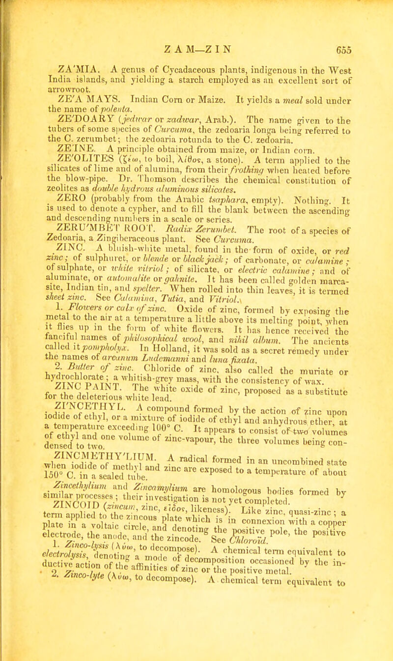 ZA'MIA. A genus of Cycadaceous plants, indigenous in the West India islands, and yielding a starch employed as an excellent sort of arrowroot. ZE'A MAYS. Indian Corn or Maize. It yields a meal sold under the name of polenta. ZE'DOARY (jcdwar ov zadwar, Ava\).). The name given to the tubers of some species o( Curcuma, the zedoaria longa lieing refeiTed to the C. zerumbet; the zedoaria rotunda to the C. zedoaria. ZE'INE. A principle obtained from maize, or Indian corn. ZE'OLITES (Jf'iu, lo boil, Xi'f^os, a stone). A term applied to the silicates of lime and of alumina, from ihexr frothing when healed before the blow-pipe. Dr. Thomson describes the chemical constitution of zeolites as double htjdrotis aliminous silicates. ZERO (probably fi-om the Arabic tsaphara, empty). Nothing. It is used to denote a cypher, and to fill the blank between the ascending and descending numl'crs in a scale or series. ZERU'MBKT ROO T. Radix Zerumbet. The root of a species of Zedoaria, a Zjngibcraceous plant. See Curcuma. ZINC. A bliiish-wbitc metal, found in the form of o.\ide, or red zinc; of sulphuret, or blende or black jack; of carbonate, or calamine ; of sulphate, or ^fliile rilriol; of silicate, or electric calamine; ,nnd of aluminale, or autoiiialite orgahnite. It has been called golden marca- site, Indian tin, and spelter. When rolled into thin leaves, it is termed sheet zmc. See Calumiiia, Tutia, and Vitriol.. 1. Flou-ei-s or calx of zinc. Oxide of zinc, formed by exposing the metal to the air at a temperature a little above its melting point when It flies up m the form of white flowers. It has hence received the lanci ui names of philosophical wnol, and nihil album. The ancients called Itpompholt/x. In Holland, it was sold as a secret remedy under ttie names of arcanum Lndcmanni and luna fixala 2. Butler of zinc _ Chloride of zinc, also called the muriate or ^7Tvn p^^^TiT^,'^^^^^^ ^ith the consistency of wax. iofZ I^^L wE baf ''^ In^^r^?^;!!'^^'^ ^ •^PouDd formed by the action of zinc upon iodide of ethyl, or a mixture of iodide of ethyl and anhydrous ether at yaZr'^iZnT'f'^^'=^PP-™ to consi^tU:^ volume densed to two ^nc-vapour, the three volumes being con- J^?irofIJ^T\ ^ '^^ uneombined state Zmcetlujium and Zmcamylium are homologous bodies formed bv Z NcTnn'r-' i^<=n*pt'°°tyet^completecl ^ clectrolZt AZ Jr'' ''^^o^^Po^e). A chemical tenn equivalent to duetivfact'ion ffl?''' f ^^'''PO^ition occasioned' by the in- 2 7;T.lT> ;affinities of zinc or the positive melal. 2. Zinco-hjte (Kou., to decompose). A chemical tevu, equivalent to