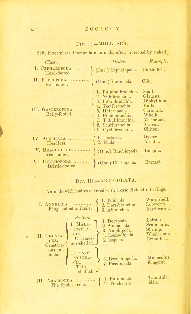 Div. II.—MOLLUSCA. Soft, invertebral, inarticulate animals, often protected by a sliell.^ Class. Order. Example. I. Cephalopoda | ,qs Cephalopoda. Cuttle-fish. Head-footed. J ^ II. Pteropoda I /Q^g ) pteropoda. Clio. Pin-footed. j • I. Pulmonibranchia. Snail. ; 2. Nubibranchia. Glaucus. ' 3. Inferobranchia. Diphyilidia. „ ' 4.. Tectibrauchia. Bulla. III. Gasteropoda ■ 5 Heteropoda. Carinaria. Belly-footed. , g ptenobranchia. Whelk. I 7. Tubulibranchia. Vermetus. 1 8. Scutibranchia. Sea-ear. V9. Cyclobranchia. Chiton. IV. Acephala f 1. Testaeea. Oyster. Headless. I 2. Nuda. Ascidia. V. Brachiopoda \ ,Q^g ) Bracbiopoda. Lingula. Arm-footed J VI. CiRRHOPODA \ (One.) Cirrhopoda. Barnacle. Div. III.—ARTICULATA. Animals with bodies covered with a case divided into rings. ( 1. Tubicola, J. 2. Dorsibranchia ( 'i. Abranchia. 1. Decapoda. 2. Stomapoda. 3. Amphipoda. 4. Laimodipoda. 5. Isopoda. I. Annelida Ring-bodied animals. Section. I. Mala- COSTRA- II. Crusta- 1 A, CEA ' Crustace- Crustace-< ous-shelled. ous ani- l „ mals. j Ento- f MOSTRA- f CIA, , Thin- shelled. III. Araohnida f 1. Pulmonata. The Spidor-tribo. \ 1.1 rachciuia. 6. Branchiopoda. 7. Pcccilopoda. Wormshell. Lobworm. Earthworm. Lobster. Sea mantis. Shrimp. Whale-louse. Cymothoa. Monoculus. Kingcrab. Tarantula. Mite.