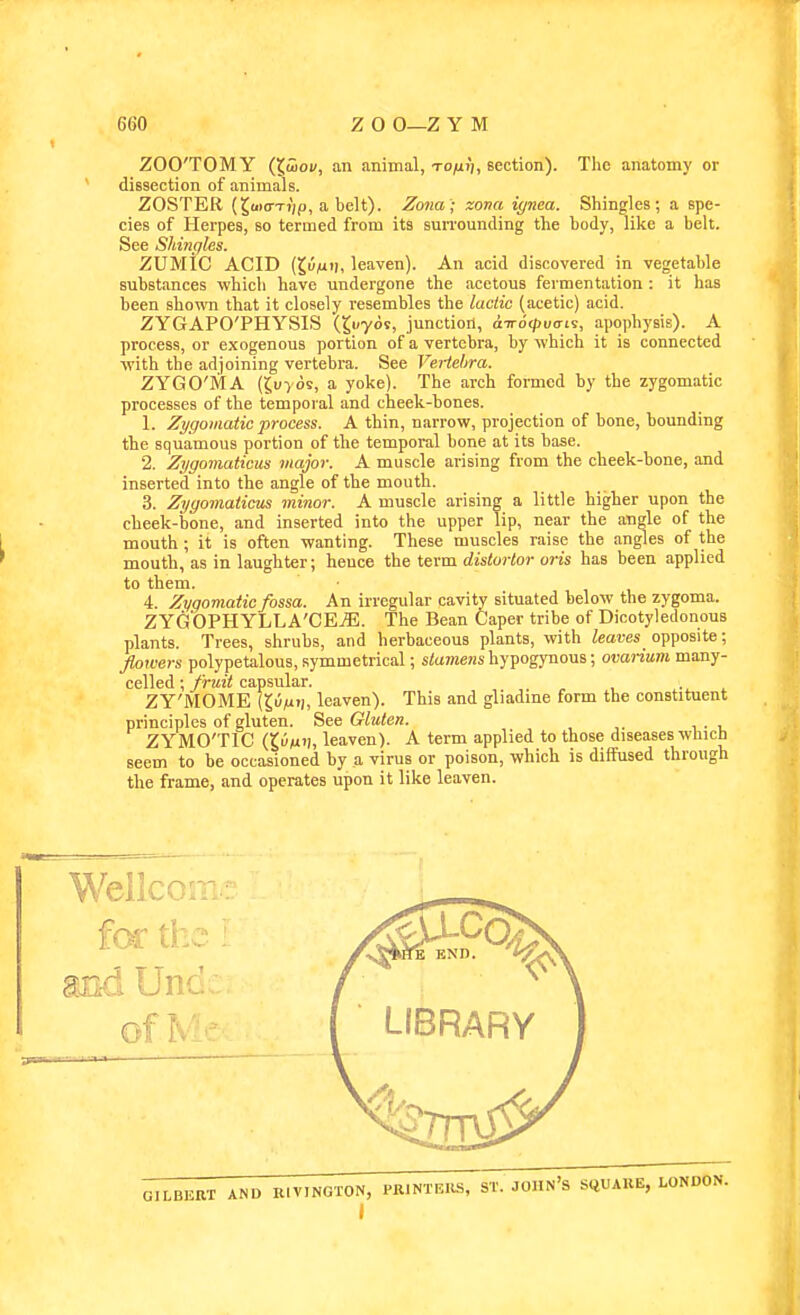 ZOOTOMY {X.U10V, an animal, to/uij, section). The anatomy or dissection of animals. ZOSTER (Juio-Ti/p, a belt). Zona; zona igma. Shingles; a spe- cies of Herpes, so termed from its suiTounding the body, like a belt. See Shingles. ZUMiC ACID (JuiU'l. leaven). An acid discovered in vegetable substances which have undergone the acetous fermentation : it has been shown that it closely resembles the lactic (acetic) acid. ZYGAPO'PHYSIS (^uyos, junction, aTr6(pvai9, apophysis). A process, or exogenous portion of a vertebra, by which it is connected with the adjoining vertebra. See Veiiehra. ZYGO'MA (Suyos, a yoke). The arch formed by the zygomatic processes of the temporal and cheek-bones. 1. Zygomatic process. A thin, narrow, projection of bone, bounding the squamous portion of the temporal bone at its base. 2. Zijgomaticus major. A muscle arising from the cheek-bone, and inserted into the angle of the mouth. 3. Zygomaticus minor. A muscle arising a little higher upon the cheek-bone, and inserted into the upper lip, near the angle of the mouth; it is often wanting. These muscles raise the angles of the mouth, as in laughter; hence the term cJisiortor on's has been applied to them. • 4. Zygomatic fossa. An irregular cavity situated below the zygoma. ZYGOPHYLLA'CEjB. The Bean Caper tribe of Dicotyledonous plants. Trees, shrubs, and herbaceous plants, with leaves opposite; flowers polypetalous, symmetrical; stamens hypogymous; ovarium many- celled ; fruit capsular. . .-^ ^ ZY'MOME (Sum'I, leaven). This and gliadme form the constituent principles of gluten. See Gluten. ZYMO'TIC leaven). A term applied to those diseases which seem to be occasioned by a virus or poison, which is diffused through the frame, and operates upon it like leaven. Wellcc- GILBERT AND lUVINGTON, PRINTEIIS, ST. JOIIN's SQUARE, LONDON.