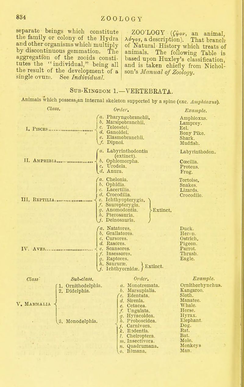 separate beings which constitute tlie family or colony of the Hydra and other organisms which multiply by discontinuous gemmation. The aggregation of the zooids consti- tutes the individual, being all the result of the development of a single ovum. See Individual. ZOO'LOGY iC^ov, an animal, \6yos, a description). That branch of Natural History which treats of animals. The following Table is based upon Huxley's classification, and is taken chiefly from Nichol- son's Manual of Zoology. Sub-Kingdom 1.—VERTEBRATA. Animals which possessran Internal skeleton supported by a spine (exc. Amphioxm). Class. I. Pisces. II. Amphibia., Order. (a. Pharyngobianchii. I b. Marsipobranchii. J c. Teleostei. I d. Ganoidei. e. Elasmobranchii. \f. Dipnoi. f a. Labyrinthodontia (extinct). ' 6. Ophiomoi-pha. I c. TJrodela. Irf. Anura. III. Eepiilia.< IV. AVES.. Class' v. Mammalia (a. Ik c. f. 9- It. \.J- (a. b. c. d. K «• f. ff- h. Sub'Class. 1. Oraithodelphia. 2. Didelphia. ^3. Monodelphia. Chelonia. Ophidia. Lacertilia. CrocodiUa. Ichthyopterygia. Sauropteiygia. Anomodontia. Pterosanria. Deinosauria. Nata tores. Grallatores. Ctii'sores. Easores. Scansores. Insessores. Eaptores. Sauiiirce. ^■Extinct, j- Extinct. Ichthyornidaa. / Order, a. Monotremata. b. Marsupialla. (c. Edentata. ■ d. Sii'enia. e. Cetacea. /. Ungulata. g. HjTacoidea. h. Proboscidea. j. Carnivora. k. Rodentia. I. Cheiroptera. )». Insectivora. n. Quadrumana. \o. Bimana. Example. Ampluoxus. Lamprey. Eel. Bony Pike. Shark. Mudfish. Labyrinthodon. Coecilia. Proteus. Frog. Tortoise. Snakes. Lizards. Crocodile. Duck. Hemn. Ostrich. Pigeon. Parrot Thnish. Eagle. Example. OiTiithorhynchus. Kangaroo. Sloth. Manatee. ■\Vhale. Horse. Hyrax. Elephant. Dog. Rat. Bat. Mole. Jlonkeys Man.