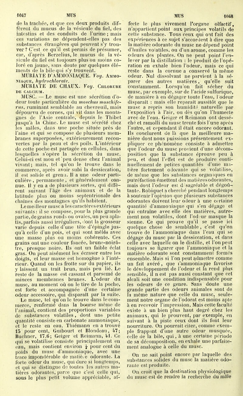 1047 MUS de la trachée, et que ces deux produits dif- fèrent du mucus de la vésicule du fiel, des intestins et des conduits de l'urine ; mais ces variations ne dépendent-elles pas des substances étrangères qui peuvent s'y trou- ver? C'est ce qu'il est permis de présumer, car, d'après Berzelius, le mucus de la vé- sicule du fiel est toujours plus ou moins co- loré en jaune, sims doute par quelques élé- mei.ts de la bile qui s'y trouvent. MURIAÏE D'vVMMOiVIAQUE. Voy. Ammo- niaque, hydrochlorate. MURIATE DE CHAUX. Voy. Chlorure DE CALCIUM. MUSC. — Le musc est une sécrétion d'o- deur toute particulière du moschus moschifé- rus, ruminant semblable au chevreuil, mais dépourvu de cornes, qui vit dans les monta- gnes de l'Asie centrale, depuis le Thibet jusqu'à la Chine. Le musc est sécrété chez les mâles, dans une poche située près de l'aine et qui se compose de plusieurs mem- branes superposées, extérieurement recou- vertes par la peau et des poils. L'intérieur de cette poche est partagée en cellules, dans lesquelles s'opère la sécrétion du musc. Celui-ci est mou et'peu dense chez l'animal vivant; mais, tel qu'on le trouve dans le commerce, après avoir subi la dessiccation, il est solide et grenu. Il a une odeur parti- culière , permanente , et généralement con- nue. 11 y en a de plusieurs sortes, qui diffè- rent suivant l'âge des animaux et de la latitude plus ou moins septentrionale des chaînes des montagnes qu'ils habitent. Le meilleur musc a les caractères extérieurs suivants: il se compose, pour la plus grande partie, de grains rondi ou ovales, un peu apla- tis, parfois aussi irréguliers, «iont la gi'osseur varie depuis celle d'une tête d'épingle jus- qu'à celle dun pois, et qui sont mêlés avec une masse plus ou moins cohérente. Ces grains ont une couleur foncée, brune-noirâ- tre, presque noire. Ils ont un faible éclat gras. On peut aisément les écraser entre les doigts, et leur masse est homogène à l'inté- rieur. Quand on les frotte sur du papier, ils y laissent un trait brun, mais peu lié. Le reste de la masse est cassant et parsemé de minces membranes brunes. L'odeur du musc, au moment où. on le tire de la poche, est forte et. accompagnée d'une certaine odeur accessoire, qui disparaît par la suite. Le musc, tel qu'on le trouve dans lecom- inerce, renfermé dans la bourse môme de l'animal, contient des proportions variables de substances volatiles, dont une petite quantité consiste en carbonate ammoniaque, et le reste en eau. Thiémann en a trouvé 15 pour cent, Guibourt et Blondeau, 47; Buchner, 17,6; Geiger et Reimann, kl. Ce qui se volatilise consiste principalement en eau, mais contient environ y pour cent du poids du musc d'ammoniaque, avec une trace impondérable de matiè, e odorante. La forte odeur du musc, qui dure si longtemps, et qui se distingue de toutes les autres ma- tières odorantes, parce que c'est celle qui, sous le plus petit volume appréciable, af- MUS 1048 fecte le plus vivement l'organe olfactif, n'appartient point aux: principes volatils de cette substance. Tous ceux qui ont fait des expériences à ce sujet s'accordent à dire que la matière odorante du musc ne dépend point d'huiles volatiles, ou d'un arôme, comme les odeurs des plantes. On ne peut point l'en- lever par la distillation : le produit de l'opé- ration en exhale bien l'odeur, mais ce qui reste dans la cornue a conservé la même odeur. Nul dissolvant ne parvient à la sé- parer des autres matières, qu'elle suit constamment. Lorsqu'on fait sécher du musc, par exemple, sur de l'acide sulfurique, de manière à en dégager toute l'eau, l'odeur disparaît : mais elle reparaît aussitôt que le musc a repris son humidité naturelle par l'exposition à l'air, ou dès qu'on l'humecte avec de l'eau. Geiger et Reimann ont dessé- ché et ramolli du musc trente fois l une après l'autre, et cependant il était encore odorant. Ils conclurent de là que la meilleure ma- nière dont nous puissions présentement ex- pliquer ce phénomène consiste à admettre que l'odeur du musc provient d'une décom- position que la substance éprouve peu à peu, et dont l'rffet est de produire conti- nuellement de petites quantités d'une ma- tière fortement odorante qui se volatihse, de môme que les substances organiques en putréfaction émettent des matières odorantes, mais dont l'odeur est d 'sagréable et dégoû- tante. Robiquet a cherché pendant longtemps à soutenir l'opinion que plusieurs substances odorantes doivent leur odeur à une certaine quantité d'ammoniaque qui s'en dégage et qui entraîne avec elle des matières, autre- ment non volatiles, dont l'od ur masque la sienne. Ce qui prouve qu'il se passe ici quelque chose de semblable, c'est qu'on trouve de l'ammoniaque dans l'eau qui se dégage du musc par la dessiccation, et dans celle avec laquelle on le distille, et l'on peut toujours se figurer que l'ammoniaque et la matière odorante sont constamment formés ensemble. Mais si l'on peut admettre comme un fait avéré, que l'ammoniaque favorise le développement de l'odeur et la rend plus sensible, il n est pas aussi constant que cet alcali soit une condition indispensable pour les odeurs de ce genre. Sans doute une grande partie des odeurs animales sont de la même nature que celle du musc, seule- ment notre organe de l'odorat est moins apte à en recevoir l'impression. Mais cette faculté existe à un bien plus haut degré chez les animaux, qui le prouvent, par exemple, en suivant à la piste ceux dont ils font leur nourriture. On pourrait citer, comme exem- ple frappint d'une autre odeur musquée, celle de la bile, qui, à une certaine période de sa décomposition, en exhale une parfaite- ment analogue à celle du musc. On ne sait point encore par laquelle des substances solides du musc la matière odo- rante est produite. On croit que la destination physiologique du musc est de rendre la recherche du mâle