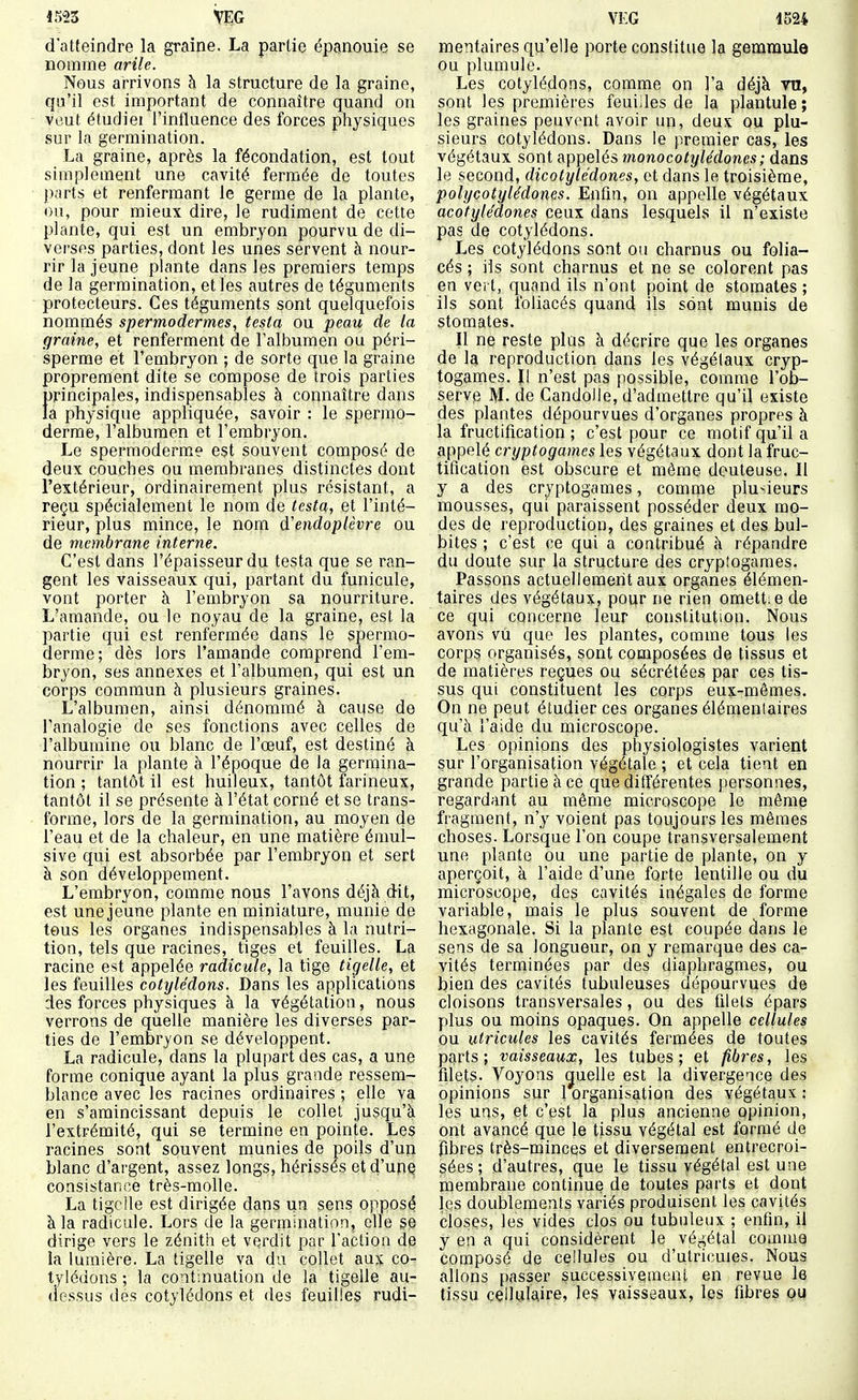4523 Ve.G d'atteindre la graine. La partie épanouie se nomme arile. Nous arrivons à la structure de la graine, qu'il est important de connaître quand on veut étudiei l'influence des forces physiques sur la germination. La graine, après la fécondation, est tout simplement une cavité fermée de toutes parts et renfermant le germe de la plante, ou, pour mieux dire, le rudiment de cette plante, qui est un embryon pourvu de di- verses parties, dont les unes servent à nour- rir la jeune plante dans les premiers temps de la germination, et les autres de téguments protecteurs. Ces téguments sont quelquefois nommés spermodermes, testa ou peau de la graine, et renferment de l'albumen ou péri- sperme et l'embryon ; de sorte que la graine proprement dite se compose de trois parties principales, indispensables à connaître dans la physique appliquée, savoir : le spermo- derrae, l'albumen et l'embryon. Le spermoderme est souvent composé de deux couches ou membranes distinctes dont l'extérieur, ordinairement plus résistant, a reçu spécialement le nom de testa, et l'inté- rieur, plus mince, le nom d'endoplèvre ou de membrane interne. C'est dans l'épaisseur du testa que se ran- gent les vaisseaux qui, partant du funicule, vont porter à l'embryon sa nourriture. L'amande, ou le noyau de la graine, est la partie qui est renfermée dans le spermo- derme; dès lors l'amande comprend l'em- bryon, ses annexes et l'albumen, qui est un corps commun à plusieurs graines. L'albumen, ainsi dénommé à cause de l'analogie de ses fonctions avec celles de l'albumine ou blanc de l'œuf, est destiné à nourrir la plante à l'époque de la germina- tion ; tantôt il est huileux, tantôt farineux, tantôt il se présente à l'état corné et se trans- forme, lors de la germination, au moyen de l'eau et de la chaleur, en une matière émul- sive qui est absorbée par l'embryon et sert à son développement. L'embryon, comme nous l'avons déjà dit, est une jeune plante en miniature, munie de tous les organes indispensables à la nutri- tion, tels que racines, tiges et feuilles. La racine est appelée radicule, la tige tigelle, et les feuilles cotylédons. Dans les applications des forces physiques à la végétation, nous verrons de quelle manière les diverses par- ties de l'embryon se développent. La radicule, dans la plupart des cas, a une forme conique ayant la plus grande ressem- blance avec les racines ordinaires ; elle va en s'amincissant depuis le collet jusqu'à l'extrémité, qui se termine en pointe. Les racines sont souvent munies de poils d'un blanc d'argent, assez longs, hérissés et d'unç consistance très-molle. La tigcîle est dirigée dans un sens opposé à la radicule. Lors de la germination, elle se dirige vers le zénith et verdit par l'action de la lumière. La tigelle va du collet aux co- tylédons ; la continuation de la tigelle au- dessus des cotylédons et des feuilles rudi- VEG 1524 mentaires qu'elle porte constituo la gemmule ou plumule. Les cotylédons, comme on l'a déjà vu, sont les premières feuiiles de la plantule ; les graines peuvent avoir un, deux ou plu- sieurs cotylédons. Dans le premier cas, les végétaux sont appelés monocotylédones; dans le second, dicotylédones, et dans le troisième, polycotylédones. Enfin, on appelle végétaux acotytédones ceux dans lesquels il n'existe pas de cotylédons. Les cotylédons sont ou charnus ou folia- cés ; ils sont charnus et ne se colorent pas en vert, quand ils n'ont point de stomates ; ils sont foliacés quand ils sont munis de stomates. Il ne reste plus à décrire que les organes de la reproduction dans les végétaux cryp- togames. Il n'est pas possible, comme l'ob- serve M. lie Candolle, d'admettre qu'il existe des plantes dépourvues d'organes propres à la fructification ; c'est pour ce motif qu'il a appelé cryptogames les végétaux dont la fruc- tification est obscure et même douteuse. Il y a des cryptogames, comme plusieurs mousses, qui paraissent posséder deux mo- des de reproduction, des graines et des bul- bites ; c'est ce qui a contribué à répandre du doute sur la structure des crypîogames. Passons actuellement aux organes élémen- taires des végétaux, pour ne rien omett e de ce qui concerne leur constitution. Nous avons vu que les plantes, comme tous les corps organisés, sont composées de tissus et de matières reçues ou sécrétées par ces tis- sus qui constituent les corps euj-mêmes. On ne peut étudier ces organes élénienlaires qu'à l'aide du microscope. Les opinions des physiologistes varient sur l'organisation végétale ; et cela tient en grande partie à ce que différentes personnes, regardant au même microscope le même fragment, n'y voient pas toujours les mêmes choses. Lorsque l'on coupe transversalement une plante ou une partie de plante, on y aperçoit, à l'aide d'une forte lentille ou du microscope, des cavités inégales de forme variable, mais le plus souvent de forme hexagonale. Si la plante est coupée dans le sens de sa longueur, on y remarque des ca- vités terminées par des diaphragmes, ou bien des cavités tubuleuses dépourvues de cloisons transversales, ou des filets épars plus ou moins opaques. On appelle cellules ou uiricules les cavités fermées de toutes parts; vaisseaux, les tubes; et fibres, les filets. Voyons guelie est la divergence des opinions sur 1 organisation des végétaux : les uns, et c'est la plus ancienne opinion, ont avancé que le tissu végétal est formé de fibres très-minces et diversement entrecroi- sées; d'autres, que le tissu végétal est une membrane continue de toutes parts et dont les doublements variés produisent les cavités closes, les vides clos ou tubuleux ; enfin, il y en a qui considèrent le végétal comme composé de cellules ou d'utricuies. Nous allons passer successivement en revue le tissu cellalaire, les vaisseaux, les fibres ou