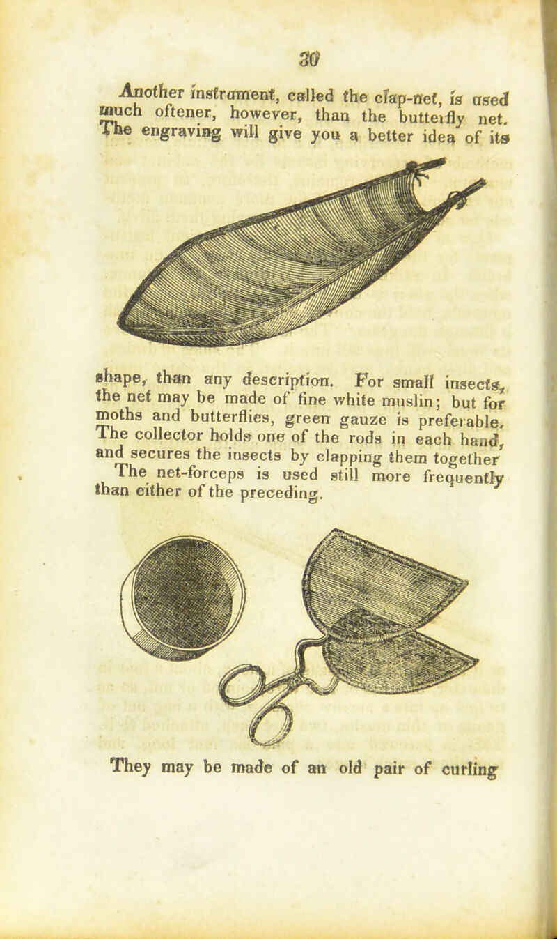 Another msframent, called the cTap-net, is used much oftener, however, than the butteifly net. ifte engraving will give you a better idea of its shape, than any description. For small insects, the net may be made of fine white muslin; but for moths and butterflies, green gauze is preferable. The collector holds one of the rods in each han<}, and secures the insects by clapping them together The net-forceps is used still more frequently than either of the preceding. They may be made of an old pair of curiing'