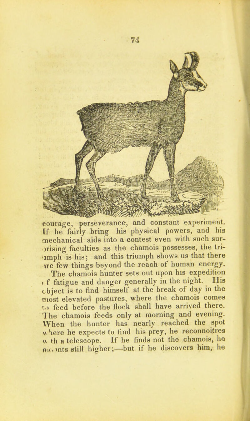 courage, perseverance, and constant experiment, [f he fairly bring his physical powers, and his mechanical aids into a contest even with such sur- prising faculties as the chamois possesses, the tri- 'imph is his; and this triumph shows us that there ire few things beyond the reach of human energy. The chamois hunter sets out upon his expedition i f fatigue and danger generally in the night. His cbject is to find himself at the break of day in the most elevated pastures, where the chamois comes l.) feed before the flock shall have arrived there. The chamois feeds only at morning and evening. When the hunter has nearly reached the spot w here he expects to find his prey, he reconnoitres w. th a telescope. If he finds not the chamois, he nit. mts still higher;—but if he discovers him, he