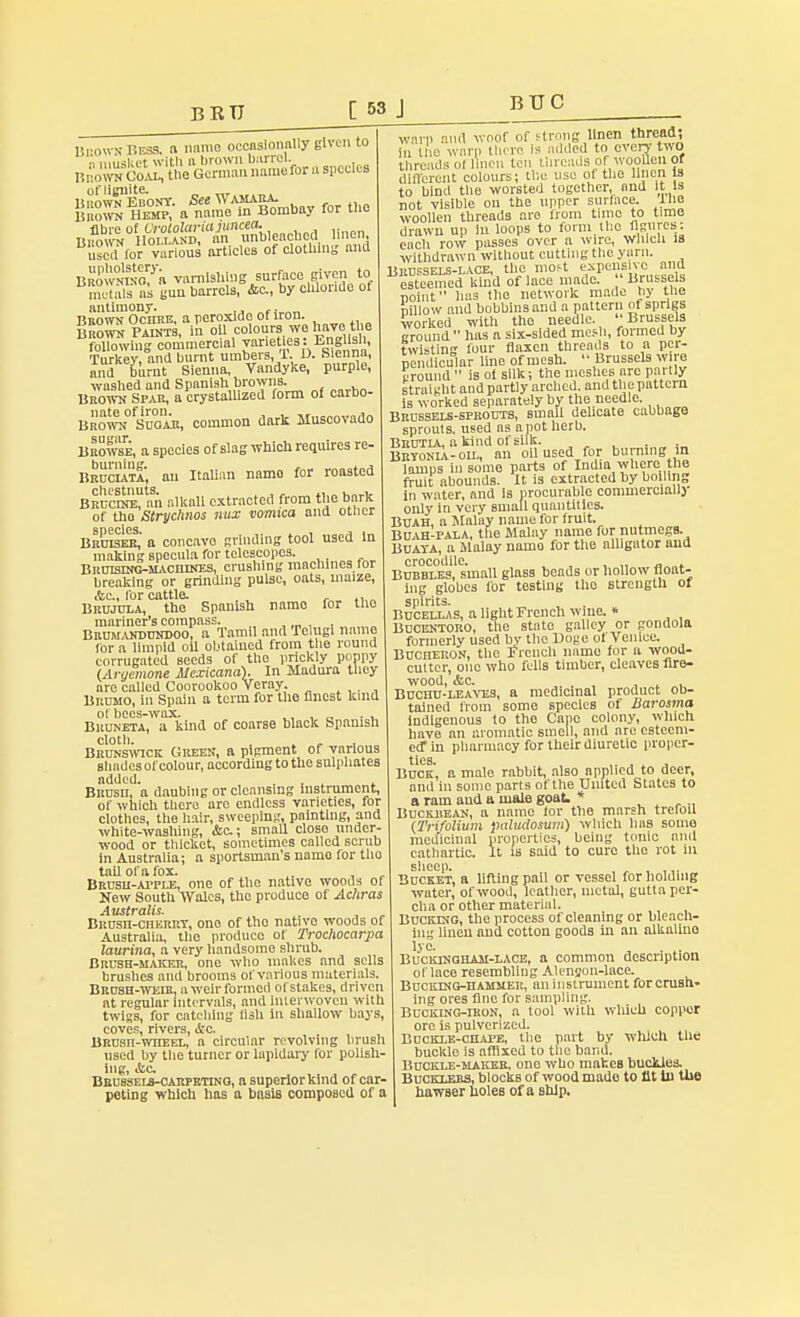 BUC Bnown Bess, a name occasionally given to H^^^-u^Jeibraspccles llSfea^meT^mbayfortho fibre of Crotolariajuncea. Tiiimra Holland, an unbleached linen, use™or various articles of clothing and Browing? a varnishing surface given to metals as gun barrels, &c, by chloride of antimony. »•_,_ Brown Ochre, a peroxide of Iron. bSSwk Paints, in oil colours we haw the following commercial varieties: Enghsh, Turkey, and burnt umbers, i. D. Sienna, and burnt Sienna, Vandyke, purple, washed and Spanish browns. Brown Spar, a Crystallized form of carbo- Bboto Suoak, common dark Muscovado Browse, a species of slag which requires re- BnuciATA, an Italian namo for roasted BRUCiNE?an alkali extracted from the bark of tho Stryclmos mux vomica and other S P 6C1GS Bruiser, a concavo grinding tool used in making specula for telescopes. Bruising-machines, crushing machines tor breaking or grinding pulse, oats, maize, etc., for cattle. . „,„ Brujula, tho Spanish name for tho mariner's compass. .,„,_, Bud-nanddndoo, a Tamil and Tclugi name for a limpid oil obtained from the round corrugated seeds of the prickly poppy (Aruemone Mexicana). In Madura they are called Coorookoo Veray. Brumo, in Spain a term for tho finest kind of bees-wax. ,, , _„ . . Bruneta, a kind of coarse black Spanish cloth. Brunswick Green, a pigment of various shades of colour, according to the sulphates added. . , . Brush, a daubing or cleansing instrument, of which there aro endless varieties, for clothes, the hair, sweeping, painting, and white-washing, &c; small closo under- wood or thicket, sometimes called scrub in Australia; a sportsman's namo for tho tail of a fox. Brush-atple, one of the native woods of New South Wales, the produce of Achras Brush-cherry, ono of tho native woods of Australia, tho produce of Trochocarpa laurina, a very handsome shrub. Brush-maker, one who makes and sells brushes and brooms of various materials. Brush-weir, a weir formed ofstakes, driven at regular intervals, and interwoven with twigs, for catching fish In shallow bays, coves, rivers, &c. BRUsn-wnEEL, a circular revolving brush used by the turner or lapidary for polish- ing, &c Brussels-carpeting, a superior kind of car- peting which has a basis composed of a warn and woof of strong linen thread, in the warp Hide is added to every two threads of linen ten threads of woollen ot differCnt colours; the use of the linen is to bind the worsted together, and it Is not visible on the upper surface, iho woollen threads are from timo to time drawn up lu loops to form ihe figures: each row passes over a wire, which is withdrawn without cutting the yarn. Brussels-lace, the mos-t expensive and esteemed kind of lace made.  Brussels noint has the network made by uie pillow and bobbins and a pattern of sprigs worked with the needle. ''Brussels ground  has a six-sided mesh, formed by twisting four flaxen threads to a per- pendicular line of mesh.  Brussels wire ground  is of silk; the meshes are partly straight and partly arched, and the pattern is worked separately by the needle. Brussels-sprouts, small delicate cabbage sprouts, used as a pot herb, Brutia, a kind of silk. Bryonia-oil, an oil used for burning in lamps in some parts of India where the fruit abounds. It is extracted by boiling in water, and is procurable commercially only in very small quantities. Buah, a Malay name for fruit. Buah-pala, the Malay name for nutmegs. Buaya, a Malay namo for the alligator and crocodile. Bubbles, small glass beads or hollow float- ing globes for testing tho strength ot spirits. Bucellas, a light French wme. * Bucentoro, the state galley or gondola formerly used by the Doge ot Venice. Bucheron, the French name for a wood- cutter, one who fells timber, cleaves fire- wood, &c. . , Buchu-leaves, a medicinal product ob- tained from some species of Barosma indigenous to tho Capo colony, which have an aromatic smell, and are esteem- ed* in pharmacy for their diuretic proper- ties. ,, . . . Buck, a male rabbit, also applied to deer, and in some parts of the United States to a ram and a male goat. * Buckbean, a name tor the marsh trefoil (Trifolium paludosum) which has some medicinal properties, being tonic and cathartic. It is said to cure tho rot in sheep. , , , Bucket, a lifting pail or vessel for holding water, of wood, leather, metal, gutta per- cha or other material. Bucking, the process of cleaning or bleach- ing linen and cotton goods in an alkaline iy°- Buckingham-lace, a common description ot lace resembling Alenson-lace. Bucking-hammer, an instrument for crush- ing ores fine for sampling. Bucking-iron, a tool with which copper ore is pulverized. Buckle-chape, the part by which the buckle is affixed to the band. Buckle-maker, ono who makes buckles. Bucklers, blocks of wood made to lit In the hawser holes of a ship.