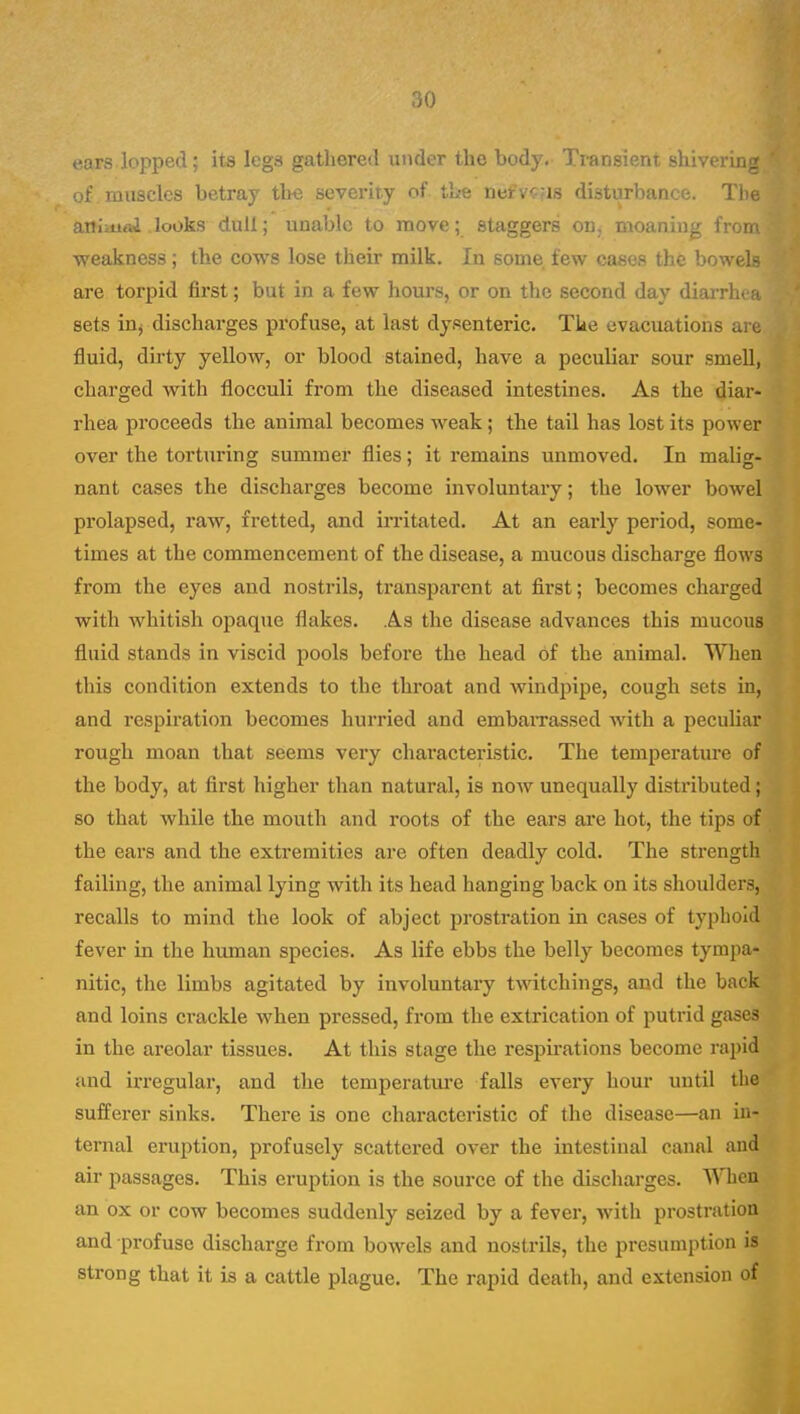 nars lopped; its legs gathered under the body. Transient shivering of muscles betray the severity of tL?e nefvcas disturbance. The aniiual looks dull; unable to move; staggers on. moaning fronn weakness; the cows lose their milk. In some few cases the bowels are torpid first; but in a few hours, or on the second day diarrhea sets inj discharges profuse, at last dyfsenteric. The evacuations are fluid, dirty yellow, or blood stained, have a peculiar sour smell, charged with flocculi from the diseased intestines. As the diar- rhea proceeds the animal becomes weak; the tail has lost its power over the torturing summer flies; it remains unmoved. In malig- nant cases the discharges become involuntary; the lower bowel prolapsed, raw, fretted, and ii-ritated. At an early period, some- times at the commencement of the disease, a mucous discharge flows from the eyes and nostrils, transparent at first; becomes charged with whitish opaque flakes. As the disease advances this mucous fluid stands in viscid pools before the head of the animal. When this condition extends to the throat and windj^ipe, cough sets in, and respiration becomes hurried and embaiTassed with a peculiar rough moan that seems very chai'acteristic. The temperature of the body, at first higher than natural, is now unequally distributed; so that while the mouth and roots of the ears are hot, the tips of the ears and the extremities are often deadly cold. The strength failing, the animal lying with its head hanging back on its shoulders, recalls to mind the look of abject prostration in cases of typhoid fever in the human species. As life ebbs the belly becomes tympa- nitic, the limbs agitated by involuntary twitchings, and the back and loins crackle when pressed, from the extrication of putrid gases in the areolar tissues. At this stage the respu-ations become rapid and irregular, and the temperatiu-e falls every hour until the sufferer sinks. There is one characteristic of the disease—an in- ternal eruption, profusely scattered over the intestinal canal and air passages. This eruption is the source of the discharges. When an ox or cow becomes suddenly seized by a fever, with prostration and profuse discharge from bowels and nostrils, the presumption is strong that it is a cattle plague. The rapid death, and extension of