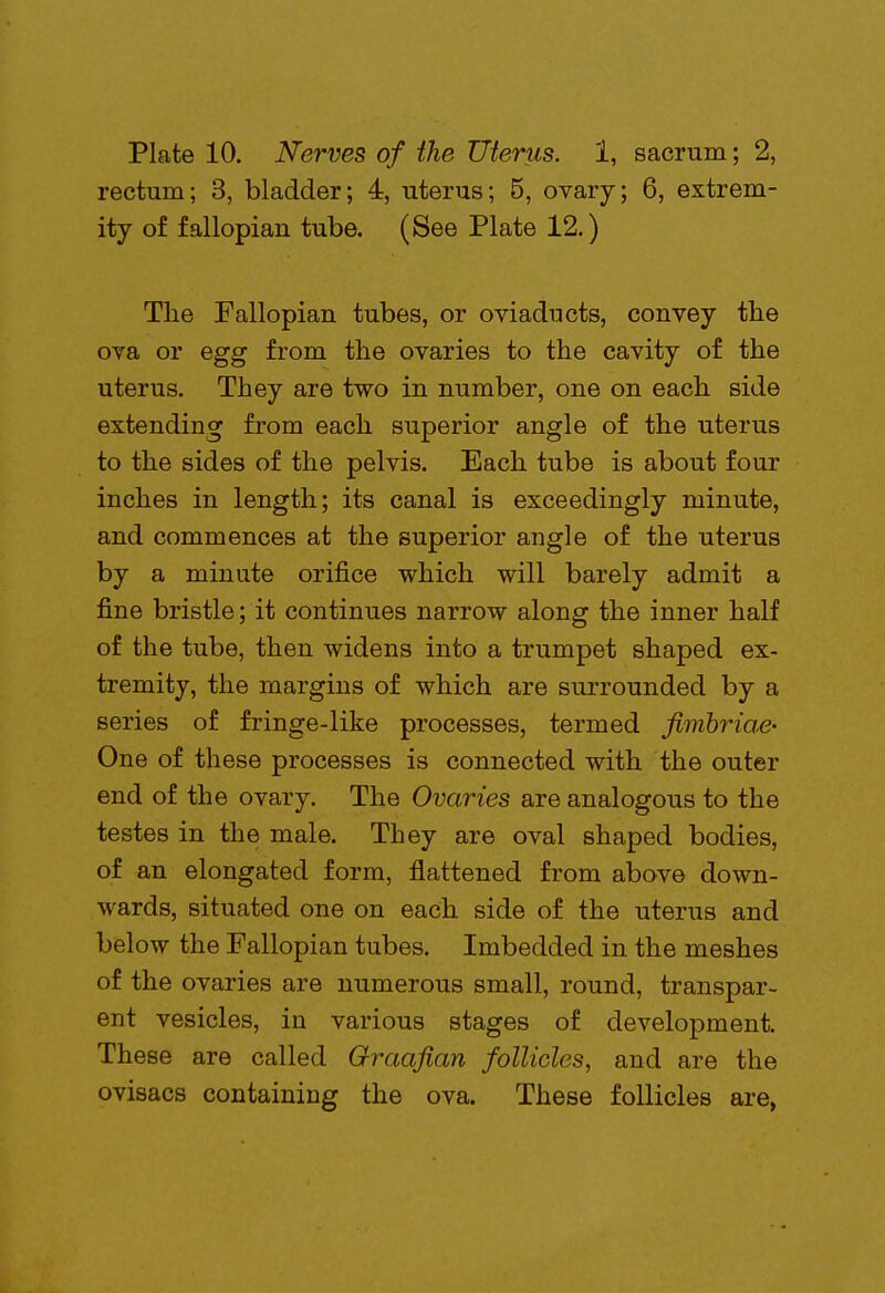 rectum; 3, bladder; 4, uterus; 5, ovary; 6, extrem- ity of fallopian tube. (See Plate 12.) The Fallopian tubes, or oviaducts, convey the ova or egg from the ovaries to the cavity of the uterus. They are two in number, one on each side extending from each superior angle of the uterus to the sides of the pelvis. Each tube is about four inches in length; its canal is exceedingly minute, and commences at the superior angle of the uterus by a minute orifice which will barely admit a fine bristle; it continues narrow along the inner half of the tube, then widens into a trumpet shaped ex- tremity, the margins of which are surrounded by a series of fringe-like processes, termed fimbriae- One of these processes is connected with the outer end of the ovary. The Ovaries are analogous to the testes in the male. They are oval shaped bodies, of an elongated form, flattened from above down- wards, situated one on each side of the uterus and below the Fallopian tubes. Imbedded in the meshes of the ovaries are numerous small, round, transpar- ent vesicles, in various stages of development. These are called Graafian follicles, and are the ovisacs containing the ova. These follicles are,