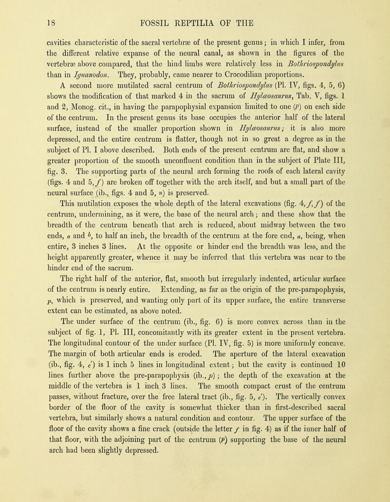 cavities characteristic of the sacral vertebrae of the present genus; in which I infer, from the different relative expanse of the neural canal, as shown in the figures of the vertebrae above compared, that the hind Kmbs were relatively less in Bothriospondylm than in Iguanodon. They, probably, came nearer to Crocodilian proportions. A second more mutilated sacral centrum of Bothriospondylus (PI. IV, figs. 4, 5, 6) shows the modification of that marked 4 in the sacrum of Hylaosaurus, Tab. V, figs. 1 and 2, Monog. cit., in having the parapophysial expansion limited to one {P) on each side of the centrum. In the present genus its base occupies the anterior half of the lateral surface, instead of the smaller proportion shown in Hylceosaurus; it is also more depressed, and the entire centrum is flatter, though not in so great a degree as in the subject of PI. I above described. Both ends of the present centrum are flat, and show a greater proportion of the smooth unconfluent condition than in the subject of Plate III, fig. 3. The supporting parts of the neural arch forming the roofs of each lateral cavity (figs. 4 and 5,/) are broken ofi together with the arch itself, and but a small part of the neural surface (ib., figs. 4 and 5, n) is preserved. This mutilation exposes the whole depth of the lateral excavations (fig. 4f,f,f) of the centrum, undermining, as it were, the base of the neural arch; and these show that the breadth of the centrum beneath that arch is reduced, about midway between the two ends, a and 6, to half an inch, the breadth of the centrum at the fore end, «, being, when entire, 3 inches 3 lines. At the opposite or hinder end the breadth was less, and the height apparently greater, whence it may be inferred that this vertebra was near to the hinder end of the sacrum. The right half of the anterior, flat, smooth but irregularly indented, articular surface of the centrum is nearly entire. Extending, as far as the origin of the pre-parapophysis, p, which is preserved, and wanting only part of its upper surface, the entire transverse extent can be estimated, as above noted. The under surface of the centrum (ib., fig. 6) is more convex across than in the subject of fig. 1, PI. Ill, concomitantly with its greater extent in the present vertebra. The longitudinal contour of the under surface (PI. IV, fig. 5) is more uniformly concave. The margin of both articular ends is eroded. The aperture of the lateral excavation (ib., fig. 4, c') is 1 inch 5 lines in longitudinal extent; but the cavity is continued 10 lines further above the pre-parapophysis (ib.,jK)) ; the depth of the excavation at the middle of the vertebra is 1 inch 3 lines. The smooth compact crust of the centrum passes, without fracture, over the free lateral tract (ib., fig. 5, c). The vertically convex border of the floor of the cavity is somewhat thicker than in first-described sacral vertebra, but similarly shows a natural condition and contour. The upper surface of the floor of the cavity shows a fine crack (outside the letter / in fig. 4) as if the inner half of that floor, with the adjoining part of the centrum (f) supporting the base of the neural arch had been slightly depressed.
