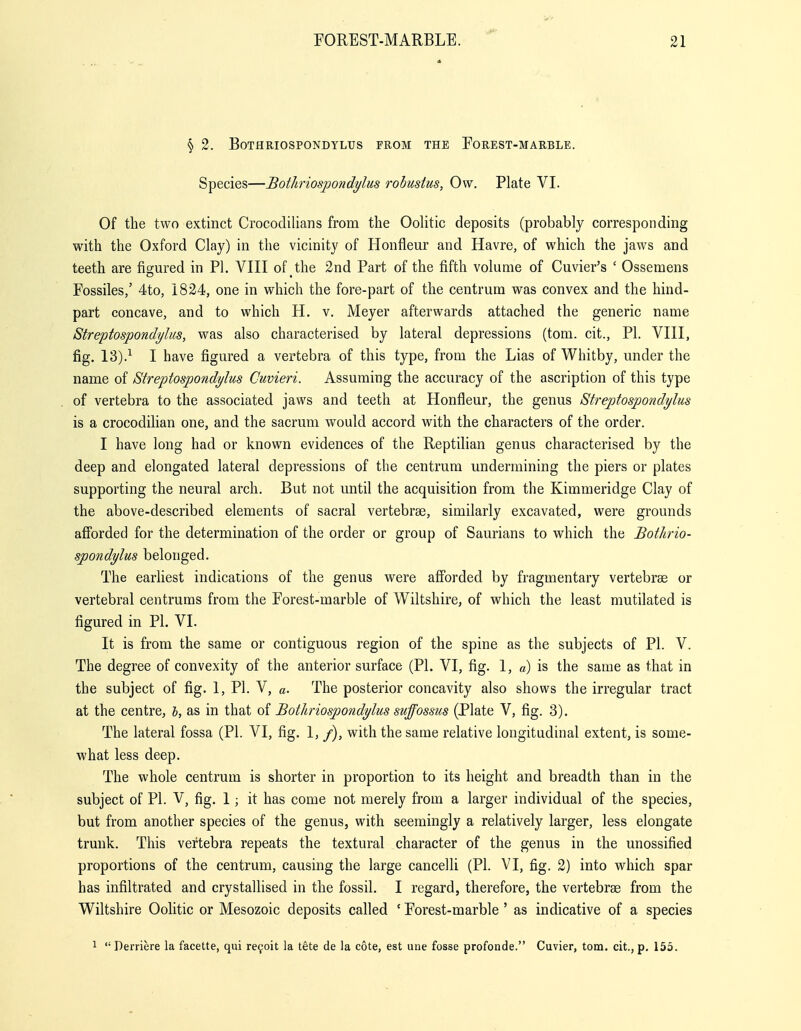 § 2. BOTHRIOSPONDYLUS FROM THE POREST-MARBLE. Species—Bothriospondylus robustus, Ow. Plate VL Of the two extinct Crocodilians from the Oolitic deposits (probably corresponding with the Oxford Clay) in the vicinity of Honfleur and Havre, of which the jaws and teeth are figured in PI. VIII of the 2nd Part of the fifth volume of Cuvier's ' Ossemens Possiles/ 4to, 1824, one in which the fore-part of the centrum was convex and the hind- part concave, and to which H. v. Meyer afterwards attached the generic name Streptospondylus, was also characterised by lateral depressions (tom. cit., PL VIII, fig. 13).^ I have figured a vertebra of this type, from the Lias of Whitby, under the name of Streptospondylus Cuvieri. Assuming the accuracy of the ascription of this type of vertebra to the associated jaws and teeth at Honfleur, the genus Streptospondylus is a crocodilian one, and the sacrum would accord with the characters of the order. I have long had or known evidences of the Reptilian genus characterised by the deep and elongated lateral depressions of the centrum undermining the piers or plates supporting the neural arch. But not until the acquisition from the Kimmeridge Clay of the above-described elements of sacral vertebrse, similarly excavated, were grounds afforded for the determination of the order or group of Saurians to which the Bothrio- spondylus belonged. The earliest indications of the genus were afforded by fragmentary vertebras or vertebral centrums from the Porest-marble of Wiltshire, of which the least mutilated is figured in PI, VI. It is from the same or contiguous region of the spine as the subjects of PL V. The degree of convexity of the anterior surface (PL VI, fig. 1, a) is the same as that in the subject of fig. 1, PL V, a. The posterior concavity also shows the irregular tract at the centre, l, as in that of Bothriospondylus suffossus (Plate V, fig. 3). The lateral fossa (PL VI, fig. 1, /), with the same relative longitudinal extent, is some- what less deep. The whole centrum is shorter in proportion to its height and breadth than in the subject of PL V, fig. 1; it has come not merely from a larger individual of the species, but from another species of the genus, with seemingly a relatively larger, less elongate trunk. This vertebra repeats the textural character of the genus in the unossified proportions of the centrum, causing the large cancelli (PL VI, fig. 2) into which spar has infiltrated and crystallised in the fossil. I regard, therefore, the vertebrae from the Wiltshire Oolitic or Mesozoic deposits called ' Eorest-marble ' as indicative of a species 1  Derriere la facette, qui re9oit la tete de la cote, est une fosse profonde. Cuvier, tom. cit., p. 155.