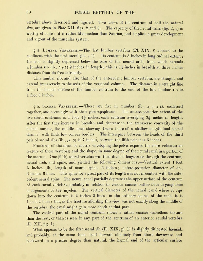 vertebra above described and figured. Two views of the centrum, of half the natural size, are given in Plate XII, figs. 2 and 3. The capacity of the neural canal (fig. 2, «) is- worthy of note; it is rather Mammalian than Saurian, and implies a great development and vigour of the muscular system. § 4. Lumbar Vertebra.—^The last lumbar vertebra (PI. XIX, I) appears to be confluent with the first sacral (ib., si). Its centrum is 3 inches in longitudinal extent;. the side is slightly depressed below the base of the neural arch, from which extends a lumbar rib (ib., I, p l) 9 inches in length; this is inches in breadth at three inches- distance from its free extremity. This lumbar rib, and also that of the antecedent lumbar vertebra, are straight and extend transversely to the axis of the vertebral column. The distance in a straight line from the hseraal surface of the lumbar centrum to the end of the last lumbar rib is. 1 foot 3 inches. § 5. Sacral Vertebrae.—These are five in number (ib., « i—s 5), coalesced together, and seemingly with their pleurapophyses. The antero-posterior extent of the five sacral centrums is 1 foot 4^ inches, each centrum averaging 3^ inches in length. After the first they increase in breadth and decrease in the transverse convexity of the haemal surface, the middle ones showing traces there of a shallow longitudinal hsemal channel with thick low convex borders. The interspace between the heads of the third pair of sacral ribs (ib., pi. 3) is 7 inches, between the fifth pair it is 6 inches. Practures of the mass of matrix enveloping the pelvis exposed the close cetiosaurian texture of these vertebrae and the shape, in some degree, of the neural canal in a portion of the sacrum. One (fifth) sacral vertebra was thus divided lengthwise through the centrum, neural arch, and spine, and yielded the following dimensions:—Vertical extent 1 foot 5 inches; ib., length of neural spine, 6 inches; antero-posterior diameter of do., 3 inches 6 lines. This spine for a great part of its length was not in contact with the ante- . cedent neural spine. The neural canal partially depresses the upper surface of the centrum of each sacral vertebra, probably in relation to venous sinuses rather than to ganglionic enlargements of the myelon. The vertical diameter of the neural canal where it dips down into the centrum is 2 inches 3 lines; in the ordinary course of the canal, it is 1 inch 2 lines : but, as the fracture affording this view was not exactly along the middle of the vertebra, the canal might gain more depth at that part. The central part of the sacral centrum shows a rather coarser cancellous texture than the rest, or than is seen in any part of the centrum of an anterior caudal vertebra (PI. XII, fig. 1). What appears to be the first sacral rib (PI. XIX, pi. 1) is slightly dislocated hsemad,, and probably, at the same time, bent forward obhquely from above downward and backward in a greater degree than natural, the haemal end of the articular surface-