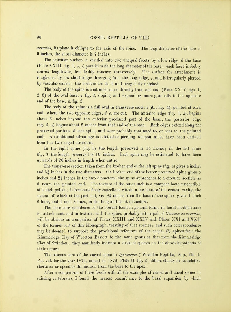 armatus, its plane is oblique to the axis of the spine. The long diameter of the base is 9 inches, the short diameter is 7 inches. The articular surface is divided into two unequal facets by a low ridge of the base (Plate XXIII, fig. 1, r, r) parallel with the long diameter of the base; each facet is feebly convex lengthwise, less feebly concave transversely. The surface for attachment is roughened by low short ridges diverging from the long ridge, r, and is irregularly pierced by vascular canals; the borders are thick and irregularly notched. The body of the spine is continued more directly from one end (Plate XXIV, figs. 1, 2, 3) of the oval base, a, fig. 2, sloping and expanding more gradually to the opposite end of the base, b, fig. 2. The body of the spine is a full oval in transverse section (ib., fig. 4), pointed at each end, where the two opposite edges, d, e, are cut. The anterior edge (fig. \, d), begins about 6 inches beyond the anterior produced part of the base; the posterior edge (fig. 3, e) begins about 2 inches from that end of the base. Both edges extend along the preserved portions of each spine, and were probably continued to, or near to, the pointed end. An additional advantage as a lethal or piercing weapon must have been derived from this two-edged structure. In the right spine (fig. 1) the length preserved is 14 inches; in the left spine (fig. 3) the length preserved is 10 inches. Each spine may be estimated to have been upwards of 20 inches in length when entire. The transverse section taken from the broken end of the left spine (fig. 4) gives 4 inches and 3^ inches in the two diameters : the broken end of the better preserved spine gives 3 inches and 2f inches in the two diameters; the spine approaches to a circular section as it nears the pointed end. The texture of the outer inch is a compact bone susceptible of a high polish ; it becomes finely cancellous within a few lines of the central cavity, the section of which at the part cut, viz. %\ inches from the base of the spine, gives 1 inch 6 lines, and 1 inch 3 lines, in the long and short diameters. The close correspondence of the present fossil in general form, in basal modifications for attachment, and in texture, with the spine, probably left carpal, of Omosaurus armatus, will be obvious on comparison of Plates XXIII and XXIV with Plates XXI and XXII of the former part of this Monograph, treating of that species; and such correspondence may be deemed to support the provisional reference of the carpal (?) spines from the Kimmeridge Clay of V7ootton Bassett to the same genus as that from the Kimmeridge Clay of Swindon ; they manifestly indicate a distinct species on the above hj'pothesis of their nature. The osseous core of the carpal spine in Iguanodon (' Wealden Ueptilia,' Sup., No. 4, Pal. vol. for the year 1871, issued in 1872, Plate II, fig. 2) differs chiefly in its relative shortness or speedier diminution from the base to the apex. After a comparison of these fossils with all the examples of carpal and tarsal spines in existing vertebrates, I found the nearest resemblance to the basal expansion, by which