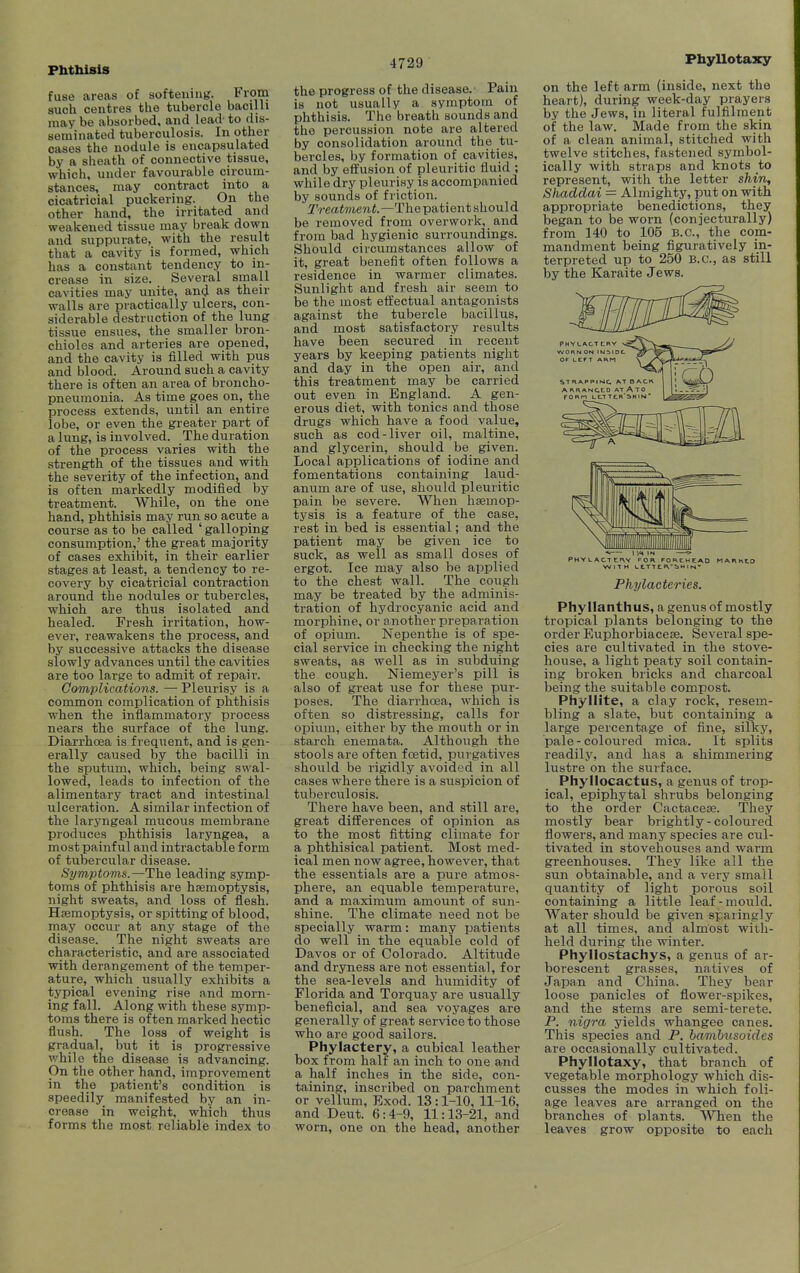Phthisis fuse areas of aofteniug. ^rom such centres the tubercle bacilli may be absorbed, and lead- to dis- seminated tuberculosis. In other oases the nodule is encapsulated by a sheath of connective tissue, which, under favourable circum- stances, may contract into a cicatricial puckering. On the other hand, the irritated and weakened tissue may break down and suppurate, with the result that a cavity is formed, which has a constant tendency to in- crease in size. Several small cavities may unite, and as their walls are practically ulcers, con- siderable destruction of the lung tissue ensues, the smaller bron- chioles and arteries are opened, and the cavity is filled with pus and blood. Around such a cavity there is often an area of broncho- pneumonia. As time goes on, the process extends, until an entire lobe, or even the greater part of a lung, is involved. The duration of the process varies with the strength of the tissues and with the severity of the infection, and is often markedly modified by treatment. While, on the one hand, phthisis may run so acute a course as to be called ' galloping consumption,' the great majority of cases exhibit, in their earlier stages at least, a tendency to re- covery by cicatricial contraction around the nodules or tubercles, which are thus isolated and healed. Fresh irritation, how- ever, reawakens the process, and by successive attacks the disease slowly advances until the cavities are too large to admit of repair. Complications. — Pleurisy is a common complication of phthisis when the inflammatory process nears the surface of the lung. Diarrhoea is frequent, and is gen- erally caused by the bacilli in the sputum, which, being swal- lowed, leads to infection of the alimentary tract and intestinal ulceration. A similar infection of the laryngeal mucous membrane produces phthisis laryngea, a most painful and intractable form of tubercular disease. Symptoms.—IhQ leading symp- toms of phthisis are haemoptysis, night sweats, and loss of flesh. Hsemoptysis, or spitting of blood, may occur at any stage of the disease. The night sweats are characteristic, and are associated with derangement of the temper- ature, which usually exhibits a typical evening rise and morn- ing fall. Along with these symp- toms there is often marked hectic flush. The loss of weight is gradual, but it is progressive while the disease is advancing. On the other hand, improvement in the patient's condition is speedily manifested by an in- crease in weight, which thus forms the most reliable index to 4729 the progress of the disease. Pain is not usually a symptom of phthisis. The breath sounds and the percussion note are altered by consolidation around the tu- bercles, by formation of cavities, and by effusion of pleuritic fluid ; while dry pleurisy is accompanied by sounds of friction. 7'reai7/ten<.—The patient should be removed from overwork, and from bad hygienic surroundings. Should circumstances allow of it, great benefit often follows a residence in warmer climates. Sunlight and fresh air seem to be the most effectual antagonists against the tubercle bacillus, and most satisfactory results have been secured in recent years by keeping patients night and day in the open air, and this treatment may be carried out even in England. A gen- erous diet, with tonics and those drugs which have a food value, such as cod-liver oil, maltine, and glycerin, should be given. Local applications of iodine and fomentations containing laud- anum are of use, should pleuritic pain be severe. When hsemop- tysis is a feature of the case, rest in bed is essential; and the patient may be given ice to suck, as well as small doses of ergot. Ice may also be applied to the chest wall. The cough may be treated by the adminis- tration of hydrocyanic acid and morphine, or another preparation of opium. Nepenthe is of spe- cial service in checking the night sweats, as well as in subduing the cough. Niemeyer's pill is also of great use for these pur- poses. The diarrhoea, which is often so distressing, calls for opium, either by the mouth or in starch enemata. Although the stools are often fcetid, purgatives should be rigidly avoided in all cases where there is a suspicion of tuberculosis. There have been, and still are, great differences of opinion as to the most fitting climate for a phthisical patient. Most med- ical men now agree, however, that the essentials are a pure atmos- phere, an equable temperature, and a maximum amount of sun- shine. The climate need not be specially warm: many patients do well in the equable cold of Davos or of Colorado. Altitude and dryness are not essential, for the sea-levels and humidity of Florida and Torquay are usually beneficial, and sea voyages are generally of great service to those who are good sailors. Phylactery, a cubical leather box from half an inch to one and a half inches in the side, con- taining, inscribed on parchment or vellum, Exod. 13:1-10, 11-16, and Deut. 6:4-9, 11:13-21, and worn, one on the head, another Phyllotaicy on the left arm (inside, next the heart), during week-day prayers by the Jews, in literal fulfilment of the law. Made from the skin of a clean animal, stitched with twelve stitches, fastened symbol- ically with straps and knots to represent, with the letter shin, Shaddai = Almighty, put on with appropriate benedictions, they began to be worn (conjecturally) from 140 to 105 B.C., the com- mandment being figuratively in- terpreted up to 250 B.C., as still by the Karaite Jews. PHYLACT tHY WORN ON STRAPPIWC. AT BACK AKnANCCD AT ATO FO«n LCTTCR'SMIN* Phylacteries. Phyllanthus, a genus of mostly tropical plants belonging to the order Euphorbiacese. Several spe- cies are cultivated in the stove- house, a light peaty soil contain- ing broken bricks and charcoal being the suitable compost. Phyllite, a clay rock, resem- bling a slate, but containing a large percentage of fine, silky, pale - coloured mica. It splits readily, and lias a shimmering lustre on the surface. Phyllocactus, a genus of trop- ical, epiphytal shrubs belonging to the order Cactacese. They mostly bear brightly-coloured flowers, and many species are cul- tivated in stovehouses and warm greenhouses. They like all the sun obtainable, and a very small quantity of light porous soil containing a little leaf-mould. Water should be given sparingly at all times, and almost with- held during the winter. Phyllostachys, a genus of ar- borescent grasses, natives of Japan and China. They bear loose panicles of flower-spikes, and the stems are semi-terete. P. nigra yields whangee canes. This species and P. bambusoides are occasionally cultivated. Phyllotaxy, that branch of vegetable morphology which dis- cusses the modes in which foli- age leaves are arranged on the branches of plants. When the leaves grow opposite to each