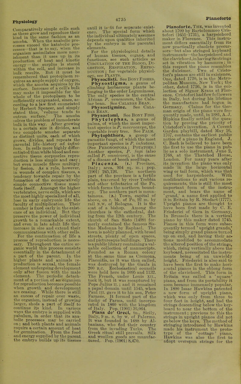 Comparatively simple cells such as these grow and reproduce their kind in the same fashion as an amceba. When the anabolic pro- C3sses exceed the katabolic pro- cesses—that is to say, when the organism assimilates more nour- ishment than it uses up in its production of heat and kinetic energy — tlie surplus is stored within the cell, and increase in bulk results. But it must be remembered that protoplasm re- quires an ample supply of oxygen, which the amoeba acquires by its surface. Increase of a cell's bulk may make it impossible for the whole of the protoplasm to be suflaciently oxygenated, since, ac- cording to a law first enunciated by Herbert Spencer, and simply stated thus, 'volume tends to outrun siirface.' The amoeba solves the problem of immoderate bulk in this way. After growing to a certain size it divides, and two complete aracebse separate as distinct units, each of which grows, divides, and repeats the parental life-history ad infini- tum. In cells more highly differ- entiated than white blood and con- nective tissue corpuscles repro- duction is less simple and easy; but even muscle fibres multiply by fission. As a rule, however, in wounds of complex tissues, a tendency towards repair by the formation of the comparatively simple connective tissue mani- fests itself. Amongst the higher vertebrates, nerve cells, which are the most highly specialized of all, lose in early embryonic life the faculty of multiplication. Their number is fixed early in the exist- ence of an individual. But they preserve the power of individual growth to a remarkable extent, and even in late adult life they increase in yize and extend their communications with other cells. For the continuation of life a process of reproduction is neces- sary. Throughout the entire or- ganic world this process consists essentially in the detachment of a part of the parent. In the higher plants and animals re- production IS sexual, the female element undergoing development only after fusion with the male element. The periodic detach- ment of a portion of an organism for reproduction becomes possible when growth and development are ceasing. While there is still an excess of repair over waste, the organism, instead of growing larger, sheds a part of itself to continue its kind. In various ways the embryo is supplied with pabulum, in order that its ana- bolic processes may be carried on; and both plants and animals require a certain amount of heat for germination. From the food and energy supplied by the parent the embryo bxrilds up its tissues 4735 until it is fit for separate exist- enc3. The special form which the individual ultimately assumes depends upon qualities inherited by the embryo in the parental elements. For the physiological details of human tissues, oigans, and functions, see such articles as Circulation of the Blood, Di- gestion, Respiration, Repro- duction ; for vegetable physiol- ogy, see Plants. Physoclisti. See Bony Fishes. Physostigma, a genus of climbing herbaceous plants be- longing to the order Leguminosse. The only species is the central African P. venenosum, the Cala- bar bean. See Calabar Bean. Physostigmine. See Cala- bar Bean. Physostomi. See Bony Fish. Phytelephas, a genus of palms, of which the most impor- tant species is P. macrocarpa, the vegetable ivory tree. See Palm. Phytophthora, a group of parasitic fungi, of which the most important species is P. infestans. (See Peronospora; Potatoes.) Another species, P. fagi (also called P. omnivora), is the cause of a disease of beech seedlings. Piacenza. (i.) Province, Italy; area, 954 sq. m. ; pop. (1901) 245,126. The northern part of the province is a fertile plain, traversed by river Trebbia and other tributaries of the Po, which forms the northern bound- ary. The southern part is moun- tainous. (2.) Town, capital of above, on r. bk. of Po, 92 m. by rail N.W. of Bologna. It is the S3at of a bishop. Among the churches is the cathedral, dat- ing from the 12th century. The church of San Sisto (1499) for- merly contained the famous Sis- tine Madonna by Raphael. The town is nobly planned, with broad streets, plenty of open spaces, and pictviresque buildings. There is a public library con taining a val- uable collection of manuscripts. Founded as a Roman colony at the same time as Cremona, Placentia, as it was then called, was destroyed by the Gauls in 200 B.C. Ecclesiastical councils were held here in 1095 and 1132. The French, under Louis xii., took it, but it was recaptured by Pope Julius II.; and it remained a papal domain until 1545, when Paul III. gave it to his son, Peter Farnese. It formed part of the duchy of Parma, until incorpo- rated in 1860 with the kingdom of Italy. Pop. (1901) 36,064. Piana de' Qreci, tn., Sicily, Italy, 9 m. S. by w. of Palermo. It was founded in 1488 by Al- banians, who fled their country from the invading Turks. The Greek ritual still prevails. Silk and woollen goods are manufac- tured. Pop. (1901) 8,470. Pianoforte Pianoforte, The, was invented about 1709 by Bartolommeo Oris- tofori (1651-1731), a harpsichord maker in Florence. This instru- ment difl'ers essentially from its now practically obsolete precur- sors—but also stringed keyboard instruments—the harpsichord and the c]avichord,inhavingjts strings set in vibration by hammers; in this respect the piano resembles the dulcimer. Two of Cristo- f ori's pianos are still in existence. One, dated 1720, is in the Metro- politan Museum, New York; the other, dated 1726, is in the col- lection of Signor Kraus at Flor- ence. Cristof ori hadf ew followers in Italy, but during his lifetiine the manufacture had begun in Germany. Claims for the Ger- man origin of the piano v/ere fre- quently made, until, in 1881, A. J. Hipkins finally settled the ques- tion by proving the priority cf Cristofori's invention. A Covent Gjirden playbill, dated May 16, 1767, contains the earliest public notice of a piano in England. J. C. Bach is believed to have been the first to use the piano in pub- lic as a solo instrument, June 2, 1768, at the Thatched House, London. For many years after its invention the piano was only made in the large horizontal wing or tail form, which was that used for harpsichords. With modifications to suit various re- quirements, this is still the most important form of the instru- ment, and bears the name of 'grand,' a name first applied to it in Britain by R. Stodart (1777). Upright pianos are thought to have been first made by C. E. Friederici of Gera in Germany. In Brussels there is a vertical piano by this maker dated 1745. Pianos in this form were subse- quently termed ' upright grands,' being simply grand pianos turned up on end, and having their ac« tions modified to accommodate the altered position of the strings, which, rising vertically above the keyboard, necessitated the instru- ments being of an unwieldy height. Friederici is also said to have been the first to make hori- zontal pianos in the oblong form of the clavichord. This form in Britain was called a 'square' piano, and from its portability it soon became immensely popular. In 1800 Isaac Hawkins patented a new form of upright piano, which was only from three to four feet in height, and had the strings descending below the key- board to near the bottom of the instrument; previous to this the strings in upright pianos did not go below the keys. The method of stringing introduced by Hawkins made his instrument the proto- type of the ' cottage' piano. Hawkins was also the first to adopt overspun strings for the