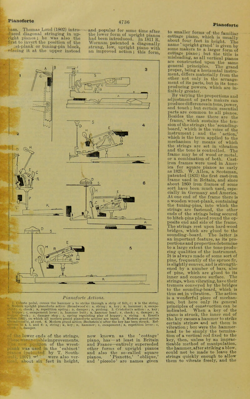 Pianoforte buss. Thomas Loud (1802) iiitro- uced diagonal stiintring in up- ght pianos ; lie was also the first to invert the position of the jst-plaiik or tuning-pin block, litcing it at the upper instead 473G and popular for some time after tlie lower form of upright pianos had been introduced. In 1811 11. Wornum patented a diagonally strung, low upriglit piano with au improved action ; this form Pianoforte Actions. teste pedal, causes the hammer a to strike through a strip of felt, c; B is the string, ■rti upright piauoforte action (Broadwood's); s, string; k, liey; h, hammer; E, escape- c, check; R, repetition spring; n, damper; p, prolong. 3. Cristofori's action: A. key; :-'«r: c, escapement lever; d, hammer butt; E, hammer head ; F, check; a, damper; h, li'ck; J, damper stop; l, spring regulating play of hopper; s, string. 4. Erard's I , on which all modern grand pianoforte actions are based. 5. Modem grand action ~ I, at rest. 6. Modern grand action (Bechstein's) after the key has been struck. Ref- I, 5, and 6: s, string; K, key; h, hammer; e, escapement; R, repetition lever; c, lamper. lower ends of the strings, -■^r^-n- '...•(bleimprovements. tion of the wrest- 14 w.w.di in the 'cabinet' ^^d by T. South- / I ■•'  were also ver- about six feet in height. now known as the ' cottage' piano, has — at least in Britain and France—entirely superseded other forms of upright pianos and also the so-called square pianos. 'Pianette,' 'oblique,' and ' piccolo' are names given Pianoforte to smaller forms of the familiar cottage piano, which is usually about four feet in height. The name * upright grand' is given by some makers to a larger form of cottage piano; but the title is misleading, as all vertical pianos are constructed upon the same general principles. The grand proper, being a horizontal instru- ment, differs materially from the other not only in the arrange- ment of its parts, but in its tone- producing powers, which are in- finitely greater. By varying the proportions and adjustment of parts makers can produce ditt'erencesin tone, power, and touch ; but certain essential parts are common to all pianos. Besides the case there are the 'frame,' which sustains the ten- sion of the strings; tJie 'sounding- board,' which is the voice of the instrument ; and the ' action,' which is the term applied to the mechanism by means of which the strings are set in vibration and the tone is controlled. The frame may be of wood or metal, or a combination of both. Cast- iron frames were used in Amer- ica for square pianos as early as 1825. W. Allen, a Scotsman, patented (1831) the first cast-iron frame used in Britain, and since about 1860 iron frames of some sort have been much used, espe- cially in Germany and America. At one end of the frame there is a wooden wrest-plank, containing the tuning-pins, into which the strings are fastened, the other ends of the strings being secured to hitch-pins placed round the op- posite end and side of the frame. The strings rest upon hard-wood bridges, which are glued to the sounding-board. The latter is an important feature, as its pro- portions and properties determine to a large extent the tone-produ- cing qualities of the instrument. It is always made of some sort of pine, frequently of the spruce fir, is slightly convex, and is strength- ened by a number of bars, also of pine, which are glued to its inner and concave surface. The strings, when vibrating, ha ve their tremors conveyed by the bridges to the sounding-board, which is thus set in vibration. The action is a wonderful piece of mechan- ism, but here only its general principles of construction can be indicated. When a key of the piano is struck, the inner end of the key causes a hammer to strike certain strinurs and set them in vibration ; but were the hammer- head to be simply the termina- tion of a vertical rod fixed to the key, then, unless by an imprac- ticable method of manipulation, the hammer, after striking a blow, could not be made to leave the strings quickly enough to allow them to vibrate freely, and the