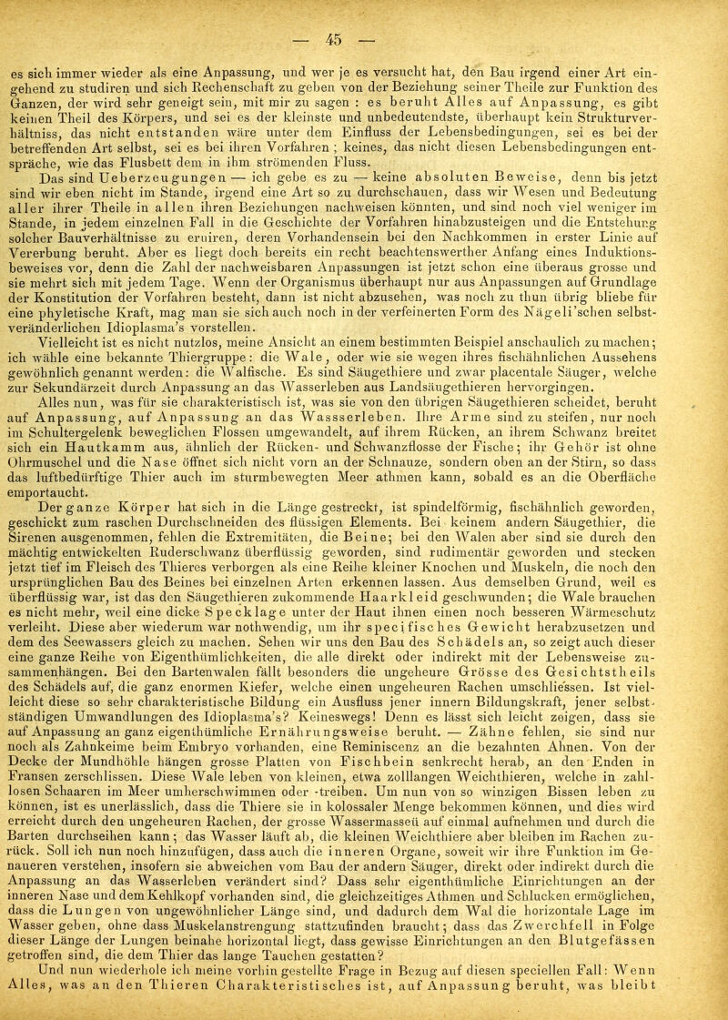 es sich immer wieder als eine Anpassung, und wer je es versucht hat, den Bau irgend einer Art ein- gehend zu studiren und sich Rechenschaft zu geben von der Beziehung seiner Theile zur Funktion des Ganzen, der wird sehr geneigt sein, mit mir zu sagen : es beruht Alles auf Anpassung, es gibt keinen Theil des Körpers, und sei es der kleinste und unbedeutendste, überhaupt kein Strukturver- hältniss, das nicht entstanden wäre unter dem Einfluss der Lebensbedingungen, sei es bei der betreffenden Art selbst, sei es bei ihren Vorfahren ; keines, das nicht diesen Lebensbedingungen ent- spräche, wie das Flusbett dem in ihm strömenden Fluss. Das sind Ueberzeugungen — ich gebe es zu — keine absoluten Beweise, denn bis jetzt sind wir eben nicht im Stande, irgend eine Art so zu durchschauen, dass wir Wesen und Bedeutung aller ihrer Theile in allen ihren Beziehungen nachweisen könnten, und sind noch viel weniger im Stande, in jedem einzelnen Fall in die Geschichte der Vorfahren hinabzusteigen und die Entstehung solcher Bauverhältnisse zu eruiren, deren Vorhandensein bei den Nachkommen in erster Linie auf Vererbung beruht. Aber es liegt doch bereits ein recht beachtenswerther Anfang eines Induktions- beweises vor, denn die Zahl der nachweisbaren Anpassungen ist jetzt schon eine überaus grosse und sie mehrt sich mit jedem Tage. Wenn der Organismus überhaupt nur aus Anpassungen auf Grundlage der Konstitution der Vorfahren besteht, dann ist nicht abzusehen, was noch zu thun übrig bliebe für eine phyletische Kraft, mag man sie sich auch noch in der verfeinerten Form des Nägeli'schen selbst- verändevlichen Idioplasma's vorstellen. Vielleicht ist es nicht nutzlos, meine Ansicht an einem bestimmten Beispiel anschaulich zu machen; ich wähle eine bekannte Thiergruppe: die Wale, oder wie sie wegen ihres fischähnlichen Aussehens gewöhnlich genannt werden: die Walfische. Es sind Säugethiere und zwar placentale Säuger, welche zur Sekundärzeit durch Anpassung an das Wasserleben aus Landsäugethieren hervorgingen. Alles nun, was für sie charakteristisch ist, was sie von den übrigen Säugethieren scheidet, beruht auf Anpassung, auf Anpassung an das Wassserleben. Ihre Arme sind zu steifen, nur noch im Schultergelenk beweglichen Flossen umgewandelt, auf ihrem Rücken, an ihrem Schwanz breitet sich ein Hautkamm aus, ähnlich der Rücken- und Schwanzflosse der Fische; ihr Gehör ist ohne Ohrmuschel und die Nase öffnet sich nicht vorn an der Schnauze, sondern oben an der Stirn, so dass das luftbedürftige Thier auch im sturmbewegten Meer athmen kann, sobald es an die Oberfläche emportaucht. Der ganze Körper hat sich in die Länge gestreckt, ist spindelförmig, fischähnlich geworden, geschickt zum raschen Durchschneiden des flüssigen Elements. Bei keinem andern Säugethier, die Sirenen ausgenommen, fehlen die Extremitäten, die Beine; bei den Walen aber sind sie durch den mächtig entwickelten Ruderschwanz überflüssig geworden, sind rudimentär geworden und stecken jetzt tief im Fleisch des Thieres verborgen als eine Reihe kleiner Knochen und Muskeln, die noch den ursprünglichen Bau des Beines bei einzelnen Arten erkennen lassen. Aus demselben Grund, weil es überflüssig war, ist das den Säugethieren zukommende Haarkleid geschwunden; die Wale brauchen es nicht mehr, weil eine dicke Specklage unter der Haut ihnen einen noch besseren Wärmeschutz verleiht. Diese aber wiederum war nothwendig, um ihr specifisches Gewicht herabzusetzen und dem des Seewassers gleich zu machen. Sehen wir uns den Bau des Schädels an, so zeigtauch dieser eine ganze Reihe von Eigenthümlichkeiten, die alle direkt oder indirekt mit der Lebensweise zu- sammenhängen. Bei den Bartenwalen fällt besonders die ungeheure Grösse des Gesi chtsth eils des Schädels auf, die ganz enormen Kiefer, welche einen ungeheuren Rachen umschliessen. Ist viel- leicht diese so sehr charakteristische Bildung ein Ausfluss jener Innern Bildungskraft, jener selbst-, ständigen Umwandlungen des Idioplasma's? Keineswegs! Denn es lässt sich leicht zeigen, dass sie auf Anpassung an ganz eigenthümliche Ernährungsweise beruht. — Zähne fehlen, sie sind nur noch als Zahnkeime beim Embryo vorhanden, eine Reminiscenz an die bezahnten Ahnen. Von der Decke der Mundhöhle hängen grosse Platten von Fischbein senkrecht herab, an den Enden in Fransen zerschlissen. Diese Wale leben von kleinen, etwa zolllangen Weichthieren, welche in zahl- losen Schaaren im Meer umherschwimmen oder -treiben. Um nun von so winzigen Bissen leben zu können, ist es unerlässlich, dass die Thiere sie in kolossaler Menge bekommen können, und dies wird erreicht durch den ungeheuren Rachen, der grosse Wassermasseü auf einmal aufnehmen und durch die Barten durchseihen kann; das Wasser läuft ab, die kleinen Weiclithiere aber bleiben im Rachen zu- rück. Soll ich nun noch hinzufügen, dass auch die inneren Organe, soweit wir ihre Funktion im Ge- naueren verstehen, insofern sie abweichen vom Bau der andern Säuger, direkt oder indirekt durch die Anpassung an das Wasserleben verändert sind? Dass sehr eigenthümliche Einrichtungen an der inneren Nase und dem Kehlkopf vorhanden sind, die gleichzeitiges Athmen und Schlucken ermöglichen, dass die Lungen von ungewöhnlicher Länge sind, und dadurch dem Wal die horizontale Lage im Wasser geben, ohne dass Muskelanstrengung stattzufinden braucht; dass das Zwerchfell in Folge dieser Länge der Lungen beinahe horizontal liegt, dass gewisse Einrichtungen an den Blutgefässen getrofien sind, die dem Thier das lange Tauchen gestatten? Und nun wiederhole ich meine vorhingestellte Frage in Bezug auf diesen speciellen Fall: Wenn Alles, was an den Thieren Charakteristisches ist, auf Anpassung beruht, was bleibt