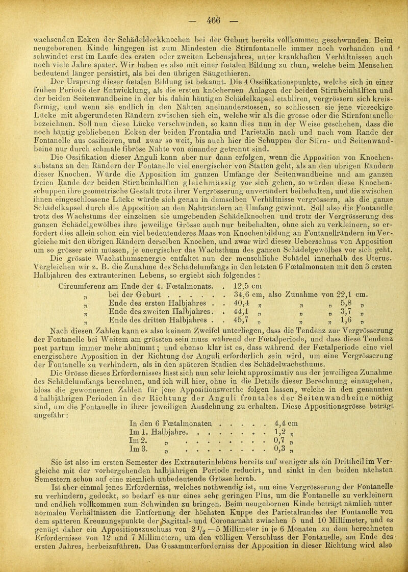 wachsenden Ecken der Schädeldeckknochen bei der Greburt bereits vollkommen gescbwunden. Beim neugeborenen Kinde hingegen ist zum Mindesten die Stirnfontanelle immer noch vorhanden und ♦ schwindet erst im Laufe des ersten oder zweiten Lebensjahres, unter krankhaften Verhältnissen auch noch viele Jahre später. Wir haben es also mit einer fcetalen Bildung zu thun, welche beim Menschen bedeutend länger persistirt, als bei den übrigen Säugethieren. Der Ursprung dieser fcetalen Bildung ist bekannt. Die 4 Ossifikationspunkte, welche sich in einer frühen Periode der Entwicklung, als die ersten knöchernen Anlagen der beiden Stirnbeinhälften und der beiden Seitenwandbeine in der bis dahin häutigen Schädelkapsel etabliren, vergrössern sich kreis- förmig, und wenn sie endlich in den Nähten aneinanderstossen, so schliessen sie jene viereckige Lücke mit abgerundeten Rändern zwischen sich ein, welche wir als die grosse oder die Stirnfontanelle bezeichnen. Soll nun diese Lücke verschwinden, so kann dies nun in der Weise geschehen, dass die noch häutig gebliebenen Ecken der beiden Frontalia und Parietalia nach und nach vom Rande der Fontanelle aus ossificiren, und zwar so weit, bis auch hier die Schuppen der Stirn- und Seitenwand- beine nur durch schmale fibröse Nähte von einander getrennt sind. Die Ossifikation dieser Anguli kann aber nur dann erfolgen, wenn die Apposition von Knochen- substanz an den Rändern der Fontanelle viel energischer von Statten geht, als an den übrigen Rändern dieser Knochen. Würde die Apposition im ganzen Umfange der Seitenwandbeine und am ganzen freien Rande der beiden Stirnbeinhälften gleichmässig vor sich gehen, so würden diese Knochen- schuppen ihre geometrische Gestalt trotz ihrer Vergrösserung unverändert beibehalten, und die zwischen ihnen eingeschlossene Lücke würde sich genau in demselben Verhältnisse vergrössern, als die ganze Schädelkapsel durch die Apposition an den Nahträndern an Umfang gewinnt. Soll also die Fontanelle trotz des Wachstums der einzelnen sie umgebenden Schädelknochen und trotz der Vergrösserung des ganzen Schädelgewölbes ihre jeweilige Grrösse auch nur beibehalten, ohne sich zu verkleinern, so er- fordert dies allein schon ein viel bedeutenderes Maas von Knochenbildung an Fontanellrändern im Ver- gleiche mit den übrigen Rändern derselben Knochen, und zwar wird dieser Ueberschuss von Apposition um so grösser sein müssen, je energischer das Wachsthum des ganzen Schädelgewölbes vor sich geht. Die grösste Wachsthumsenergie entfaltet nun der menschliche Schädel innerhalb des Uterus. Vergleichen wir z. B. die Zunahme des Schädelumfangs in den letzten 6 Foetalmonaten mit den 3 ersten Halbjahren des extrauterinen Lebens, so ergiebt sich folgendes : Circumferenz am Ende der 4. Foetalmonats. . 12,5 cm „ bei der Geburt 34,6 cm, also Zunahme von 22,1 cm. „ Ende des ersten Halbjahres . . 40,4 „ „ „ 5,8 „ „ Ende des zweiten Halbjahres. . 44,1 „ „ „ 3,7 „ „ Ende des dritten Halbjahres . . 45,7 „ „ „ 1,6 „ Nach diesen Zahlen kann es also keinem Zweifel unterliegen, dass die Tendenz zur Vergrösserung der Fontanelle bei Weitem am grössten sein muss während der Foetalperiode, und dass diese Tendenz post partum immer mehr abnimmt; und ebenso klar ist es, dass während der Foetalperiode eine viel energischere Apposition in der Richtung der Anguli erforderlich sein wird, um eine Vergrösserung der Fontanelle zu verhindern, als in den späteren Stadien des Schädelwachsthums. Die Grösse dieses Erfordernisses lässt sich nun sehr leicht approximativ aus der jeweiligen Zunahme des Schädelumfangs berechnen, und ich will hier, ohne in die Details dieser Berechnung einzugehen, bloss die gewonnenen Zahlen für jene Appositionswerthe folgen lassen, welche in den genannten 4 halbjährigen Perioden in der Richtung der Anguli frontales der Seitenwandbeine nöthig sind, um die Fontanelle in ihrer jeweiligen Ausdehnung zu erhalten. Diese Appositionsgrösse beträgt ungefähr: In den 6 Foetalmonaten 4,4 cm Im 1. Halbjahre . 1,2 „ Ini2. „ 0,7 „ Im 3. „ 0,3 „ Sie ist also im ersten Semester des Extrauterinlebens bereits auf weniger als ein Drittheil im Ver- gleiche mit der vorhergehenden halbjährigen Periode reducirt, und sinkt in den beiden nächsten Semestern schon auf eine ziemlich unbedeutende Grösse herab. Ist aber einmal jenes Erforderniss, welches nothwendig ist, um eine Vergrösserung der Fontanelle zu verhindern, gedeckt, so bedarf es nur eines sehr geringen Plus, um die Fontanelle zu verkleinern und endlich vollkommen zum Schwinden zu bringen. Beim neugebornen Kinde beträgt nämlich unter normalen Verhältnissen die Entfernung der höchsten Kuppe des Parietalrandes der Fontanelle von dem späteren Kreuzungspunkte der .^agittal- und Coronarnaht zwischen 5 und 10 Millimeter, und es genügt daher ein Appositionszuschuss von 2 ^j^ —5 Millimeter in je 6 Monaten zu dem berechneten Erfordernisse von 12 und 7 Millimetern, um den völligen Verschluss der Fontanelle, am Ende des ersten Jahres, herbeizuführen. Das Gesammterforderniss der Apposition in dieser Richtung wird also