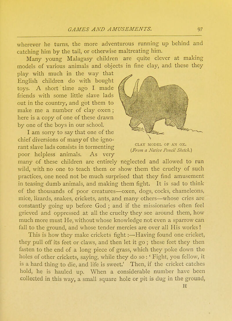 CLAY MODEL OF AN OX. (From a Native Pencil Sketch.) wherever he turns, the more adventurous running up behind and catching him by the tail, or otherwise maltreating him. Many young Malagasy children are quite clever at making models of various animals and objects in fine clay, and these they play with much in the way that English children do with bought toys. A short time ago I made friends with some little slave lads out in the country, and got them to make me a number of clay oxen ; here is a copy of one of these drawn by one of the boys in our school. I am sorry to say that one of the chief diversions of many of the igno- rant slave lads consists in tormenting poor helpless animals. As very many of these children are entirely neglected and allowed to run wild, with no one to teach them or show them the cruelty of such practices, one need not be much surprised that they find amusement in teasing dumb animals, and making them fight. It is sad to think of the thousands of poor creatures—oxen, dogs, cocks, chameleons, mice, lizards, snakes, crickets, ants, and many others—whose cries are constantly going up before God ; and if the missionaries often feel grieved and oppressed at all the cruelty they see around them, how much more must He, without whose knowledge not even a sparrow can fall to the ground, and whose tender mercies are over all His works ! This is how they make crickets fight:—Having found one cricket, they pull off its feet or claws, and then let it go ; these feet they then fasten to the end of a long piece of grass, which they poke down the holes of other crickets, saying, while they do so:' Fight, you fellow, it is a hard thing to die, and life is sweet.' Then, if the cricket catches hold, he is hauled up. When a considerable number have been collected in this way, a small square hole or pit is dug in the ground, H