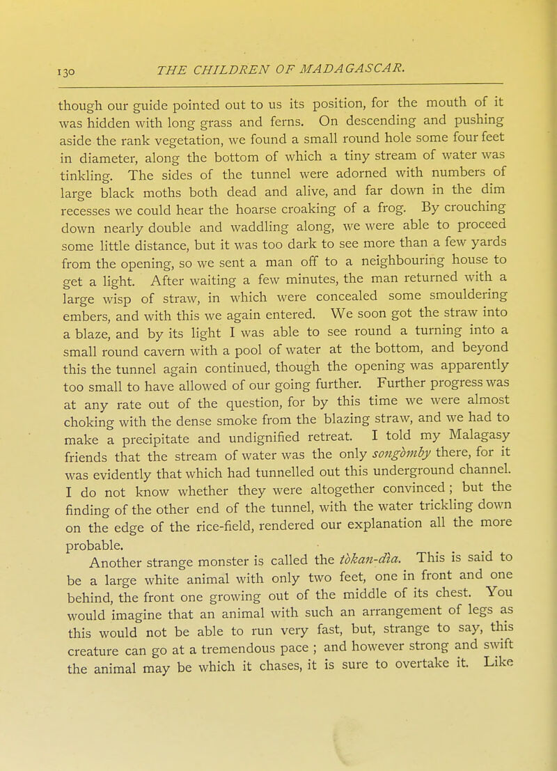 though our guide pointed out to us its position, for the mouth of it was hidden with long grass and ferns. On descending and pushing aside the rank vegetation, we found a small round hole some four feet in diameter, along the bottom of which a tiny stream of water was tinkling. The sides of the tunnel were adorned with numbers of large black moths both dead and alive, and far down in the dim recesses we could hear the hoarse croaking of a frog. By crouching down nearly double and waddling along, we were able to proceed some little distance, but it was too dark to see more than a few yards from the opening, so we sent a man off to a neighbouring house to get a light. After waiting a few minutes, the man returned with a large wisp of straw, in which were concealed some smouldering embers, and with this we again entered. We soon got the straw into a blaze, and by its light I was able to see round a turning into a small round cavern with a pool of water at the bottom, and beyond this the tunnel again continued, though the opening was apparently too small to have allowed of our going further. Further progress was at any rate out of the question, for by this time we were almost choking with the dense smoke from the blazing straw, and we had to make a precipitate and undignified retreat. I told my Malagasy friends that the stream of water was the only songbmby there, for it was evidently that which had tunnelled out this underground channel. I do not know whether they were altogether convinced; but the finding of the other end of the tunnel, with the water trickling down on the edge of the rice-field, rendered our explanation all the more probable. Another strange monster is called the tbkan-dia. This is said to be a large white animal with only two feet, one in front and one behind, the front one growing out of the middle of its chest. You would imagine that an animal with such an arrangement of legs as this would not be able to run very fast, but, strange to say, this creature can go at a tremendous pace ; and however strong and swift the animal may be which it chases, it is sure to overtake it. Like