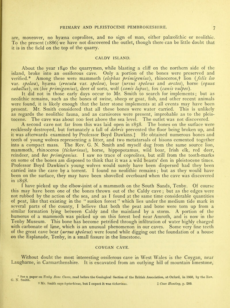 are, moveover, no hyaena coprolites, and no sign of man, either palaeolithic or neolithic. To the present (1886) we have not discovered the outlet, though there can be little doubt that it is in the field on the top of the quarry. CALDY ISLAND. About the year 1840 the quarrymen, while blasting a cliff on the northern side of the island, broke into an ossiferous cave. Only a portion of the bones were preserved and verified.* Among these were mammoth {elephas primigeniiis), rhinoceros,! lion [fehs leo var. spelcea), hyaena [crocuta var. spelcea), bear \ursus spelcBus and arctos), horse {equns caballus), ox{bos primigenius), deer of sorts, wolf {canis lupus), fox {canis vulpes). It did not in those early days occur to Mr. Smith to search for implements; but as neolithic remains, such as the bones of swine, sheep or goat, fish, and other recent animals were found, it is likely enough that the later stone implements at all events may have been present. Mr. Smith considered that all these bones were water carried. This is unlikely as regards the neolithic fauna, and as carnivores were present, improbable as to the pleis- tocene. The cave was about 100 feet above the sea level. The outlet was not discovered. A second cave not far from this was laid open in 1858. The bones on the surface were recklessly destroyed, but fortunately a fall of debris prevented the floor being broken up, and it was afterwards examined by Professor Boyd Dawkins.]: He obtained numerous bones and teeth of young wolves representing a litter, and two metatarsals of bisons cemented together into a compact mass. The Rev. G. N. Smith and myself dug from the same source lion, mammoth, rhinoceros {tichorinus), horse, hippopotamus, wild boar, Irish elk, red deer, reindeer, and bos primigenius. I saw no trace of coprolites, but still from the tooth-marks on some of the bones am disposed to think that it was a wild beasts' den in pleistocene times. Professor Boyd Dawkins's young wolves would surely have been dispersed had they been carried into the cave by a torrent. I found no neolithic remains ; but as they would have been on the surface, they may have been shovelled overboard when the cave was discovered in 1858. I have picked up the elbow-joint of a mammoth on the South Sands, Tenby. Of course this may have been one of the bones thrown out of the Caldy cave ; but as the edges were not rubbed by the action of the sea, and as I found at the same time considerable quantities of peat, like that existing in the  sunken forest  which lies under the medium tide mark in several parts of the county, I believe that both the peat and bone were torn up from a similar formation lying between Caldy and the mainland by a storm. A portion of the humerus of a mammoth was picked up on this forest bed near Amroth, and is now in the Tenby Museum. This bone has become petrified through infiltration of water highly charged with carbonate of lime, which is an unusual phenomenon in our caves. Some very fine teeth of the great cave bear {ursus spelcBus) were found while digging out the foundation of a house on the Esplanade, Tenby, in a small fissure in the Hmestone. COYGAN CAVE. Without doubt the most interesting ossiferous cave in West Wales is the Coygan, near Laugharne, in Carmarthenshire. It is excavated from an outlying hill of mountain limestone, * See a paper on Tenhy Bom Caves, read before the Geolosical Section of the British Association, at Oxford, in 1860, by the Rev. G. N. Smith, t Mr. Smith says leptorhinus, but I expect it was tichorinus. + Cave Hunting, p. 289.