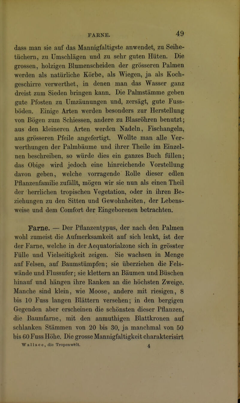 FARNE. dass man sie auf das Mannigfaltigste anwendet, zu Seihe- tüchern, zu Umschlägen und zu sehr guten Hüten. Die grossen, holzigen Blumenscheiden der grösseren Palmen werden als natürliche Körbe, als Wiegen, ja als Koch- geschirre verwerthet, in denen man das Wasser ganz dreist zum Sieden bringen kann. Die Palmstämme geben gute Pfosten zu Umzäunungen und, zersägt, gute Fuss- böden. Einige Arten werden besonders zur Herstellung von Bögen zum Schiessen, andere zu Blasröhren benutzt; aus den kleineren Arten werden Nadeln, Fischangeln, aus grösseren Pfeile angefertigt. Wollte man alle Ver- werthungen der Palmbäume und ihrer Theile im Einzel- nen beschreiben, so würde dies ein ganzes Buch füllen; das Obige wird jedoch eine hinreichende Vorstellung davon geben, welche vorragende Rolle dieser edlen Pflanzenfamilie zufällt, mögen wir sie nun als einen Theil der herrlichen tropischen Vegetation, oder in ihren Be- ziehungen zu den Sitten und Gewohnheiten, der Lebens- weise und dem Comfort der Eingeborenen betrachten. Farne. — Der Pflanzentypus, der nach den Palmen wohl zumeist die Aufmerksamkeit auf sich lenkt, ist der der Farne, welche in der Aequatorialzone sich in grösster Fülle und Vielseitigkeit zeigen. Sie wachsen in Menge auf Felsen, auf Baumstümpfen; sie überziehen die Fels- wände und Flussufer; sie klettern an Bäumen und Büschen hinauf und hängen ihre Ranken an die höchsten Zweige. Manche sind klein, wie Moose, andere mit riesigen, 8 bis 10 Fuss langen Blättern versehen; in den bergigen Gegenden aber erscheinen die schönsten dieser Pflanzen, die Baumfarne, mit den anmuthigen Blattkronen auf schlanken Stämmen von 20 bis 30, ja manchmal von 50 bis 60 Fuss Höhe. Die grosse Mannigfaltigkeit charakterisirt W a 11 a c e , die Tropenwfelt. A