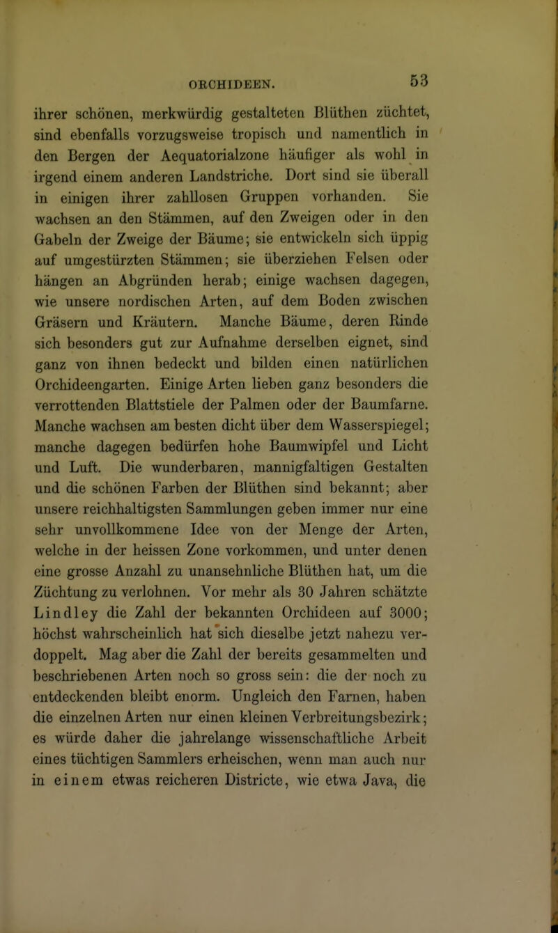 ORCHIDEEN. ihrer schönen, merkwürdig gestalteten Blüthen züchtet, sind ebenfalls vorzugsweise tropisch und namentlich in den Bergen der Aequatorialzone häufiger als wohl in irgend einem anderen Landstriche. Dort sind sie überall in einigen ihrer zahllosen Gruppen vorhanden. Sie wachsen an den Stämmen, auf den Zweigen oder in den Gabeln der Zweige der Bäume; sie entwickeln sich üppig auf umgestürzten Stämmen; sie überziehen Felsen oder hängen an Abgründen herab; einige wachsen dagegen, wie unsere nordischen Arten, auf dem Boden zwischen Gräsern und Kräutern. Manche Bäume, deren Rinde sich besonders gut zur Aufnahme derselben eignet, sind ganz von ihnen bedeckt und bilden einen natürlichen Orchideengarten. Einige Arten lieben ganz besonders die verrottenden Blattstiele der Palmen oder der Baumfarne. Manche wachsen am besten dicht über dem Wasserspiegel; manche dagegen bedürfen hohe Baumwipfel und Licht und Luft. Die wunderbaren, mannigfaltigen Gestalten und die schönen Farben der Blüthen sind bekannt; aber unsere reichhaltigsten Sammlungen geben immer nur eine sehr unvollkommene Idee von der Menge der Arten, welche in der heissen Zone vorkommen, und unter denen eine grosse Anzahl zu unansehnliche Blüthen hat, um die Züchtung zu verlohnen. Vor mehr als 30 Jahren schätzte Lindley die Zahl der bekannten Orchideen auf 3000; höchst wahrscheinlich hat sich dieselbe jetzt nahezu ver- doppelt. Mag aber die Zahl der bereits gesammelten und beschriebenen Arten noch so gross sein: die der noch zu entdeckenden bleibt enorm. Ungleich den Farnen, haben die einzelnen Arten nur einen kleinen Verbreitungsbezirk; es würde daher die jahrelange wissenschaftliche Arbeit eines tüchtigen Sammlers erheischen, wenn man auch nur in einem etwas reicheren Districte, wie etwa Java, die