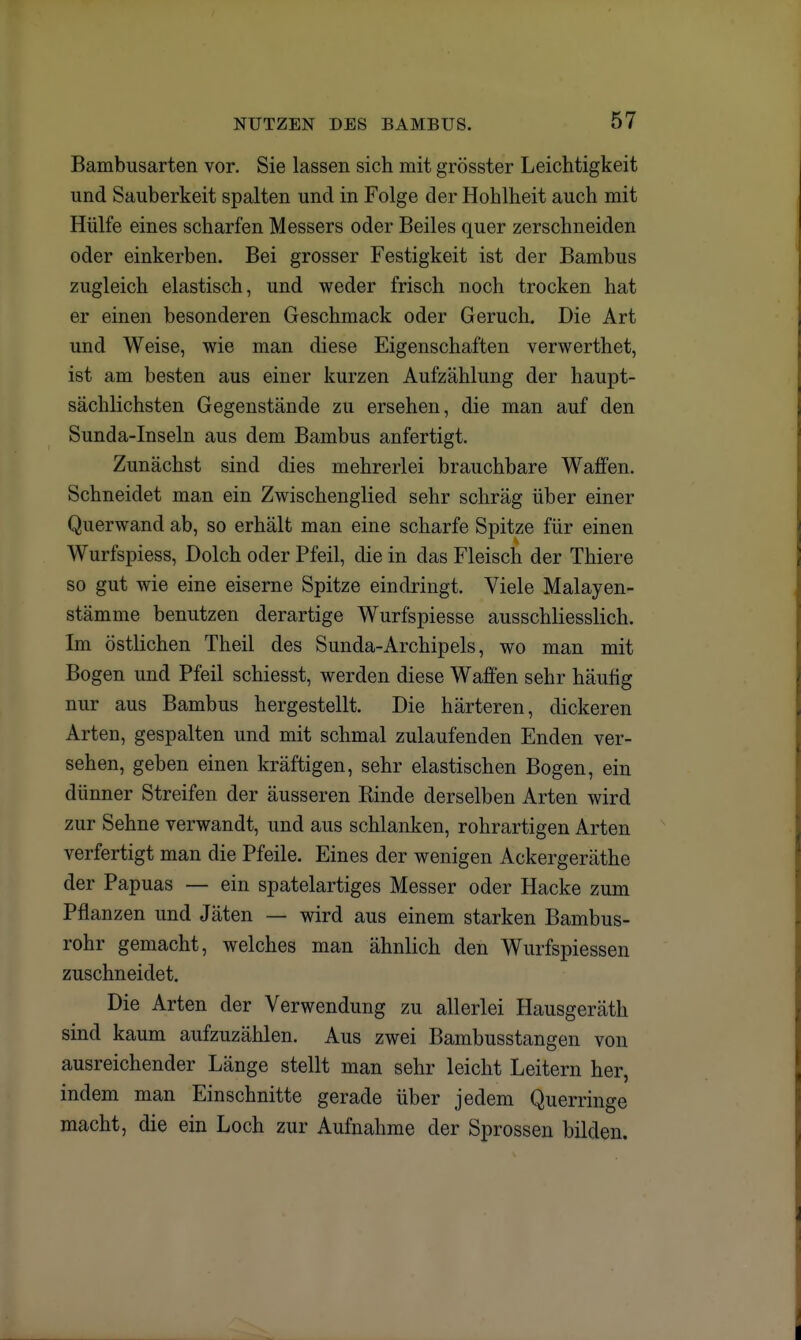 Bambusarten vor. Sie lassen sich mit grösster Leichtigkeit und Sauberkeit spalten und in Folge der Hohlheit auch mit Hülfe eines scharfen Messers oder Beiles quer zerschneiden oder einkerben. Bei grosser Festigkeit ist der Bambus zugleich elastisch, und weder frisch noch trocken hat er einen besonderen Geschmack oder Geruch. Die Art und Weise, wie man diese Eigenschaften verwerthet, ist am besten aus einer kurzen Aufzählung der haupt- sächlichsten Gegenstände zu ersehen, die man auf den Sunda-Inseln aus dem Bambus anfertigt. Zunächst sind dies mehrerlei brauchbare Waffen. Schneidet man ein Zwischenglied sehr schräg über einer Querwand ab, so erhält man eine scharfe Spitze für einen Wurfspiess, Dolch oder Pfeil, die in das Fleisch der Thiere so gut wie eine eiserne Spitze eindringt. Viele Malayen- stämme benutzen derartige Wurfspiesse ausschliesslich. Im östlichen Theil des Sunda-Archipels, wo man mit Bogen und Pfeil schiesst, werden diese Waffen sehr häufig nur aus Bambus hergestellt. Die härteren, dickeren Arten, gespalten und mit schmal zulaufenden Enden ver- sehen, geben einen kräftigen, sehr elastischen Bogen, ein dünner Streifen der äusseren Rinde derselben Arten wird zur Sehne verwandt, und aus schlanken, rohrartigen Arten verfertigt man die Pfeile. Eines der wenigen Ackergeräthe der Papuas — ein spatelartiges Messer oder Hacke zum Pflanzen und Jäten — wird aus einem starken Bambus- rohr gemacht, welches man ähnlich den Wurfspiessen zuschneidet. Die Arten der Verwendung zu allerlei Hausgeräth sind kaum aufzuzählen. Aus zwei Bambusstangen von ausreichender Länge stellt man sehr leicht Leitern her, indem man Einschnitte gerade über jedem Querringe macht, die ein Loch zur Aufnahme der Sprossen bilden.