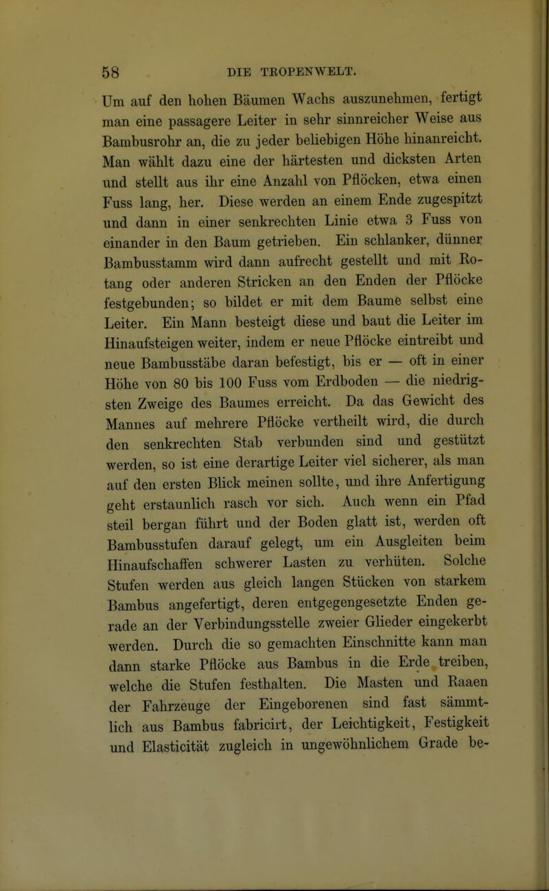 Um auf den hohen Bäumen Wachs auszunehmen, fertigt man eine passagere Leiter in sehr sinnreicher Weise aus Bambusrohr an, die zu jeder beliebigen Höhe hinanreicht. Man wählt dazu eine der härtesten und dicksten Arten und stellt aus ihr eine Anzahl von Pflöcken, etwa einen Fuss lang, her. Diese werden an einem Ende zugespitzt und dann in einer senkrechten Linie etwa 3 Fuss von einander in den Baum getrieben. Ein schlanker, dünner Bambusstamm wird dann aufrecht gestellt und mit Ro- tang oder anderen Stricken an den Enden der Pflocke festgebunden; so bildet er mit dem Baume selbst eine Leiter. Ein Mann besteigt diese und baut die Leiter im Hinaufsteigen weiter, indem er neue Pflöcke eintreibt und neue Bambusstäbe daran befestigt, bis er — oft in einer Höhe von 80 bis 100 Fuss vom Erdboden — die niedrig- sten Zweige des Baumes erreicht. Da das Gewicht des Mannes auf mehrere Pflöcke vertheilt wird, die durch den senkrechten Stab verbunden sind und gestützt werden, so ist eine derartige Leiter viel sicherer, als man auf den ersten Blick meinen sollte, und ihre Anfertigung geht erstaunlich rasch vor sich. Auch wenn ein Pfad steil bergan führt und der Boden glatt ist, werden oft Bambusstufen darauf gelegt, um ein Ausgleiten beim Hinaufschaffen schwerer Lasten zu verhüten. Solche Stufen werden aus gleich langen Stücken von starkem Bambus angefertigt, deren entgegengesetzte Enden ge- rade an der Verbindungsstelle zweier Glieder eingekerbt werden. Durch die so gemachten Einschnitte kann man dann starke Pflöcke aus Bambus in die Erde treiben, welche die Stufen festhalten. Die Masten und Raaen der Fahrzeuge der Eingeborenen sind fast sämmt- lich aus Bambus fabricirt, der Leichtigkeit, Festigkeit und Elasticität zugleich in ungewöhnlichem Grade be-