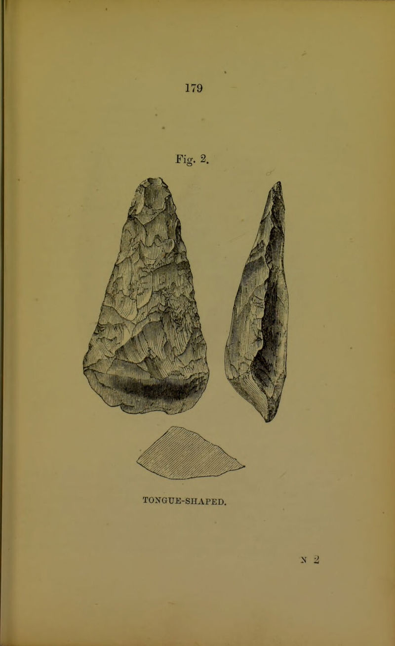 TONGUE-SHAPED.