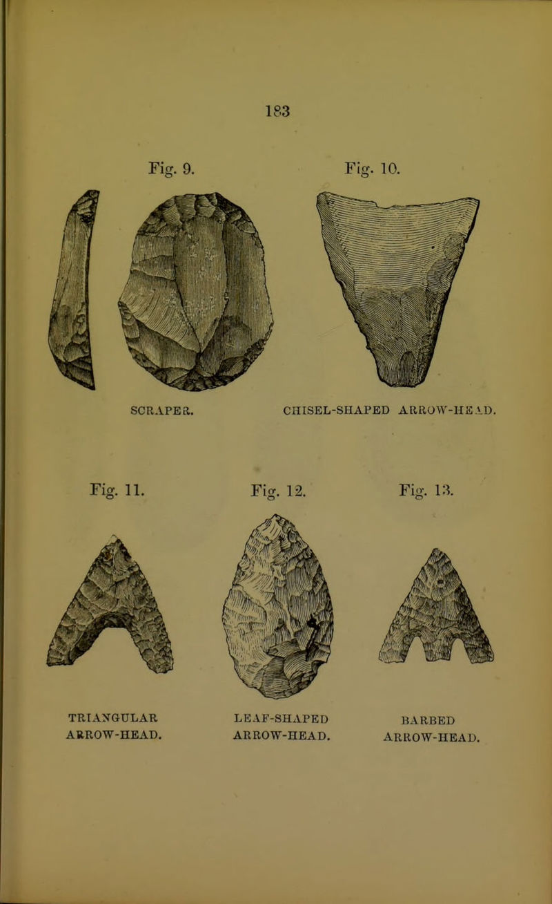 TRIAXGULAR ARROW-HEAD. LEAF-SHAPED ARROW-HEAD. BARBED ARROW-HEAD.