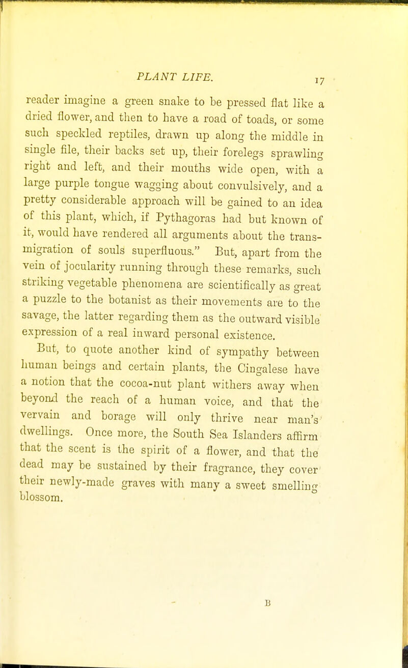 reader imagine a green snake to be pressed flat like a dried flower, and then to have a road of toads, or some such speckled reptiles, drawn up along the middle in single file, their backs set up, their forelegs sprawling right and left, and their mouths wide open, with a large purple tongue wagging about convulsively, and a pretty considerable approach will be gained to an idea of this plant, which, if Pythagoras had but known of it, would have rendered all arguments about the trans- migration of souls superfluous. But, apart from the vein of jocularity running through these remarks, such striking vegetable phenomena are scientifically as great a puzzle to the botanist as their movements are to the savage, the latter regarding them as the outward visible expression of a real inward personal existence. But, to quote another kind of sympathy between human beings and certain plants, the Cingalese have a notion that the cocoa-nut plant withers away when beyomi the reach of a human voice, and that the vervain and borage will only thrive near man's dwellings. Once more, the South Sea Islanders affirm that the scent is the spirit of a flower, and that the dead may be sustained by their fragrance, they cover their newly-made graves with many a sweet smelling blossom. B