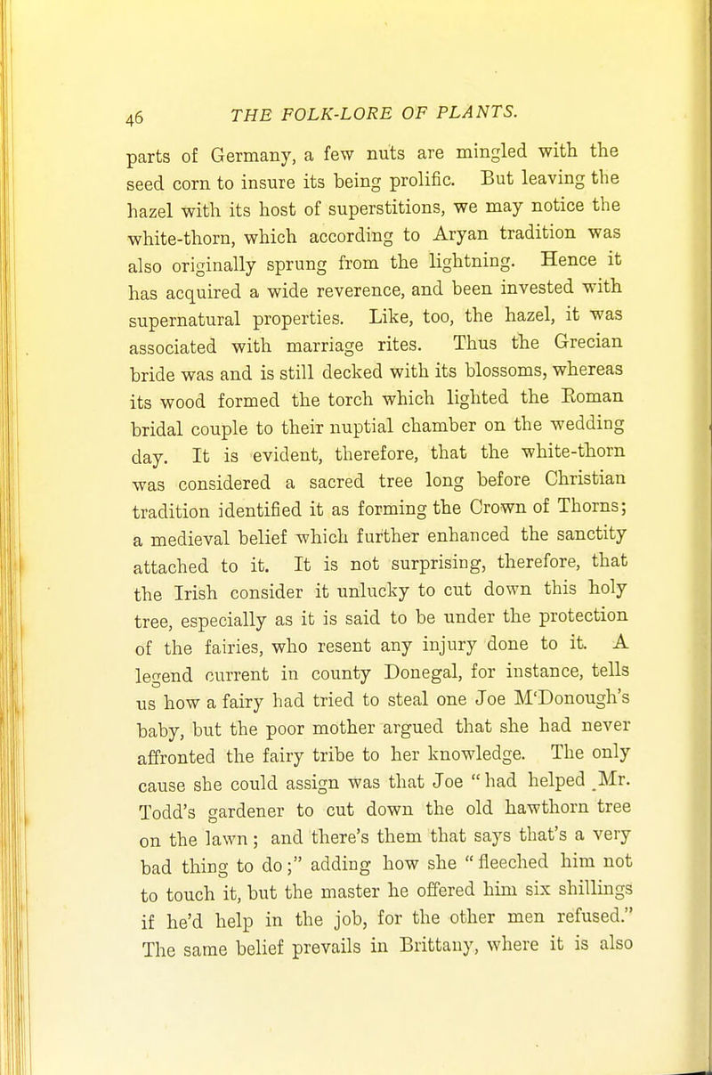 I 46 THE FOLK-LORE OF PLANTS. parts of Germany, a few nuts are mingled with the seed corn to insure its being prolific. But leaving the hazel with its host of superstitions, we may notice the white-thorn, which according to Aryan tradition was also originally sprung from the lightning. Hence it has acquired a wide reverence, and been invested with supernatural properties. Like, too, the hazel, it was associated with marriage rites. Thus the Grecian bride was and is still decked with its blossoms, whereas its wood formed the torch which lighted the Eoman bridal couple to their nuptial chamber on the wedding day. It is evident, therefore, that the white-thorn was considered a sacred tree long before Christian tradition identified it as forming the Crown of Thorns; a medieval belief which further enhanced the sanctity attached to it. It is not surprising, therefore, that the Irish consider it unlucky to cut down this holy tree, especially as it is said to be under the protection of the fairies, who resent any injury done to it. A legend current in county Donegal, for instance, tells us how a fairy had tried to steal one Joe M'Donough's baby, but the poor mother argued that she had never affronted the fairy tribe to her knowledge. The only cause she could assign was that Joe had helped Mr. Todd's gardener to cut down the old hawthorn tree on the lawn; and there's them that says that's a very bad thing to do; adding how she fleeched him not to touch it, but the master he offered him six shillings if he'd help in the job, for the other men refused. The same belief prevails in Brittany, where it is also