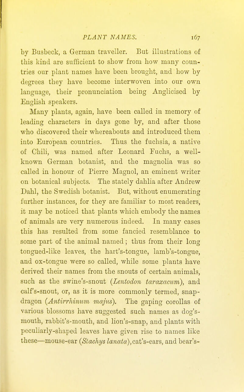 by Busbeck, a German traveller. But illustrations of this kind are sufficient to show from how many coun- tries our plant names have been brought, and how by degrees they have become interwoven into our own language, their pronunciation being Anglicised by English speakers. Many plants, again, have been called in memory of leading characters in days gone by, and after those who discovered their whereabouts and introduced them into European countries. Thus the fuchsia, a native of Chili, was named after Leonard Euchs, a well- known German botanist, and the magnolia was so called in honour of Pierre Magnol, an eminent writer on botanical subjects. The stately dahlia after Andrew Dahl, the Swedish botanist. But, without enumerating further instances, for they are familiar to most readers, it may be noticed that plants which embody the names of animals are very numerous indeed. In many cases this has resulted from some fancied resemblance to some part of the animal named; thus from their long tongued-like leaves, the hart's-tongue, lamb's-tongue, and ox-tongue were so called, while some plants have derived their names from the snouts of certain animals, such as the swine's-snout {Lentodon taraxacum), and calf's-snout, or, as it is more commonly termed, snap- dragon (AntirrJdmom majus). The gaping corollas of various blossoms have suggested such names as dog's- mouth, rabbit's-mouth, and lion's-snap, and plants with peculiarly-shaped leaves have given rise to names like these—mouse-ear {Stacliys Zana^«),cat's-ears, and bear's-